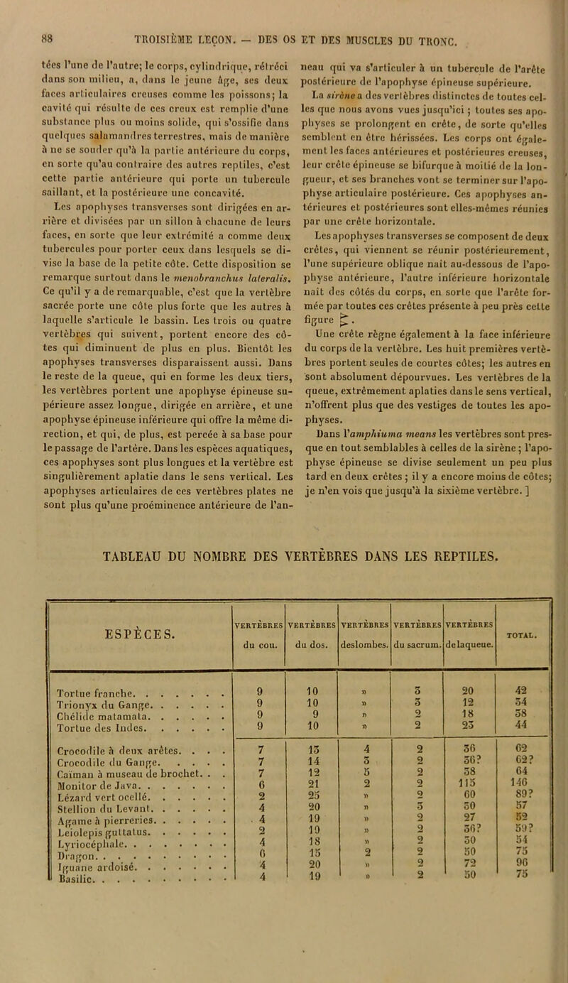 tées l’une de l’autre; le corps, cylindrique, rélréci dans son milieu, a, dans le jeune âge, ses deux faces arliculaires creuses comme les poissons; la cavité qui résulte de ces creux est remplie d’une substance plus ou moins solide, qui s’ossifie dans quelques salamandres terrestres, mais de manière à ne se souder qu’à la partie antérieure du corps, en sorte qu’au contraire des autres reptiles, c’est cette partie antérieure qui porte un tubercule saillant, et la postérieure une concavité. Les apophyses transverses sont dirigées en ar- rière et divisées par un sillon à chacune de leurs faces, en sorte que leur extrémité a comme deux tubercules pour porter ceux dans lesquels se di- vise la base de la petite côte. Cette disposition se remarque surtout dans le menobranchus laieralis. Ce qu’il y a de remarquable, c’est que la vertèbre sacrée porte une côte plus forte que les autres à laquelle s’articule le bassin. Les trois ou quatre vertèbres qui suivent, portent encore des cô- tes qui diminuent de plus en plus. Bientôt les apophyses transverses disparaissent aussi. Dans le reste de la queue, qui en forme les deux tiers, les vertèbres portent une apophyse épineuse su- périeure assez longue, dirigée en arrière, et une apophyse épineuse inférieure qui offre la même di- rection, et qui, de plus, est percée à sa base poul- ie passage de l’artère. Dans les espèces aquatiques, ces apophyses sont plus longues et la vertèbre est singulièrement aplatie dans le sens vertical. Les apophyses articulaires de ces vertèbres plates ne sont plus qu’une proéminence antérieure de l’an- neau qui va s’articuler à un tubercule de l’arête postérieure de l’apophyse épineuse supérieure. La sirène a des vertèbres distinctes de toutes cel- les que nous avons vues jusqu’ici ; toutes ses apo- physes se prolongent en crête, de sorte qu’elles semblent en être hérissées. Les corps ont égale- ment les faces antérieures et postérieures creuses, leur crête épineuse se bifurque à moitié de la lon- gueur, et ses branches vont se terminer sur l’apo- physe articulaire postérieure. Ces apophyses an- térieures et postérieures sont elles-mêmes réunies par une crête horizontale. Les apophyses transverses se composent de deux crêtes, qui viennent se réunir postérieurement, l'une supérieure oblique naît au-dessous de l’apo- physe antérieure, l’autre inférieure horizontale naît des côtés du corps, en sorte que l’arête for- mée par toutes ces crêtes présente à peu près celte figure ^ . Une crête règne également à la face inférieure du corps de la vertèbre. Les huit premières vertè- bres porLent seules de courtes côtes; les autres en sont absolument dépourvues. Les vertèbres de la queue, extrêmement aplaties dans le sens vertical, n’offrent plus que des vestiges de toutes les apo- physes. Dans Vamphiuma means les vertèbres sont pres- que en tout semblables à celles de la sirène ; l’apo- physe épineuse se divise seulement un peu plus tard en deux crêtes ; il y a encore moins de côtes; je n’en vois que jusqu’à la sixième vertèbre. ] TABLEAU DU NOMBRE DES VERTÈBRES DANS LES REPTILES. ESPÈCES. VERTÈBRES du COU. VERTÈBRES du dos. VERTÈBRES deslombes. VERTÈBRES du sacrum. VERTÈBRES delaqueue. TOTAL. Tortue franche 9 10 ■t) 5 20 42 Trionyx du Gange 9 10 » 5 12 54 Chélide matamata 9 9 j> 2 18 58 Tortue des Indes 9 10 r> 2 23 44 Crocodile à deux arêtes Crocodile du Gange Caïman à museau de brochet Monitor de Java. . Lézard vert ocellé. Stellion du Levant. Agame à pierreries Leiolepis gultatus. Lyriocéphale. . . Dragon Iguane ardoisé. . Basilic 7 7 7 6 2 4 4 2 4 0 4 4 15 14 12 21 25 20 19 19 18 15 20 19 a 5 2 2 2 2 2 2 5 2 2 2 2 2 2 56 36? 58 115 CO 50 27 56? 30 50 72 50 62 62? 64 146 89? 57 52 59? 54 75 96 75