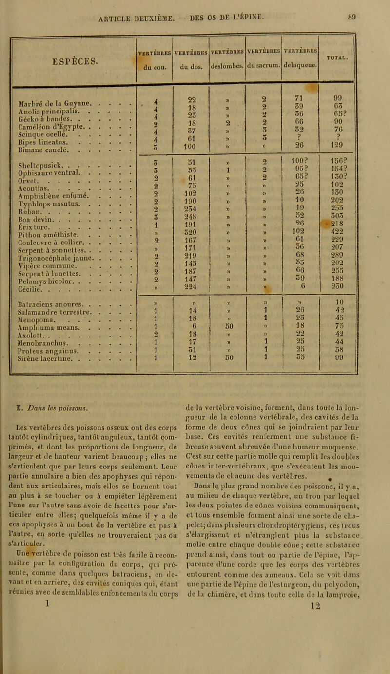 ESTÈCES. VERTÈBRES du COU. VERTÈBRES du dos. VERTÈBRES deslombes. VERTÈBRES du sacrum. VERTÈBRES dclaqueue. TOTAL. 4 22 y> 2 71 99 •r H 4 18 r> 2 39 03 4 23 » 2 50 05? 2 18 2 2 00 90 4 57 » 5 52 70 4 Cl T> 3 ? ? 5 100 » 20 129 o 51 y) 2 100? 150? 5 53 î 2 95? 154? 2 61 » 2 05? 130? 2 75 « » 25 102 2 102 y) » 20 150 2 190 » 10 202 2 234 y) » 19 255 O 248 y> 7) 52 505 1 191 » 7> 20 . 218 7) 520 » » 102 422 2 107 » r> 01 229 » 171 » » 50 207 2 219 » y> 08 289 2 145 » 7) 55 202 2 187 » » 00 255 2 147 » 7) 59 188 « 224 « 7) 0 230 » ï> « )) 10 i 14 » 1 20 42 i 18 n 1 25 45 6 50 » 18 75 2 18 D » 22 42 i 17 » 1 25 44 i 51 » 1 25 58 i 12 50 1 55 99 Marbré île la Guyane Anolis princi palis Gecko à bandes. Caméléon d’Égypte Scinque ocellé. Ripes lineatus. Bimane canelé. Shellopusick. . Ophisaure ventral Orvet. Acontias. . . Amphisbène enfumé Typlilops nasulus Ruban. . . . Boa devin. . . Érixturc. . . Pitbon amélhiste. Couleuvre à collier. Serpent à sonnettes Trigonocéphalc jaune Vipère commune. Serpent à lunettes. Pelamys bicolor. . Cécilie Batraciens anoures. Salamandre terrestre Menopoma. . . Amphiuma means. Axolott Menobranchus. Proteus anguinus. Sirène lacerline. . E. Dans les poissons. Les vertèbres des poissons osseux ont des corps tantôt cylindriques, tantôt anguleux, tantôt com- primés, et dont les proportions de longueur, de largeur et de hauteur varient beaucoup; elles ne s’articulent que par leurs corps seulement. Leur partie annulaire a bien des apophyses qui répon- dent aux articulaires, mais elles se bornent tout au plus à se toucher ou à empiéter légèrement l’une sur l’autre sans avoir de facettes pour s’ar- ticuler entre elles; quelquefois même il y a de ces apophyses à un bout de la vertèbre et pas à l’autre, en sorte qu’elles lie trouveraient pas où s’articuler. Une vertèbre de poisson est très facile à recon- naître par la configuration du corps, qui pré- sente, comme dans quelques batraciens, en de- vant et en arrière, des cavités coniques qui, étant réunies avec de semblables enfoncements du corps 1 de la vertèbre voisine, forment, dans toute la lon- gueur de la colonne vertébrale, des cavités de la forme de deux cônes qui se joindraient par leur base. Ces cavités renferment une substance fi- breuse souvent abreuvée d’une humeur muqueuse. C’est sur cette partie molle qui remplit les doubles cônes inter-vertébraux, que s’exécutent les mou- vements de chacune des vertèbres. , Dans le. plus grand nombre des poissons, il y a, au milieu de chaque vertèbre, un trou par lequel les deux pointes île cônes voisins communiquent, cl tous ensemble forment ainsi une sorte de cha- pelet; dans plusieurs chondroptérygieus, ccs trous s’élargissent et n’étranglent plus la substance molle entre chaque double cône; cette substance prend ainsi, dans tout ou partie de l’épine, l’ap- parence d’une corde que les corps des vertèbres entourent comme des anneaux. Cela se voit dans une partie de l’épine de l’esturgeon, du polyodon, de la chimère, et dans toute celle de la lamproie, 12