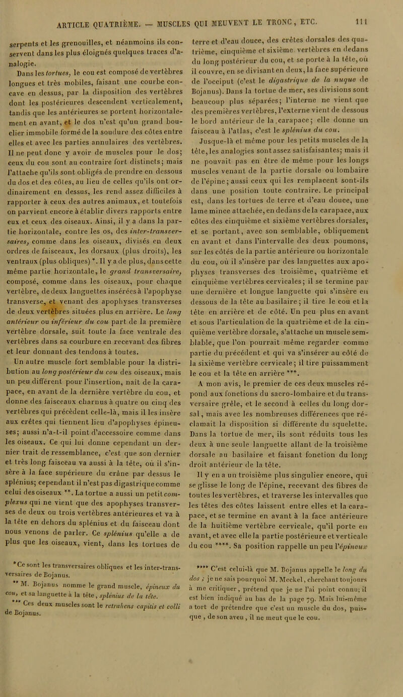 serpents et les grenouilles, et néanmoins ils con- servent clans les plus éloignés quelques traces d’a- nalogie. Dans les tortues, le cou est composé de vertèbres longues et très mobiles, faisant une courbe con- cave en dessus, par la disposition des vertèbres dont les postérieures descendent verticalement, tandis que les antérieures se portent horizontale- ment en avant, et le dos n’est qu’un grand bou- clier immobile formé de la soudure des côtes entre elles et avec les parties annulaires des vertèbres. Il ne peut donc y avoir de muscles pour le dos; ceux du cou sont au contraire tort distincts; mais l’attache qu’ils sont obligés de prendre en dessous du dos et des côtes, au lieu de celles qu’ils ont or- dinairement en dessus, les rend assez difficiles à rapporter à ceux des autres animaux, et toutefois on parvient encore à établir divers rapports entre eux et ceux des oiseaux. Ainsi, il y a dans la par- tie horizontale, contre les os, des inter-transver- saires, comme dans les oiseaux, divisés en lieux ordres de faisceaux, les dorsaux (plus droits), les ventraux (plus obliques) ¥. Il y a de plus, dans cette même partie horizontale, le grand transversaire, composé, comme dans les oiseaux, pour chaque vertèbre, dedeux languettes insérées à l’apophyse transverse, et venant des apophyses transverses de deux vertèbres situées plus en arrière. Le long antérieur ou inférieur du cou part de la première vertèbre dorsale, suit toute la face ventrale des vertèbres dans sa courbure en recevant des fibres et leur donnant des tendons à toutes. Un autre muscle fort semblable pour la distri- bution au long postérieur du cou des oiseaux, mais un peu différent pour l’insertion, naît de la cara- pace, en avant de la dernière vertèbre du cou, et donne des faisceaux charnus à quatre ou cinq des vertèbres qui précèdent celle-là, mais il les insère aux crêtes qui tiennent lieu d’apophyses épineu- ses; aussi n’a-t-il point d’accessoire comme dans les oiseaux. Ce qui lui donne cependant un der- nier trait de ressemblance, c’est que son dernier et très long faisceau va aussi à la tète, où il s’in- sère à la face supérieure du crâne par dessus le splénius; cependant il n’est pas digaslriquecomme celui des oiseaux ,¥. La tortue a aussi un petit coin- plexus qui ne vient que des apophyses transver- ses de deux ou trois vertèbres antérieures et va à la tète en dehors du splénius et du faisceau dont nous venons de parler. Ce splénius qu’elle a de plus que les oiseaux, vient, dans les tortues de 'Ce sont les transversaires obliques et les inter-trans- versaires de Bojanus. * M. Bojanus nomme le grand muscle, épineux du cou, et sa languette à la tête , splénius de la tête. Cis deux muscles sont le retraitais capitis et colli de Bojanus. terre et d’eau douce, des crêtes dorsales des qua- trième, cinquième et sixième vertèbres en dedans du long postérieur du cou, et sc porte à la tête,où il couvre, en se divisant en deux, la face supérieure de l’occiput (c’est le digastrique do la nuque de Bojanus). Dans la tortue de mer, ses divisions sont beaucoup plus séparées; l’interne ne vient que des premières vertèbres, l’externe vient de dessous le bord antérieur de la .carapace ; elle donne un faisceau à l’atlas, c’est le splénius du cou. Jusque-là cl même pour les petits muscles de la tête,les analogies sontassez satisfaisantes; mais il ne pouvait pas en être de même pour les longs muscles venant de la partie dorsale ou lombaire de l’épine; aussi ceux qui les remplacent sont-ils dans une position toute contraire. Le principal est, dans les tortues de terre et d’eau douce, une lame mince attachée, en dedans delà carapace, aux côtes des cinquième et sixième vertèbres dorsales, et se portant, avec son semblable, obliquement en avant et dans l’intervalle des deux poumons, sur les côtés de la partie antérieure ou horizontale du cou, où il s’insère par des languettes aux apo- physes transverses des troisième, quatrième et cinquième vertèbres cervicales ; il se termine par une dernière et longue languette qui s’insère en dessous de la tête au basilaire ; il tire le cou et la tête en arrière et de côté. Un peu plus en avant et sous l’articulation de la quatrième et de la cin- quième vertèbre dorsale, s’attache un muscle sem- blable, que l’on pourrait même regarder comme partie du précédent et qui va s’insérer au côté de la sixième vertèbre cervicale; il tire puissamment le cou et la tête en arrière ¥¥¥. A mon avis, le premier de ces deux muscles ré- pond aux fonctions du sacro-lombaire et du trans- versaire grêle, et le second à celles du long dor- sal, mais avec les nombreuses différences que ré- clamait la disposition si différente du squelette. Dans la tortue de mer, ils sont réduits tous les deux à une seule languette allant de la troisième dorsale au basilaire et faisant fonction du long droit antérieur de la tête. Il y en a un troisième plus singulier encore, qui se glisse le long de l’épine, recevant des fibres de toutes les vertèbres, et traverse les intervalles que les tètes des côtes laissent entre elles et la cara- pace, et se termine en avant à la face antérieure de la huitième vertèbre cervicale, qu’il porte en avant, ctavec elle la partie postérieure et verticale du cou ****. Sa position rappelle un peu Vépinett.v ***“ C’est celui-là que M. Bojanus appelle le long du dos ; je ne sais pourquoi M. Meckel, cherchant toujours a me critiquer, prétend que je uc l’ai point connu; il est bien indiqué au bas de la page qç). Mais lnirméme a tort de prétendre que c’est un muscle du dos, puis- que , de son aveu , il ne meut que le cou.