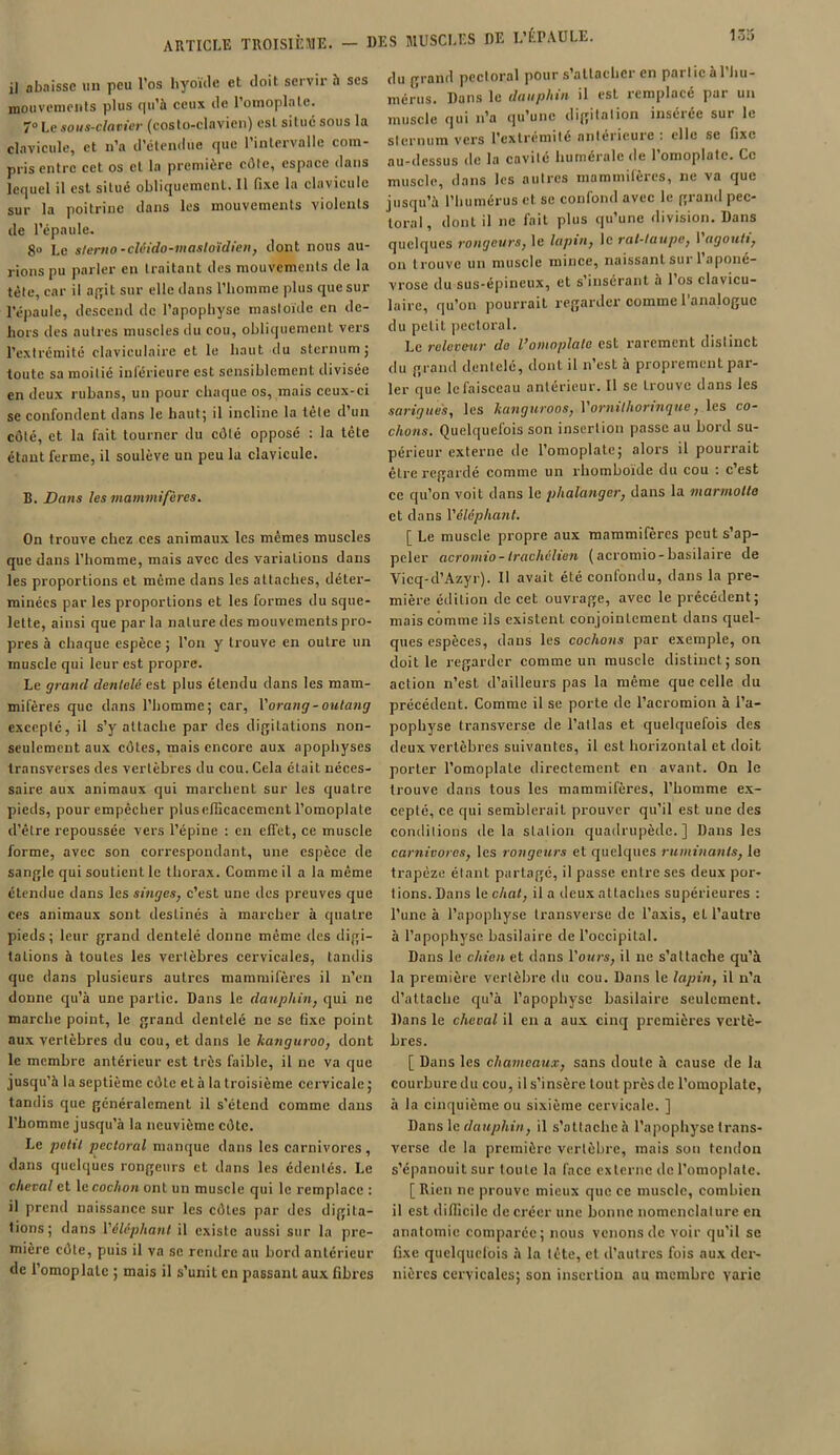 il abaisse un peu l’os hyoïde et doit servir à scs mouvements plus qu’à ceux de l’omoplate. 7° Le sous-clavier (costo-clavien) est situé sous la clavicule, et n’a d’étendue que l’intervalle com- pris entre cet os et la première côte, espace dans lequel il est situé obliquement. Il fixe la clavicule sur la poitrine dans les mouvements violents de l’épaule. 8U Le sterno-cléido-mastoïdien, dont nous au- rions pu parler en traitant des mouvements de la tète, car il agit sur elle dans l’homme plus que sur l’épaule, descend de l’apophyse mastoïdc en de- hors des autres muscles du cou, obliquement vers l’extrémité claviculaire et le haut du sternum ; toute sa moitié inférieure est sensiblement divisée en deux rubans, un pour chaque os, mais ceux-ci se confondent dans le haut; il incline la tète d’un côté, et la fait tourner du côté opposé : la tête étant ferme, il soulève un peu la clavicule. B. Dans les mammifères. On trouve chez ces animaux les mêmes muscles que dans l’homme, mais avec des variations dans les proportions et même dans les attaches, déter- minées par les proportions et les formes du sque- lette, ainsi que par la nature des mouvements pro- pres à chaque espèce ; l’on y trouve en outre un muscle qui leur est propre. Le grand dentelé est plus étendu dans les mam- mifères que dans l’homme; car, l'orang-outang excepté, il s’y attache par des digitations non- seulement aux côtes, mais encore aux apophyses transverses des vertèbres du cou. Cela était néces- saire aux animaux qui marchent sur les quatre pieds, pour empêcher pluscfficacemcnt l’omoplate d’être repoussée vers l’épine : en effet, ce muscle forme, avec son correspondant, une espèce de sangle qui soutient le thorax. Comme il a la même étendue dans les singes, c’est une des preuves que ces animaux sont destinés à marcher à quatre pieds ; leur grand dentelé donne même des digi- tations à toutes les vertèbres cervicales, tandis que dans plusieurs autres mammifères il n’en donne qu’à une partie. Dans le dauphin, qui ne marche point, le grand dentelé ne se fixe point aux vertèbres du cou, et dans le kanguroo, dont le membre antérieur est très faible, il ne va que jusqu’à la septième côte et à la troisième cervicale ; tandis que généralement il s’étend comme dans l’homme jusqu’à la neuvième côte. Le petit pectoral manque dans les carnivores, dans quelques rongeurs et dans les édentés. Le cheval et le cochon ont un muscle qui le remplace : il prend naissance sur les côtes par des digita- tions; dans l'éléphant il existe aussi sur la pre- mière côte, puis il va se rendre au bord antérieur de l’omoplate ; mais il s’unit en passant aux fibres du grand pectoral pour s attacher en part ic a 1 hu- mérus. Dans le dauphin il est remplacé par un muscle qui n’a qu’une digitation insérée sur le sternum vers l’extrémité «antérieure ; elle se fixe au-dessus de la cavité humérale de 1 omoplate. Ce muscle, dans les autres mammifères, ne va que jusqu’à l’humérus et se confond avec le grand pec- toral, dont il ne fait plus qu’une division. Dans quelques rongeurs, le lapin, le rat-taupe, 1 agouti, on trouve un muscle mince, naissant sur 1 aponé- vrose du sus-épineux, et s’insérant à l’os clavicu- laire, qu’on pourrait regarder comme l'analogue du petit pectoral. Le releveur do l’omoplate est rarement distinct du grand dentelé, dont il n’esL à proprement par- ler que le faisceau anterieur. Il se trouve dans les sarigues, les kanguroos, 1 ornilhoringue, les co- chons. Quelquefois son insertion passe au bord su- périeur externe de l’omoplate; alors il pourrait être regardé comme un rhomboïde du cou : c’est ce qu’on voit dans le phalanger, dans la marmotte et dans l'éléphant. [ Le muscle propre aux mammifères peut s’ap- peler acromio - tracliélien (acromio-basilaire de Vicq-d’Azyr). 11 avait été confondu, dans la pre- mière édition de cet ouvrage, avec le précédent; mais comme ils existent conjointement dans quel- ques espèces, dans les cochons par exemple, on doit le regarder comme un muscle distinct; son action n’est d’ailleurs pas la même que celle du précédent. Comme il se porte de l’acromion à l’a- pophyse transverse de l’allas et quelquefois des deux vertèbres suivantes, il est horizontal et doit porter l’omoplate directement en avant. On le trouve dans tous les mammifères, l’homme ex- cepté, ce qui semblerait prouver qu’il est une des conditions de la station quadrupède.] Dans les carnivores, les rongeurs et quelques ruminants, le trapèze étant partagé, il passe entre ses deux por- tions. Dans le chat, il a deux attaches supérieures : l’une à l’apophyse transverse de l’axis, et l’autre à l’apophyse basilaire de l’occipital. Dans le chien et dans l’ours, il ne s’attache qu’à la première vertèbre du cou. Dans le lapin, il n’a d’attache qu’à l’apophyse basilaire seulement. Dans le cheval il en a aux cinq premières vertè- bres. [ Dans les chameaux, sans doute à cause de la courbure du cou, il s’insère tout près de l’omoplate, à la cinquième ou sixième cervicale. ] Dans le dauphin, il s’attache à l’apophyse trans- verse de la première vertèbre, mais son tendon s’épanouit sur toute la face externe de l’omoplate. [ Rien ne prouve mieux que ce muscle, combien il est difficile de créer une bonne nomenclature en anatomie comparée; nous venons de voir qu’il se fixe quelquefois à la tête, et d’autres fois aux der- nières cervicales; son insertion au membre varie