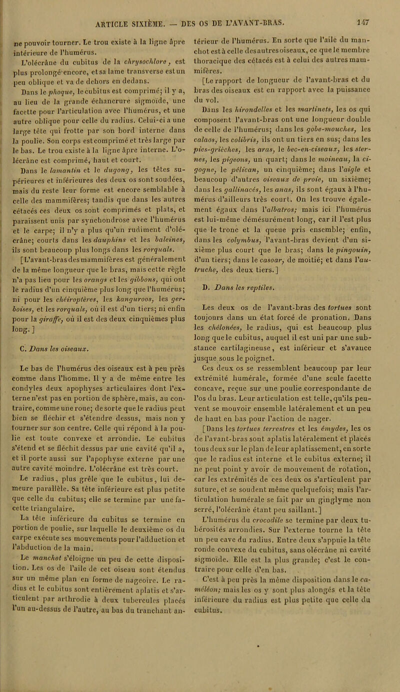 ne pouvoir tourner. Le trou existe à la ligne âpre intérieure de l’humérus. L’olécrâue du cubitus de la chrysochlore, est plus prolongéencorc, et sa lame transverse est un peu oblique et va de dehors en dedans. Dans le phoque, lecubitus est comprimé; il y a, au lieu de la grande échancrure sigmoïde, une facette pour l’articulation avec l’humérus, et une autre oblique pour celle du radius. Celui-ci a une large tête qui frotte par son bord interne dans la poulie. Sou corps est comprimé et très large par le bas. Le trou existe à la ligne âpre interne. L’o- lécrâne est comprimé, haut et court. Dans le lamantin ct le dugong, les tetes su- périeures et inférieures des deux os sont soudées, mais du reste leur forme est encore semblable à celle des mammifères; tandis que dans les autres cétacés ces deux os sont comprimés et plats, et paraissent unis par synchondrose avec l’humérus et le carpe; il n’y a plus qu’un rudiment d’olé- crâne; courts dans les dauphins et les haleines, ils sont beaucoup plus longs dans les rorquals. [L’avant-brasdesmammifères est généralement de la même longueur que le bras, mais cette règle n’a pas lieu pour les orangs et les gibbons, qui ont le radius d’un cinquième plus long que l’humérus; ni pour les chéiroptères, les kanguroos, les ger- boises, et les rorquals, où il est d’un tiers; ni enfin pour la giraffe, où il est des deux cinquièmes plus long. ] C. Dans les oiseaux. Le bas de l’humérus des oiseaux est à peu près comme dans l’homme. Il y a de même entre les condyles deux apophyses articulaires dont l’ex- terne n’est pas en portion de sphère, mais, au con- traire, comme une roue; de sorte que le radius peut bien se fléchir et s’étendre dessus, mais non y tourner sur son centre. Celle qui répond à la pou- lie est toute convexe et arrondie. Le cubitus s’étend et se fléchit dessus par une cavité qu’il a, et il porte aussi sur l’apophyse externe par une autre cavité moindre. L’olécrâne est très court. Le radius, plus grêle que le cubitus, lui de- meure parallèle. Sa tête inférieure est plus petite que celle du cubitus; elle se termine par une fa- cette triangulaire. La tête inférieure du cubitus se termine en portion de poulie, sur laquelle le deuxième os du carpe exécute ses mouvements pour l’adduction et l’abduction de la main. Le manchot s’éloigne un peu de cette disposi- tion. Les os de l’aile de cet oiseau sont étendus sur un meme plan en forme de nageoire. Le ra- dius et le cubitus sont entièrement aplatis et s’ar- ticulent par arlhrodie à deux tubercules placés 1 un au-dessus de l’autre, au bas du tranchant an- térieur de l’humérus. En sorte que l’aile du man- chot està celle desautresoiseaux, ce que le membre thoracique des cétacés est à celui des autres mam- mifères. [Le rapport de longueur de l’avant-bras et du bras des oiseaux est en rapport avec la puissance du vol. Dans les hirondelles et les martinets, les os qui composent l’avant-bras ont une longueur double de celle de l’humérus; dans les gobe-mouches, les calaos, les colibris, ils ont un tiers en sus; dans les pies-grièches, les aras, le bec-en-ciseaux, les ster- nes, les pigeons, un quart; dans le moineau, la ci- gogne, le pélican, un cinquième; dans l'aigle et beaucoup d’autres oiseaux de proie, un sixième; dans les gallinacés, les anas, ils sont égaux à l’hu- mérus d’ailleurs très court. On les trouve égale- ment égaux dans l'albatros; mais ici l’humérus est lui-même démésurément long, car il l’est plus que le tronc et la queue pris ensemble; enfin, dans les colymbus, l’avant-bras devient d’un si- xième plus court que le bras; dans le pingouin, d’un tiers; dans le casoar, de moitié; et clans l’aw- truche, des deux tiers.] D. Dans les reptiles. Les deux os de l’avant-bras des tortues sont toujours dans un état forcé de pronation. Dans les chélonées, le radius, qui est beaucoup plus long que le cubitus, auquel il est uni par une sub- stance cartilagineuse, est inférieur et s’avance jusque sous le poignet. Ces deux os se ressemblent beaucoup par leur extrémité humérale, formée d’une seule facette concave, reçue sur une poulie correspondante de l’os du bras. Leur articulation est telle, qu’ils peu- vent se mouvoir ensemble latéralement et un peu de haut en bas pour l’action de nager. [Dans les tortues terrestres et les émydos, les os de l’avant-bras sont aplatis latéralement et placés tous deux sur le plan de leur aplatissement, en sorte que le radius est interne et le cubitus externe; il ne peut point y avoir de mouvement de rotation, car les extrémités de ces deux os s’articulent par suture, et se soudent même quelquefois; mais l’ar- ticulation lnimcrale se fait par un ginglyme non serré, l’olécrâne étant peu saillant.] L’humérus du crocodile se termine par deux tu- bérosités arrondies. Sur l’externe tourne la tête un peu cave du radius. Entre deux s’appuie la tète ronde convexe du cubitus, sans olécrane ni cavité sigmoïde. Elle est la plus grande; c’est le con- traire pour celle d’en bas. C’est à peu près la même disposition dans le ca- méléon; mais les os y sont plus alongés et la tête inférieure du radius est plus petite que celle du cubitus.