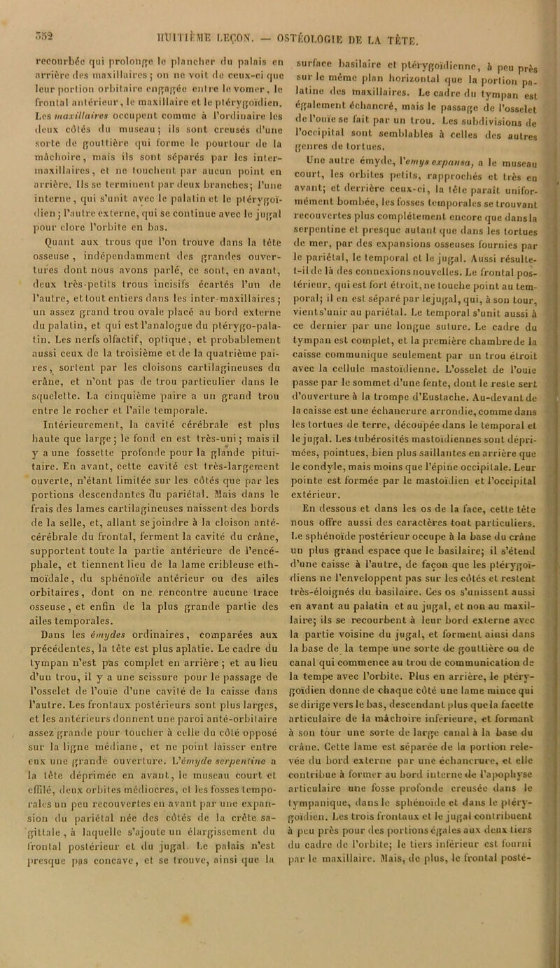 recourbée qui prolonge le plancher du palais en arrière des maxillaires ; on ne voit do ceux-ci que leur portion orbitaire engagée entre lovomer, le frontal antérieur, le maxillaire et le ptérygoïdien. Les maxillaires occupent comme à l’ordinaire les deux côtés du museau; ils sont creusés d’une sorte de gouttière qui forme le pourtour de la mâchoire, mais ils sont séparés par les inter- maxillaires, et ne touchent par aucun point en arrière, lisse terminent, par deux branches; l’une interne, qui s’unit avec le palatin et le plérygoï- dien ; l’autre externe, qui se continue avec le jugal pour clore l’orbite en bas. Quant aux trous que l’on trouve dans la tête osseuse , indépendamment des grandes ouver- tures dont nous avons parlé, ce sont, en avant, deux très-petits trous incisifs écartés l’un de l’autre, et tout entiers dans les inter-maxillaires; un assez grand trou ovale placé au bord externe du palatin, et qui est l’analogue du ptérygo-pala- tin. Les nerfs olfactif, optique, et probablement aussi ceux de la troisième et de la quatrième pai- res, sortent par les cloisons cartilagineuses du crâne, et n’ont pas de trou particulier dans le squelette. La cinquième paire a un grand trou entre le rocher et l’aile temporale. Intérieurement, la cavité cérébrale est plus haute que large; le fond en est très-uni; mais il y a une fossette profonde pour la glande pitui- taire. En avant, cette cavité est très-largement ouverte, n’étant limitée sur les côtés que par les portions descendantes du pariétal. Mais dans le frais des lames cartilagineuses naissent des bords de la selle, et, allant se joindre à la cloison anlé- cérébrale du frontal, ferment la cavité du crâne, supportent toute la partie antérieure de l’encé- phale, et tiennent lieu de la lame cribleuse eth- moïdale, du sphénoïde antérieur ou des ailes orbitaires, dont on ne rencontre aucune trace osseuse, et enfin de la plus grande partie des ailes temporales. Dans les é/nydes ordinaires, comparées aux précédentes, la tête est plus aplatie. Le cadre du tympan n’est pas complet en arrière ; et au lieu d’un trou, il y a une scissure pour le passage de l’osselet de l’ouïe d’une cavité de la caisse dans l’autre. Les frontaux postérieurs sont plus larges, et les antérieurs donnent une paroi anté-orbilaire assez grande pour loucher à celle du côté opposé sur la ligne médiane, et ne point laisser entre eux une grande ouverture. V&myde serpentine a la tête déprimée en avant, le museau court et effilé, deux orbites médiocres, cl les fosses tempo- rales un peu recouvertes en avant par une expan- sion du pariétal née des côtés de lu crête sa- gittale , à laquelle s’ajoute un élargissement du frontal postérieur el du jugal. Le palais n’est presque pas concave, et se trouve, ainsi que la surface basilaire et plérygoïdienne, à peu près sur le même plan horizontal que la portion pa- latine des maxillaires. Le cadre du tympan est également échancré, mais le passage de l’osselet de l’ouïe se fait par un trou. Les subdivisions de l’occipital sont semblables à celles des autres genres de tortues. Une autre émyde, Vemtjs expansa, a le museau court, les orbiles petits, rapprochés et très en avant; et derrière ceux-ci, la tête paraît unifor- mément bombée, les fosses temporales se trouvant recouvertes plus complètement encore que dans la serpentine et presque autant que dans les torlucs de mer, par des expansions osseuses fournies par le pariétal, le temporal et le jugal. Aussi résulte- t-il de là des connexions nouvelles. Le frontal pos- térieur, qui est fort étroit, ne touche point au tem- poral; il en est séparé par lejugal, qui, à son tour, vients’unir au pariétal. Le temporal s’unit aussi à ce dernier par une longue suture. Le cadre du tympan est complet, el la première chambrede la caisse communique seulement par un trou étroit avec la cellule mastoïdienne. L’osselet de l’ouïe passe par le sommet d’une fente, dont le reste sert d’ouverture à la trompe d’Eustache. Au-devant de la caisse est une échancrure arrondie, comme dans les tortues de terre, découpée dans le temporal et lejugal. Les tubérosités mastoïdiennes sont dépri- mées, pointues, bien plus saillantes en arrière que le condylc, mais moins que l’épine occipitale. Leur pointe est formée par le mastoïdien et l’occipital extérieur. En dessous et dans les os de la face, cette tête nous offre aussi des caractères tout particuliers. Le sphénoïde postérieur occupe à la base du crâne un plus grand espace que le basilaire; il s’étend d’une caisse à l’autre, de façon que les ptérygoi- diens ne l’enveloppent pas sur les côtés et restent très-éloignés du basilaire. Ces os s’unissent aussi en avant au palatin et au jugal, et non au maxil- laire; ils se recourbent à leur bord externe avec la partie voisine du jugal, et forment ainsi dans la base de la tempe une sorte de gouttière ou de canal qui commence au trou de communication de la tempe avec l’orbite. Plus en arrière, le ptéry- goïdicn donne de chaque côté une lame mince qui se dirige vers le bas, descendant plus quela facette articulaire de la mâchoire inférieure, el formant à son tour une sorte de large canal à la base du crâne. Celte lame est séparée de la portion rele- vée du bord externe par une échancrure, cl elle contribue à former au bord interne de l'apophyse articulaire une fosse profonde creusée dans le tympanique, dans le sphénoïde et dans le ptéry- goïdien. Les trois frontaux et le jugal contribuent à peu près pour des portions égales aux deux tiers du cadre de l’orbite; le tiers inférieur est fourni par le maxillaire. Mais, de plus, le frontal posté-