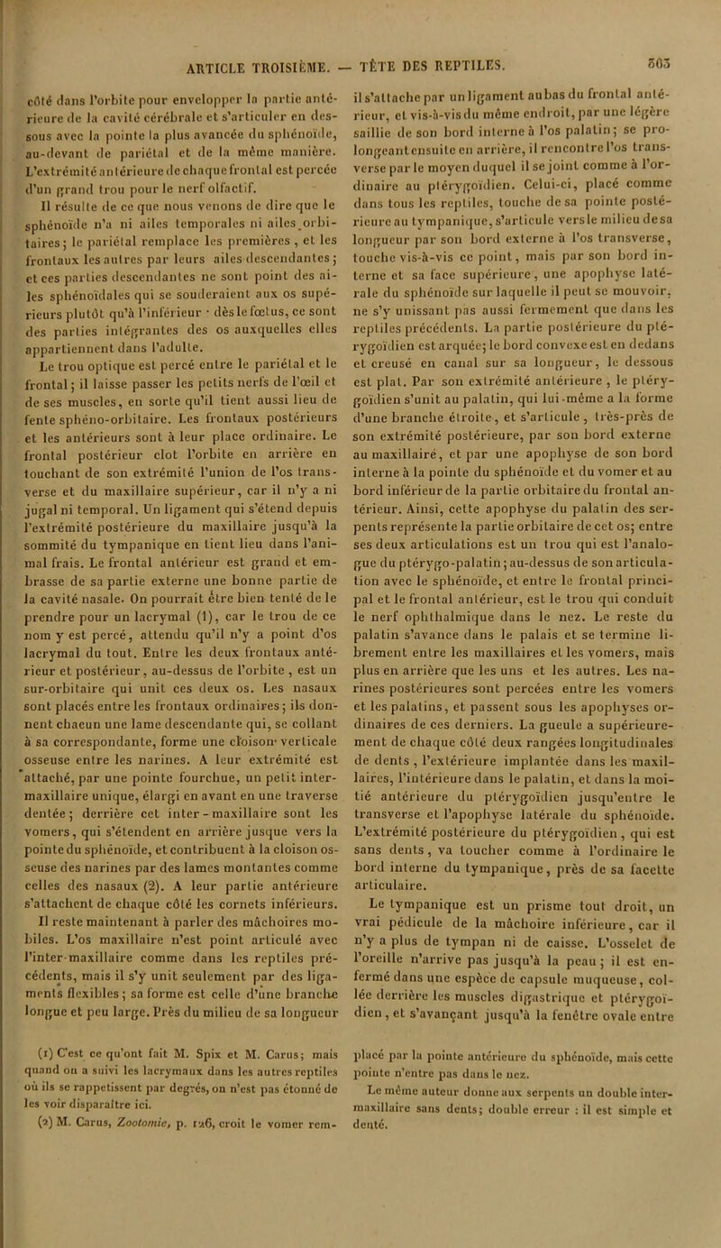 côté dans l’orbite pour envelopper la partie anté- rieure de la cavité cérébrale et s’articuler en des- sous avec la pointe la plus avancée du sphénoïde, au-devant de pariétal et de la même manière. L’extrémité antérieure de chaque frontal est percée d’un grand trou pour le nerf olfactif. Il résulte de ce que nous venons de dire que le sphénoïde n’a ni ailes temporales ni ailes orbi- taires; le pariétal remplace les premières , et les frontaux les autres par leurs ailes descendantes ; et ces parties descendantes ne sonL point des ai- les sphénoïdales qui se souderaient aux os supé- rieurs plutôt qu’à l’inférieur • dèsle fœtus, ce sont des parties intégrantes des os auxquelles elles appartiennent dans l’adulte. Le trou optique est percé entre le pariétal et le frontal; il laisse passer les petits nerfs de l’œil et de ses muscles, en sorte qu’il Lient aussi lieu de fente sphéno-orbitaire. Les frontaux postérieurs et les antérieurs sont à leur place ordinaire. Le frontal postérieur clôt l’orbite en arrière en touchant de son extrémité l’union de l’os trans- verse et du maxillaire supérieur, car il n’y a ni jugal ni temporal. Un ligament qui s’étend depuis l’extrémité postérieure du maxillaire jusqu’à la sommité du tympanique en lient lieu dans l’ani- mal frais. Le frontal antérieur est grand et em- brasse de sa partie externe une bonne partie de la cavité nasale. On pourrait être bien tenté de le prendre pour un lacrymal (1), car le trou de ce nom y est percé, attendu qu’il n’y a point d’os lacrymal du tout. Entre les deux frontaux anté- rieur et postérieur, au-dessus de l’orbite , est un sur-orbitaire qui unit ces deux os. Les nasaux sont placés entre les frontaux ordinaires ; ils don- nent chacun une lame descendante qui, se collant à sa correspondante, forme une cloison-verticale osseuse entre les narines. A leur extrémité est attaché, par une pointe fourchue, un petit inter- maxillaire unique, élargi en avant en une traverse dentée; derrière cet inter - maxillaire sont les vomers, qui s’étendent en arrière jusque vers la pointe du sphénoïde, et contribuent à la cloison os- seuse des narines par des lames montantes comme celles des nasaux (2). A leur partie antérieure s’attachent de chaque côté les cornets inférieurs. Il reste maintenant à parler des mâchoires mo- biles. L’os maxillaire n’est point articulé avec l’inter maxillaire comme dans les reptiles pré- cédents, mais il s’y unit seulement par des liga- ments flexibles; sa forme est celle d’une bran cire longue et peu large. Près du milieu de sa longueur (1) Cest ce qu’ont fait M. Spix et M. Carus; mais quand on a suivi les lacrymaux dans les autres reptiles où ils se rappetissent par degrés, on n’est pas étonné de les voir disparaître ici. (2) M. Carus, Zootomie, p. 126, croit le voraer rem- il s’attache par un ligament aubas du frontal anté- rieur, cl vis-à-vis du même endroit, par une légère saillie de son bord interne à l’os palatin; se pro- longeantcnsuitc en arrière, il rencontre l’os trans- verse par le moyen duquel il se joint comme à l’or- dinaire au ptérygoïdien. Celui-ci, placé comme dans tous les reptiles, touche de sa pointe posté- rieure au tympanique, s’articule vers le milieu de sa longueur par son bord externe à l’os transverse, touche vis-à-vis ce point, mais par son bord in- terne et sa face supérieure, une apophyse laté- rale du sphénoïde sur laquelle il peut se mouvoir, ne s’y unissant pas aussi fermement que dans les reptiles précédents. La partie postérieure du plé- rygoïdien est arquée; le bord convexe est en dedans et creusé en canal sur sa longueur, le dessous est plat. Par son extrémité antérieure , le ptéry- goïdien s’unit au palatin, qui lui-même a la forme d’une branche étroite, et s’articule , très-près de son extrémité postérieure, par son bord externe au maxillairé, et par une apophyse de son bord interne à la pointe du sphénoïde et du vomer et au bord inférieur de la partie orbitaire du frontal an- térieur. Ainsi, cette apophyse du palatin des ser- pents représente la partie orbitaire de cet os; entre ses deux articulations est un trou qui est l’analo- gue du ptérygo-palatin ; au-dessus de son articula- tion avec le sphénoïde, et entre le frontal princi- pal et le frontal anlérieur, est le trou qui conduit le nerf ophthalmique dans le nez. Le reste du palatin s’avance dans le palais et se termine li- brement entre les maxillaires elles vomers, mais plus en arrière que les uns et les autres. Les na- rines postérieures sont percées entre les vomers et les palatins, et passent sous les apophyses or- dinaires de ces derniers. La gueule a supérieure- ment de chaque côté deux rangées longitudinales de dents , l’extérieure implantée dans les maxil- laires, l’intérieure dans le palatin, et dans la moi- tié antérieure du ptérygoïdien jusqu’entre le transverse et l’apophyse latérale du sphénoïde. L’extrémité postérieure du ptérygoïdien, qui est sans dents, va loucher comme à l'ordinaire le bord interne du tympanique, près de sa facette articulaire. Le tympanique est un prisme tout droit, un vrai pédicule de la mâchoire inférieure, car il n’y a plus de tympan ni de caisse. L’osselet de l’oreille n’arrive pas jusqu’à la peau ; il est en- fermé dans une espèce de capsule muqueuse, col- lée derrière les muscles digastrique et ptérygoï- dien, et s’avançant jusqu’à la fenêtre ovale entre placé par la pointe antérieure du sphénoïde, mais cette pointe n’eutre pas dans le nez. Le même auteur donne aux serpents un double inter- maxillaire sans dents; double erreur : il est simple et denté.