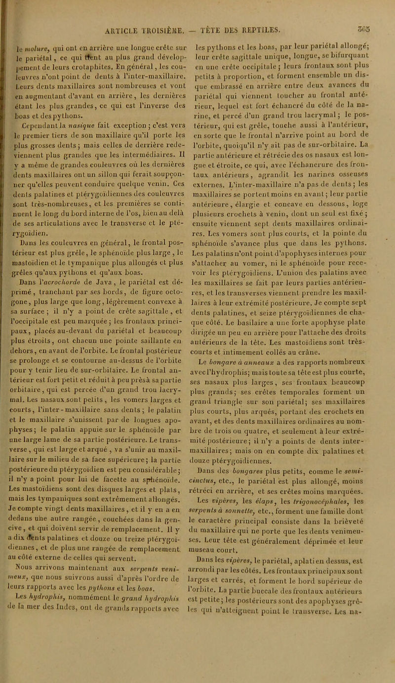 le molure, qui ont en arrière une longue crête sur Je pariétal, ce qui (Kent au plus grand dévelop- pement de leurs crolaphites. En général, les cou- leuvres n’ont point de dents à l’inter-maxillairc. Leurs dents maxillaires sont nombreuses et vont en augmentant d’avant en arrière, les dernières étant les plus grandes, ce qui est l’inverse des boas et des pythons. Cependant la nasiqtie fait exception ; c’est vers le premier tiers de son maxillaire qu’il porte les plus grosses dents; mais celles de derrière rede- viennent plus grandes que les intermédiaires. Il y a même de grandes couleuvres où les dernières dents maxillaires ont un sillon qui ferait soupçon- ner qu’elles peuvent conduire quelque venin. Ces dents palatines et ptérygoïdiennes des couleuvres sont très-nombreuses, et les premières se conti- nuent le long du bord interne de l’os, bien au delà de ses articulations avec le transverse et le pté- rygoïdien. Dans les couleuvres en général, le frontal pos- térieur est plus grêle, le sphénoïde plus large , le mastoïdien elle tympanique plus allongés et plus grêles qu’aux pythons et qu’aux boas. Dans Vcicrochorde de Java , le pariétal est dé- primé, tranchant par ses bords, de figure octo- gone, plus large que long, légèrement convexe à sa surface ; il n’y a point de crête sagittale , et l’occipitale est peu marquée; les frontaux princi- paux, placés au-devant du pariétal et beaucoup plus étroits, ont chacun une pointe saillante en dehors, en avant de l’orbite. Le frontal postérieur se prolonge et se contourne au-dessus de l’orbite pour y tenir lieu de sur-orbitaire. Le frontal an- térieur est fort petit et réduit à peu prèsà sa partie orbitaire, qui est percée d’un grand trou lacry- mal. Les nasaux sont petits , les vomers larges et courts, l’inter-maxillaire sans dents; le palatin et le maxillaire s’unissent par de longues apo- physes; le palatin appuie sur le sphénoïde par une large lame de sa partie postérieure. Le trans- verse , qui est large et arqué , va s’unir au maxil- laire sur le milieu de sa face supérieure; la partie postérieure du ptérygoïdien est peu considérable; il n’y a point pour lui de facette au sphénoïde. Les mastoïdiens sont des disques larges et plais, mais les tympaniques sont extrêmement allongés. Je compte vingt dents maxillaires , et il y en a en dedans une autre rangée, couchées dans la gen- cive , et qui doivent servir de remplacement. 11 y a dix (fents palatines et douze ou treize ptérygoï- diennes, et de plus une rangée de remplacement au côté externe de celles qui servent. Nous arrivons maintenant aux serpents veni- meux, que nous suivrons aussi d’après l’ordre de leurs rapports avec les pythons et les boas. Les hydrophis, nommément le grand hydrophis de la mer des Indes, ont de grands rapports avec les pythons cl les boas, par leur pariétal allongé; leur crête sagittale unique, longue, se bifurquant en une crête occipitale; leurs frontaux sont plus petits à proportion, et forment ensemble un dis- que embrassé en arrière entre deux avances du pariétal qui viennent toucher au frontal anté- rieur, lequel est fort échancré du côté de la na- rine, et percé d’un grand trou lacrymal ; le pos- térieur, qui est grêle, louche aussi à l’antérieur, en sorte que le frontal n’arrive point au bord de l’orbite, quoiqu’il n’y ail pas de sur-orbitaire. La partie antérieure et rétrécie des os nasaux est lon- gue cl étroite, ce qui, avec l’échancrure des fron- taux antérieurs, agrandit les narines osseuses externes. L’inter-maxillaire n’a pas de dents; les maxillaires se portent moins en avant ; leur partie antérieure, élargie et concave eu dessous, loge plusieurs crochets à venin, dont un seul est fixé ; ensuite viennent sept dents maxillaires ordinai- res. Les vomers sont plus courts, et la pointe du sphénoïde s’avance plus que dans les pythons. Les palatins n’ont point d’apophyses internes pour s’attacher au vomer, ni le sphénoïde pour rece- voir les plérygoïdiens. L’union des palatins avec les maxillaires se fait par leurs parties antérieu- res, et les transverses viennent prendre les maxil- laires à leur extrémité postérieure. Je compte sept dents palatines, et seize ptérygoïdiennes de cha- que côté. Le basilaire a une forte apophyse plate dirigée un peu en arrière pour l’attache des droits antérieurs de la tête. Les mastoïdiens sont très- courts et intimement collés au crâne. Le bongare à anneaux a des rapports nombreux avecl’hydrophis; maistoulesa lêteestplus courte, ses nasaux plus larges, ses frontaux beaucoup plus grands; ses crêtes temporales forment un grand triangle sur son pariétal; ses maxillaires plus courts, plus arqués, portant des crochets en avant, et des dents maxillaires ordinaires au nom- bre de trois ou quatre, et seulement à leur extré- mité postérieure ; il n’y a points de dents inter- maxillaires; mais on en compte dix palatines et douze ptérygoïdiennes. Dans des bongares plus petits, comme le semi- cinclus, etc., le pariétal est plus allongé, moins rétréci en arrière, et scs crêtes moins marquées. Les vipères, les élaps, les trigonocéphales, les serpents à sonnette, etc., forment une famille dont le caractère principal consiste dans la brièveté du maxillaire qui ne porte que les dents venimeu- ses. Leur tête est généralement déprimée et leur museau court. Dans les vipères, le pariétal, aplati en dessus, est arrondi par les côtés. Les frontaux principaux sont larges et carrés, et forment le bord supérieur de 1 orbite. La partie buccale des frontaux antérieurs est petite ; les postérieurs sont des apophyses grê- les qui n’atteigneut point le transversc. Les na-