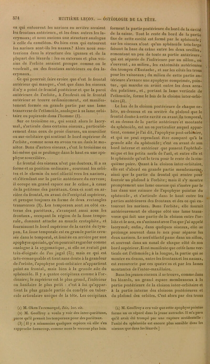 os qui entourent les narines en arrière seraient les frontaux antérieurs, et les deux autres les la- crymaux; et nous aurions une structure analogue à celle <lu caméléon. Ou bien ceux qui entourent les narines sont-ils les nasaux? Alors nous ren- trerions dans la structure des iguanes et de la plupart des lézards : les os externes et plus voi- sins de l’orbite seraient presque comme on le voudrait, ou des frontaux antérieurs ou des la- crymaux. Ce qui pourrait faire croire que c’est le frontal antérieur qui manque, c’est que dans les oiseaux il n’y a point de frontal postérieur et que la paroi antérieure de l’orbite, à l’endroit où le frontal antérieur se trouve ordinairement, est manifes- tement formée en grande partie par une lame transverse de l’elbmoïde, analogue à sa lame orbi- taire ou papiracée dans l’homme (1). Sur ce troisième os, qui serait alors le lacry- mal, s’articule dans certains oiseaux, particuliè- rement dans ceux de proie diurnes, un sourcilier ou sur-orbitaire qui soutient le bord supérieur de l’orbite , comme nous en avons vu un dans le mo- nitor. Dans d’autres oiseaux , c’est le troisième os lui-même qui se prolonge dans le haut en une apo- physe sourcilière. Le frontal des oiseaux n’est pas douteux. II a sa forme et sa position ordinaire , couvrant les orbi- tes et le chemin du nerf olfactif vers les narines, et s’étendant sur la partie antérieure du cerveau; il occupe un grand espace sur le crâne, à cause delà petitesse des pariétaux. Ceux-ci sont en ar- rière du frontal, en avant de l’occipital supérieur, et presque toujours en forme de deux rectangles transverses (2). Les temporaux sont au côté ex- terne des pariétaux, s’avançant aussi sous les frontaux, occupant la région de la fosse tempo- rale, donnant attache au muscle crotaphite, et fournissant le bord supérieur de la cavité du tym- pan. La fosse temporale est en grande partie creu- sée dans le temporal, et limitée en arrière par une apophyse spéciale, qu’on pourrait regarder comme analogue à la zygomatique , si elle ne restait pas tiès-éloignée de l’os jugal (3); mais ce qui est très-remarquable et tient sans doute à la grandeur de l’orbite, l’apophyse post-orbitaire n’appartient pointau frontal, mais bien à la grande aile du sphénoïde. Il y a quatre occipitaux comme à l’or- dinaire; le supérieur est le plus grand, l’inférieur ou basilaire le plus petit : c’est, à lui qu’appar- tient la plus grande partie du condyle ou tuber- cule articulaire unique de la tête. Les occipiLaux (t) M. Oken l’a remarque, Isis, loc. cit. (2) M. Geoffroy a voulu y voir des inter-pariétaux, parce qu’il prenait les temporaux pour des pariétaux. (3) [ 11 y a néanmoins quelques espèces où elle s’eu rapproche beaucoup, comme nous le verrons plus loiu. forment la partie postérieure du bord de la cavité de la caisse. Tout le reste du bord de la partie fixe de celte cavité est formé par le sphénoïde; car les oiseaux n’ont qu’un sphénoïde très-large faisant la base du crâne entre les deux oreilles, remontant un peu de toute sa partie antérieure, qui est séparée de l’inférieure par un sillon, où s’ouvrent, au milieu, les extrémités antérieures des trompes d’Euslache, et sur les côtés les trous pour les vaisseaux; du milieu de cette partie an- térieure s’avance une apophyse comprimée, poin- tue, qui marche en avant entre les deux arca- des palatines, et, portant la lame verticale de l’ethmoïde, forme le bas de la cloison inter-orbi- taire (4). Le bas de la cloison postérieure de chaque or- bite, au-dessous et en arrière du plafond que le frontal donne à celle cavité en avant du temporal, et au-dessus de la partie antérieure et montante du sphénoïde, est un os particulier auquel appar- tient, comme je l’ai dit, l’apophyse post-orbillaire, et qui ne peut cependant être comparé qu’à la grande aile du sphénoïde ; c’est en avant de son bord interne et antérieur que passent l’ophthal- mique et les petits nerfs de l’œil, et entre elle et le sphénoïde qu’est le trou pour le reste de la cin- quième paire. Quant à la cloison inter-orbitaire, elle est d’abord en grande partie membraneuse, ainsi que la partie du frontal qui rentre pour fournir un plafond à l’orbite; mais il s’y montre promptement une lame osseuse qui s’insère par le bas dans une rainure de l’apophyse pointue du sphénoïde, et s’articule dans le haut entre les parties antérieures des frontaux et des os qui en- tourent les narines. Dans l'orbite, elle fournit antérieurement de chaque côté une lame trans- verse qui fait une partie de la cloison entre Tor- bileet le nez, en s’unissantavec l’osque j’ai appelé lacrymal; enfin, dans quelques oiseaux, elle se prolonge souvent dans le nez pour séparer les deux narines. Le nerf olfactif passe dans un sillon, et souvent dans un canal de chaque côté de son bord supérieur. Il est manifesLc que cette lame ver- ticale est l’ethmoïde; à la longue, la partie qui se montre en dessus, entre les frontauxet les nasaux, est recouverte par ces quatre os et par les lames montantes de l’iuter-maxillaire. Dans lesjeunes oiseaux il se trouve, comme dans les lézards, un grand espace membraneux à la partie postérieure de la cloison inter-orbitaire et à la partie interne des cloisons postérieures el du plafond des orbites. C’est alors par des trous (4) M. Geoffroy a cru voir que cette apophyse pointue forme uu os séparé dans la jeune autruche. Il m’a paru qu’il avait été trompé par une rupture accidentelle : l’unité du sphénoïde est encore plus sensible dans les oiseaux que dans les lézards ]