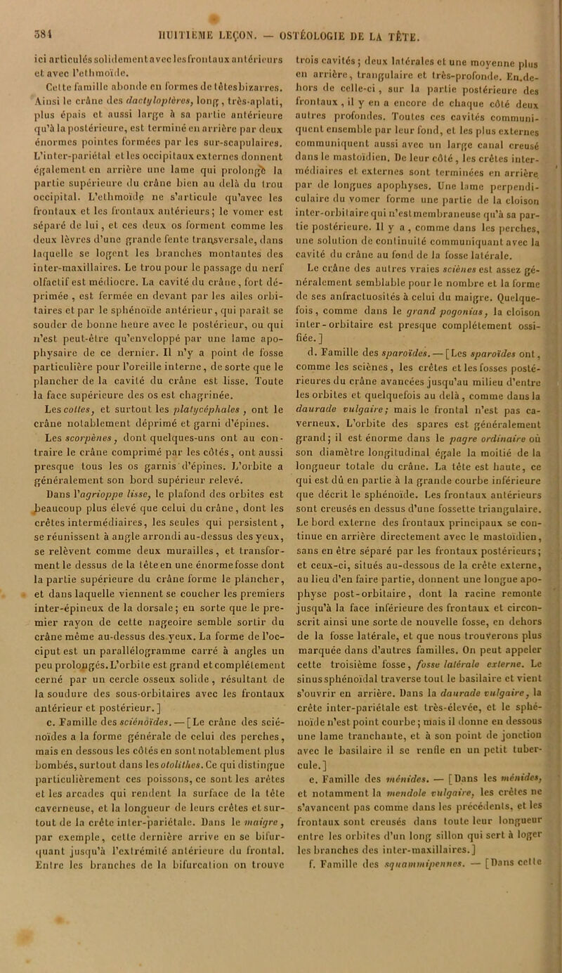 ici articuléssoliilementavec lesfronlaux antérieurs et avec l’ethmoïde. Celte famille abonde en formes de têtes bizarres. Ainsi le crâne des clactyloplàres, lonfç, très-aplati, plus épais et aussi large h sa partie antérieure qu’à la postérieure, est terminé en arrière par deux énormes pointes formées par les sur-scapulaires. L’intcr-pariétal elles occipitaux externes donnent également en arrière une lame qui prolongé la partie supérieure du crâne bien au delà du trou occipital. L’elhmoïde ne s’articule qu’avec les frontaux et les frontaux antérieurs; le vomer est séparé de lui, et ces deux os forment comme les deux lèvres d’une grande fente transversale, dans laquelle se logent les branches montantes des inter-maxillaires. Le trou pour le passage du nerf olfactif est médiocre. La cavité du crâne, fort dé- primée , est fermée en devant par les ailes orbi- taires et par le sphénoïde antérieur, qui paraît se souder de bonne heure avec le postérieur, ou qui n’est peut-être qu’enveloppé par une lame apo- physaire de ce dernier. Il n’y a point de fosse particulière pour l’oreille interne, de sorte que le plancher de la cavité du crâne est lisse. Toute la face supérieure des os est chagrinée. Les colles} et surtout les plalycèphales , ont le crâne notablement déprimé et garni d’épines. Les scorpènes, dont quelques-uns ont au con- traire le crâne comprimé par les côtés, ont aussi presque tous les os garnis d’épines. L’orbite a généralement son bord supérieur relevé. Dans Yagrioppe lisse, le plafond des orbites est beaucoup plus élevé que celui du crâne, dont les crêtes intermédiaires, les seules qui persistent, se réunissent à angle arrondi au-dessus des yeux, se relèvent comme deux murailles, et transfor- ment le dessus de la tête en une énorme fosse dont la partie supérieure du crâne forme le plancher, et dans laquelle viennent se coucher les premiers inter-épineux de la dorsale; eu sorte que le pre- mier rayon de cette nageoire semble sorLir du crâne même au-dessus des yeux. La forme de l’oc- ciput est un parallélogramme carré à angles un peu prolongés.L’orbite est grand etcomplélement cerné par un cercle osseux solide, résultant de la soudure des sous-orbitaires avec les frontaux antérieur et postérieur.] c. Famille des sciénoïdes. — [Le crâne des scié- noïdes a la forme générale de celui des perches, mais en dessous les côtés en sont notablement plus bombés, surtout dans lesotolithes. Ce qui distingue particulièrement ces poissons, ce sont les arêtes et les arcades qui rendent la surface de la tête caverneuse, et la longueur de leurs crêtes et sur- tout de la crête inter-pariétale. Dans le maigre , par exemple, cette dernière arrive en se bifur- quant jusqu’à l’extrémité antérieure du frontal. Entre les branches de la bifurcation on trouve trois cavités ; deux latérales et une moyenne plus en arrière, trangulairc et très-profonde. En.dc- hors de celle-ci, sur la partie postérieure des frontaux , il y en a encore de chaque côté deux autres profondes. Toutes ces cavités communi- quent ensemble par leur fond, et les plus externes communiquent aussi avec un large canal creusé dans le mastoïdien. De leur côté , les crêtes inter- médiaires et externes sont terminées en arrière par de longues apophyses. Une lame perpendi- culaire du vomer forme une partie de la cloison inter-orbitaire qui n’est membraneuse qu’à sa par- tie postérieure. 11 y a , comme dans les perches, une solution de continuité communiquant avec la cavité du crâne au fond de la fosse latérale. Le crâne des autres vraies sciènesest assez gé- néralement semblable pour le nombre et la forme de ses anfractuosités à celui du maigre. Quelque- fois , comme dans le grand pogonias, la cloison inter-orbitaire est presque complètement ossi- fiée. ] d. Famille des sparoïdes. — [Les sparoïdes ont, comme les sciènes , les crêtes et les fosses posté- rieures du crâne avancées jusqu’au milieu d’entre les orbites et quelquefois au delà, comme dans la daurade vulgaire; mais le frontal n’est pas ca- verneux. L’orbite des spares est généralement grand; il est énorme dans le pagre ordinaire où son diamètre longitudinal égale la moitié de la longueur totale du crâne. La tête est haute, ce qui est dû en partie à la grande courbe inférieure que décrit le sphénoïde. Les frontaux antérieurs sont creusés en dessus d’une fossette triangulaire. Le bord externe des frontaux principaux se con- tinue en arrière directement avec le mastoïdien, sans en être séparé par les frontaux postérieurs; et ceux-ci, situés au-dessous de la crête externe, au lieu d’en faire partie, donnent une longue apo- physe post-orbitaire, dont la racine remonte jusqu’à la face inférieure des frontaux et circon- scrit ainsi une sorte de nouvelle fosse, en dehors de la fosse latérale, et que nous trouverons plus marquée dans d’autres familles. On peut appeler cette troisième fosse, fusse latérale externe. Le sinussphénoïdal traverse tout le basilaire et vient s’ouvrir en arrière. Dans la daurade vulgaire, la crête inter-pariétale est très-élevée, et le sphé- noïde n’est point courbe; mais il donne en dessous une lame tranchante, et à son point de jonction avec le basilaire il se renfle en un petit tuber- cule.] e. Famille des ménides. — [Dans les mênides, et notamment la mcndole vulgaire, les crêtes ne s’avancent pas comme dans les précédents, et les frontaux sont creusés dans toute leur longueur entre les orbites d’un long sillon qui sert à loger les branches des inter-maxillaires.] f. Famille des squammipennes. — [Dans cette