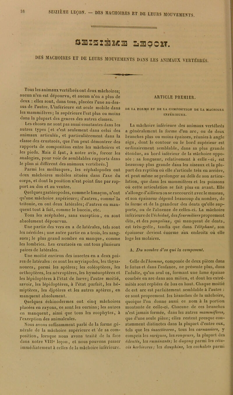 SEIZIÈME LEÇOM. — DES MACHOIRES ET DE LEURS MOUVEMENTS. saisisMs LBoon. DES MACHOIRES ET DE LEURS MOUVEMENTS DANS LES ANIMAUX VERTÉRRÉS. Tous les animaux vertdbrds ont deux mâehoires; aucun n’en est ddpourvu, et aucun n’en a plus de deux : elles sont, dans tous, placdcs l’une au-des- sus de l’autre. L’inférieure est seule mobile dans les mammifères J la supérieure l’est plus ou moins dans la plupart des genres des autres classes. Les choses ne sont pas aussi constantes dans les autres types [et c’est seulement dans celui des animaux articulés, et particulièrement dans la classe des crustacés, que l’on peut démontrer des rapports de composition entre les mâchoires et les pieds. Mais il Rjut, à notre avis, forcer les analogies, pour voir de semblables rapports dans le plan si différent des animaux vertébrés.] Parmi les mollusques, les céphalopodes ont deux mâchoires mobiles situées dans Taxe du corps, et dont la position n’est point fixe par rap- port au dos et au ventre. Quelques gastéropodes, comme le limaçon, n’ont qu’une mâchoire supérieure; d’autres, comme'la tritonie, en ont deux latérales; d’autres en man- quent tout à fait, comme le buccin, etc. Tous les acéphales, sans exception, en sont absolument dépourvus. Une partie des vers en a de latérales, tels sont les néréides; une autre partie en a trois, les sang- sues; le plus grand nombre en manque, comme les lombrics. Les crustacés en ont tous plusieurs paires de latérales. Une moitié environ des insectes en a deux pai- res de latérales : ce sont les myriapodes, les thysa- noures, parmi les aptères; les coléoptères, les orthoptères, les névroplères, les hyménoptères et les lépidoptères à l’état de larve; l’autre moitié, savoir, les lépidoptères, à l’état parfait, les hé- miptères, les diptères et les autres aptères, en manquent absolument. Quelques échinodermes ont cinq mâchoires placées en rayons, ce sont les oursins; les autres en manquent, ainsi que tous les zoophytes, à l’exception des animalcules. Nous avons suffisamment parlé de la forme gé- nérale de la mâchoire supérieure et 'de sa com- position, lorsque nous avons traité de la face dans notre VIll» leçon, et nous pouvons passer immédiatement à celles de la mâchoire inférieure. ARTICLE PREMIER. BB I.A forme et de la COMPOSITION DE LA MACIIOIBE INFÉRIEURE. La mâchoire inférieure des animaux vertébrés a généralement la forme d’un arc, ou de deux branches plus ou moins épaisses, réunies à angle aigu, dont le contour ou le bord supérieur est ordinairement semblable, dans sa plus grande étendue, au bord inférieur de la mâchoire oppo- sée : sa longueur, relativement à celle-ci, est beaucoup plus grande dans les oiseaux et la plu- part des reptiles où elle s’articule très en arrière, et peut même se prolonger au delà de son articu- lation, que dans les mammifères et les poissons où cette articulation se fait plus en avant. Elle s’allonge d’ailleurs ou se raccourcit avec le museau, et son épaisseur dépend beaucoup du nombre, de la forme et de la grandeur des dents qu’elle sup- porte, ou de l’absence de celles-ci. La mâchoire inférieure de Véchidnéj des/bn/vaiViers proprement dits, et des pangolins^ qui manquent de dents, est très-grêle, tandis que dans- i'èléphant, son épaisseur devient énorme aux endroits où elle loge les molaires. A. Du nombre d’os qui la composent. Celle del’/iommo, composée de deux pièces dans le fœtus et dans l’enfance, ne présente plus, dans l’adulte, qu’un seul os, formant une lame épaisse courbée en arc dans son milieu, et dont les extré- mités sont repliées de bas en haut. Chaque moitié de cet arc est parfaitement semblable à l’autre : ce sont proprement les branches de la mâchoire, quoique Ton donne aussi ce nom à la portion montante de celle-ci. Cliacunc de ces branches n’est jamais formée, dans les autres mammifères, que d’une seule pièce; elles restent presque con- stamment distinctes dans la plupart d’entre eux, tels que les insectivores, tous les carnassiers, y compris les sarigues, les rongeurs, la plupart des édentés, les ruminants; le dugong parmi les céta- cés herbivores; les dauphins, les cachalots parmi
