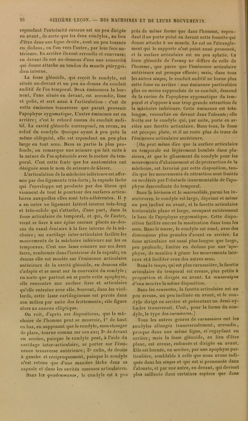 cependant l’e.xirémilé externe est un peu dirifjéc en avant, de sorte que les deux condyles, au lieu d’être dans une li(rne droite, sont un peu tournés en dedans, ou l’un vers l’autre, par leur face an- térieure. En arrière ils sont arrondis et convexes; en devant ils ont au-dessous d’eux une concavité qui donne attache au tendon du muscle pterygoï- dien interne. La fosse plénoïde, qui reçoit le condyle, est située au-devant et un peu au-dessus du conduit auditif de l’os temporal. Deux éminences la bor- nent, l’une située en devant, est arrondie, lisse et polie, et sert aussi à l’articulation : c’est de cette éminence transverse que paraît provenir l’apophyse zyffomatique. L’autre éminence est en arrière; c’est le rebord osseux du conduit audi- tif. La cavité f[lénoïde correspond, en creux, au relief du condyle. Quoique ayant à peu près la même obliquité, elle est cependant un peu plus large en tout sens. Dans sa partie la plus pro- fonde, ou remarque une scissure qui fait suite à la suture de l’os sphénoïde avec le rocher du tem- poral. C’est celte fente que les anatomistes ont désignée sous le nom de scissure de Glaser. L’articulation de la mâchoire inférieure est affer- mie par des ligaments très-forts ; la capsule lâche qui l’enveloppe est produite par des fibres qui viennent de tout le pourtour des surfaces articu- laires auxquelles elles sont très-adhérentes. Il y a en outre un ligament latéral interne très-long et très-solide qui s’attache, d’une part, dans la fosse articulaire du temporal, et qui, de l’autre, vient se fixer à une épine osseuse placée au-des- sus du canal dentaire à la face interne de la mâ- choire ; un cartilage iuler-arliculaire facilite les mouvements de la mâchoire inférieure sur les os temporaux. C’est une lame concave sur ses deux faces, renfermée dans l’intérieur de la capsule; en dessus elle est moulée sur l’éminence articulaire antérieure de la cavité glénoïde, en dessous elle s’adapte et se meut sur la convexité du condyle; en sorte que partout où se porte celte apophyse, elle rencontre une surface lisse et articulaire qu’elle entraîne avec elle. Souvent, dans les vieil- lards, cette lame cartilagineuse est percée dans son milieu par suite des frottements; eile figure alors un anneau elliptique. On voit, d’après ces dispositions, que la mâ- choire de l’homme peut se mouvoir, 1® de haut eu bas, en supposant que le condyle, sans changer de place, •tourne comme sur son axe; 2» de devant en arrière, puisque le condyle peut, à l’aide du cartilage inter-articulaire, se porter sur l’émi- nence Iransverse antérieure ; 3 enfin, de droite à gauche et réciproquement, puisque le condyle n’est retenu que d’une manière lâche dans sa capsule et'dans les cavités osseuses articulaires. Dans les quadrumanes, le condyle est à peu près de même forme que dans Thomme, cepen- dant il ne porte point en devant celte fossette qui donne attache à un muscle. Le col ou Télrangle- ment qui le supporte n’est point aussi prononcé, cl la surface articulaire est un peu aplatie. I.a fosse glénoïde de Vorang ne diffère de celle de l’homme, que parce que l’éminence articulaire antérieure est presque effacée; mais, dans tous les autres singes, le conduit auditif ne borne plus cette fosse en arrière : une éminence particulière plus ou moins rapprochée de ce conduit, descend de la racine de l’apophyse zygomatique du tem- poral et s’oppose à une trop grande rétraction de la mâchoire inférieure. Cette éminence est très- longue, recourbée en devant dans l’a/oi/afc; elle frotte sur le condyle qui, par suite, porte en ar- rière une facette articulaire. Dans tous, la fosse est presque, plate, et il ne reste plus de trace de Témincnce articulaire antérieure. [On peut même dire que la surface articulaire ou temporale est légèrement bombée dans plu- sieurs, et que le glissement du condyle pour les mouvements d’abaissement et de protraclion de la mâchoire, est favorisé par celle disposition, tan- dis que les mouvements de rétraction sont limités ou modérés par l’obstacle insurmontable de l’apo- physe descendante du temporal. Dans le hérisson et le macroeêlide, parmi les in- sectivores, le condyle est large, déprimé et même un peu incliné en avant, et la facette articulaire horizontale plane et large, occupant entièrement la base de l’apophyse zygomatique. Cette dispo- sition facilite encore la mastication dans tous les sens. Dans le tenrec, le condyle est ron<l, avec des dimensions plus grandes d’avant en arrière. La fosse articulaire est aussi plus longue que large, peu profonde, limitée en dedans par une ‘apo- physe, de manière à gêner les mouvements laté- raux et à faciliter ceux des autres sens. Dans la taupe, qui est plus carnassière, la facette articulaire du temporal est creuse, plus petite à proportion et dirigée en avant. La musaraigne d’eau montre la même disposition. Dans les roussettes, la facette articulaire est un peu creuse, un peu inclinée en avant, et le con- dyle dirigé en arrière et présentant un demi-cy- lindre transversal. C’est, pour la forme du con- dyle, le type des carnivores, ] Tous les autres genres de carnassiers ont les condyles allongés transversalement, arrondis, presque dans une même ligne, et regardant en arrière; mais la fosse glénoïde, au lieu d’être plane, est creuse, enfoncée et dirigée eu avant. Elle est bornée, en arrière, par une apophyse par- ticulière, semblable à celle que nous avons indi- quée dans les singes et qui est si prononcée dans l’alouate, cl par une autre, en devant, qui devient plus saillante dans certaines espèces que dans