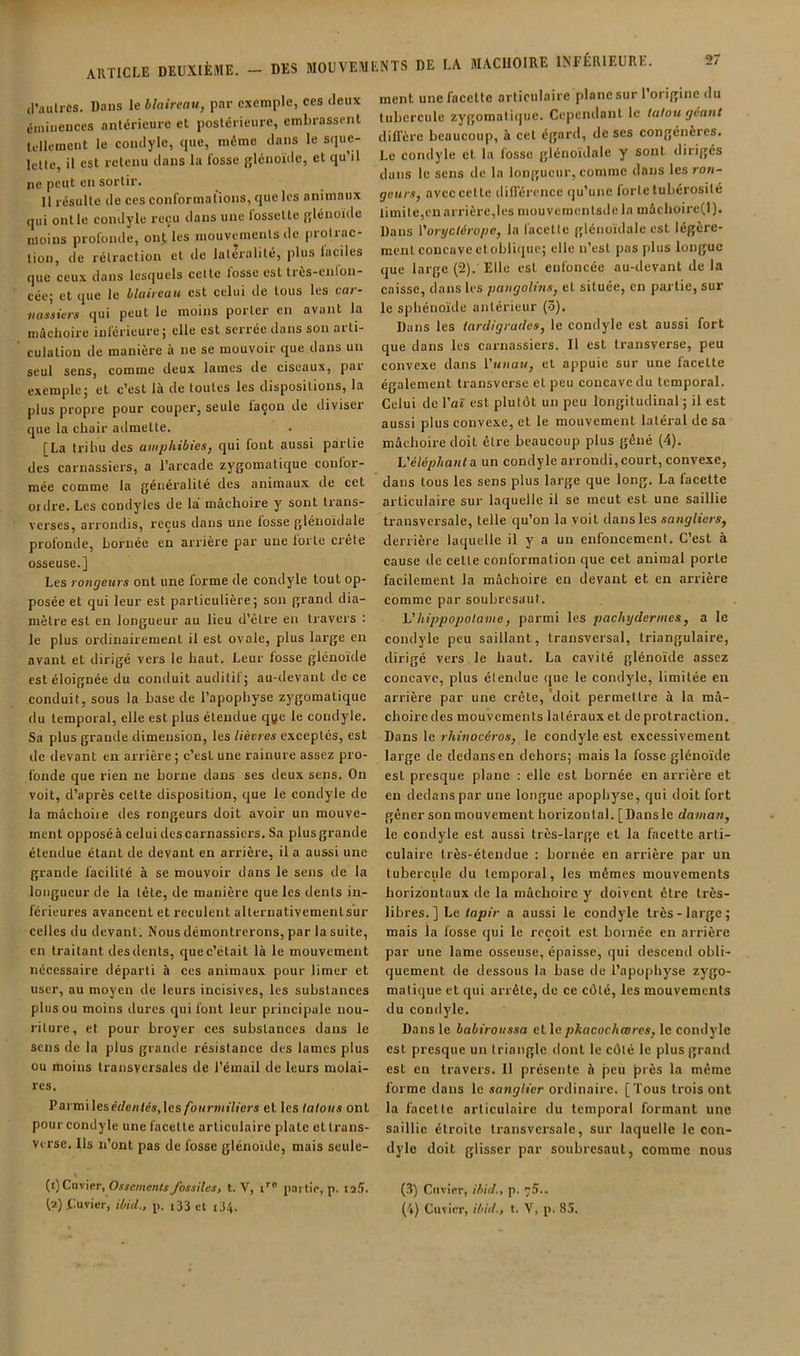 article deuxième. — DES MOUVEMENTS DE LA MACHOIRE INFÉRIEURE. d’iiulrcs. Dans le blaireau, par c.xemple, ces (leux éiniiieiiccs antérieure et postérieure, embrassent lullcraeut le conclylc, (jue, même dans le sque- lette, il est retenu dans la fosse j;lénoïde, et qu’il ne peut en sortir. Il résulte de ces conformations, que les animaux qui ont le condyle reçu dans une lossette f;lénoïde moins profonde, ont les inouvemenls de pioliac- tion, de rétraction et de latéralité, plus faciles que ceux dans lescjuels cette losse est très-cnlou- cée; et que le blaireau est celui de tous les car- nassiers qui peut le moins porter en avant la mâchoire inférieure; elle est serrée dans son arti- culation de manière à ne se mouvoir que dans un seul sens, comme deux lames de ciseaux, pai exemple; et c’est là de toutes les dispositions, la plus propre pour couper, seule façon de diviser que la chair admette. [La tribu des amphibies, (|ui font aussi partie des carnassiers, a l’arcade zygomatique confor- mée comme la généralité des aniraau.x de cet ordre. Les condyles de la mâchoire y sont ti'ans- verses, arrondis, reçus dans une losse glénoïdale profonde, bornée en arrière par une forte crête osseuse.] Les rongeurs ont une forme de condyle tout op- posée et qui leur est particulière; son grand dia- mètre est en longueur au lieu d’élre en travers : le plus ordinairement il est ovale, plus large en avant et dirigé vers le haut. Leur losse glénoïde est éloignée du conduit auditif; au-devant de ce conduit, sous la base de l’apophyse zygomatique du temporal, elle est plus étendue c^ge le condyle. Sa plus grande dimension, les lièvres exceptés, est de devant en arrière ; c’est une rainure assez pro- fonde que rien ne borne dans ses deux sens. On voit, d’après celte disposition, que le condyle de la mâchoiie des rongeurs doit avoir un mouve- ment opposéà celui des carnassiers. Sa plusgrande étendue étant de devant en arrière, il a aussi une grande facilité à se mouvoir dans le sens de la longueur de la tête, de manière que les dents in- férieures avancent et reculent allernativementsur celles du devant . Nous démontrerons, par la suite, en traitant desdents, quec’était là le mouvement nécessaire départi à ces animaux pour limer et user, au moyen de leurs incisives, les substances plus ou moins dures qui font leur principale nou- riture, et pour broyer ces substances dans le sens de la plus grande résistance des lames plus ou moins transversales de l’émail de leurs molai- res. Parmilesé(/e;)lcs,les/bi/»'mt7iers et les tatous ont pour condyle une facette articulaire plate etlrans- verse. Ils n’ont pas de fosse glénoïde, mais seule- ment une facette articulaire plane sur l’origine du tubercule zygomalicjue. Cependant le tatou géant diflere beaucoup, à cet égard, de ses congénères. Le condyle et la fosse glénoïdale y sont dirigés dans le sens de la longueur, comme dans les ron- geurs, avec cette dilTérence qu’une forte tubérosité limite,en arrière,les mouvemenlsde la mûchoirc(l). Dans Voryctéropc, la facétie glénoïdale est légère- ment concave etobli(iuc; elle n’est pas plus longue que large (2). Elle est enfoncée au-devant de la caisse, dans les pangolins, et située, en partie, sur le sphénoïde antérieur (3). Dans les tardigrudes, le condyle est aussi fort que dans les carnassiers. Il est Iransverse, peu convexe dans Vunav, et appuie sur une facette également transverse et peu concave du temporal. Celui de l’(Jt est plutôt un peu longitudinal ; il est aussi plus convexe, et le mouvement latéral de sa mâchoire doit être beaucoup plus gêné (4). Véléphanto un condyle arrondi,court, convexe, dans tous les sens plus large que long. La facette articulaire sur laquelle il se meut est une saillie transversale, telle qu’on la voit dans les sangliers, derrière laquelle il y a un enfoncement. C’est à cause de celle conformation que cet animal porte facilement la mâchoire en devant et en arrière comme par soubresaut. Vhippopotame, parmi les pachydermes, a le condyle peu saillant, transversal, triangulaire, dirigé vers le haut. La cavité glénoïde assez concave, plus élendue que le condyle, limitée en arrière par une crête, 'doit permettre à la raâ- choiredes mouvements latérauxet deprolraclion. Dans le rhinocéros, le condyle est excessivement large de dedans en dehors; mais la fosse glénoïde est presque plane : elle est bornée en arrière et en dedans par une longue apophyse, qui doit fort gêner son mouvement horizontal. [Dansle daman, le condyle est aussi très-large et la facette arti- culaire très-étendue : bornée en arrière par un tubercule du temporal, les mêmes mouvements horizontaux de la mâchoire y doivent être très- libres.] Le tapir a aussi le condyle très-large; mais la fosse qui le reçoit est bornée en arrière par une lame osseuse, épaisse, qui descend obli- quement de dessous la base de l’apophyse zygo- matique et qui arrête, de ce côté, les mouvements du condyle. Dans le babiroussa ellepkacochœres, le condyle est presque un triangle dont le côlé le plus grand est eu travers. Il présente à peu près la même forme dans le sanglier ordinaire. [Tous trois ont la facetle articulaire du temporal formant une saillie étroite transversale, sur laquelle le con- dyle doit glisser par soubresaut, comme nous (r)Ciivier, Ossements fossiles, t. V, i’’® partir, p. iz5. fz) Uuvicr, ibid., p. i33 d [34. (3) Cu vier, ibid., p. 7I).. (4) Cuvier, ibid., t. V, p. 85.