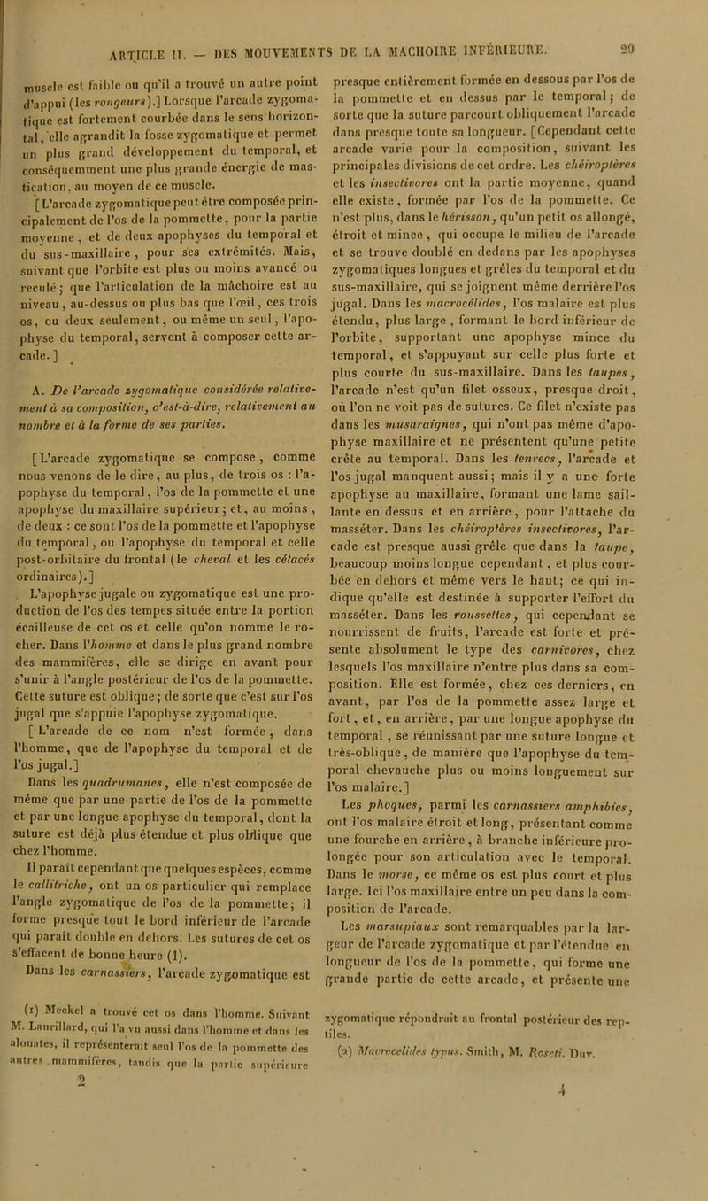 ARTICLE II. niiisclo PSl faible ou qu’il a trouvé un autre point d’appui (les rongeurs).] Lorsque l’arcade zygoma- tique est fortement courbée dans le sens horizon- tal, elle affrandit la fosse zyfîomalique et permet un plus grand développement du temporal, et conséquemment une plus grande énergie de mas- tication, au moyen de ce muscle. [L’arcade zygomatiquepeutêtre composéeprin- cipalement de l’os de la pommette, pour la partie moyenne, et de deux apophyses du temporal et du sus-maxillaire , pour ses extrémités. Mais, suivant que l’orbite est plus ou moins avancé ou reculé; que l’articulation de la mâchoire est au niveau, au-dessus ou plus bas que l’œil, ces trois os, ou deux seulement, ou même un seul, l’apo- physe du temporal, servent à composer celte ar- cade. ] A. De l’arcade zygomatique considérée relatire- menl à sa composition, c’est-à-dire, relativement au nombre et à la forme de ses parties. [L’arcade zygomatique se compose, comme nous venons de le dire, au plus, de trois os ; l’a- pophyse du temporal, l’os de la pommelle et une apophyse du maxillaire supérieur; et, au moins , de deux : ce sont l’os de la pommette et l’apophyse du temporal, ou l’apophyse du temporal et celle post-orbitaire du frontal (le cheval et les cétacés ordinaires).] L’apophyse jugale ou zygomatique est une pro- duction de l’os des tempes située entre la portion écailleuse de cet os et celle qu’on nomme le ro- cher. Dans Vhomme et dans le plus grand nombre des mammifères, elle se dirige en avant pour s’unir à l’angle postérieur de l’os de la pommette. Celte suture est oblique ; de sorte que c’est sur l’os jugal que s’appuie l’apophyse zygomatique. [ L’arcade de ce nom n’est formée, dans l’homme, que de l’apophyse du temporal et de l’os jugal.] Dans les quadrumanes, elle n’est composée de même que par une partie de l’os de la pommette et par une longue apophyse du temporal, dont la suture est déjà plus étendue et plus oblique que chez l’homme. Il paraît cependant que quelques espèces, comme le callitriche, ont un os particulier qui remplace l’angle zygomatique de l’os de la pommette; il forme presque tout le bord inférieur de l’arcade qui paraît double eu dehors. Les sutures de cet os s’efTacenl de bonne heure (1). Dans les carnassiers, l’arcade zygomatique est (i) Meckcl a trouvé cct o.<î dans l’homme. Suivant M. Laurillard, qui l’a vu aussi dans l’homme et dans les alouates, il représenterait seul l’os de la pommette des autres .mammifères, taudis que la partie supérieure presque entièrement formée en dessous par l’os de la pommette et en dessus par le temporal ; de sorte que la suture parcourt obliquement l’arcade dans presque toute sa longueur. [Cependant cette arcade varie pour la composition, suivant les principales divisions de cet ordre. Les chéiroptères elles insectivores ont la partie moj'cnne, quand elle existe, formée par l’os de la pommelle. Ce n’est plus, dans le hérisson, qu’un petit os allongé, étroit et mince, qui occupe le milieu de l’arcade et se trouve doublé en dedans par les apophyses zygomatiques longues et grêles du temporal et du sus-maxillaire, qui se joignent même derrière l’os jugal. Dans les macrocélides, l’os malairc est plus étendu, plus large , formant le bord inférieur de l’orbite, supportant une apophyse mince du temporal, et s’appuyant sur eelle plus forte et plus courte du sus-maxillaire. Dans les taupes, l’arcade n’est qu’un filet osseux, presque droit, où l’on ne voit pas de sutures. Ce filet n’existe pas dans les musaraigties, q.ui n’ont pas même d’apo- physe maxillaire et ne présentent qu’une petite crête au temporal. Dans les tenrecs, l’arcade et l’os jugal manquent aussi; mais il y a une forte apophyse au maxillaire, formant une lame sail- lante en dessus et en arrière, pour l’attache du masséter. Dans les chéiroptères insectivores, l’ar- cade est presque aussi grêle que dans la taupe, beaucoup moins longue cependant, et plus cour- bée en dehors et même vers le haut; ce qui in- dique qu’elle est destinée à supporter l’effort du masséter. Dans les roussettes, qui cependant se nourrissent de fruits, l’arcade est forte et pré- sente absolument le type des carnivores, chez lesquels l’os maxillaire n’entre plus dans sa com- position. Elle est formée, chez ces derniers, en avant, par l’os de la pommette assez large et fort, et, en arrière, par une longue apophyse du temporal , se réunissant par une suture longue et très-oblique, de manière que l’apophyse du tem- poral chevauche plus ou moins longuement sur l’os malaire.] Les phoques, parmi les carnassiers amphibies, ont l’os raalaire étroit et long, présentant eomme une fourche en arrière , à branche inférieure pro- longée pour son articulation avec le temporal. Dans le morse, ce même os est plus court et plus large, lei l’os maxillaire entre un peu dans la com- position de l’arcade. Les marsupiaux sont remarquables par la lar- geur de l’arcade zygomatique et par l’étendue en longueur de l’os de la pommette, qui forme une grande partie de celte arcade, et présente une zygomatique rcpomlrait au frontal postérieur des rep- tiles. (a) hfiirrocclidr.t tj-pus. Smith, M. Roseli. 'Dur.