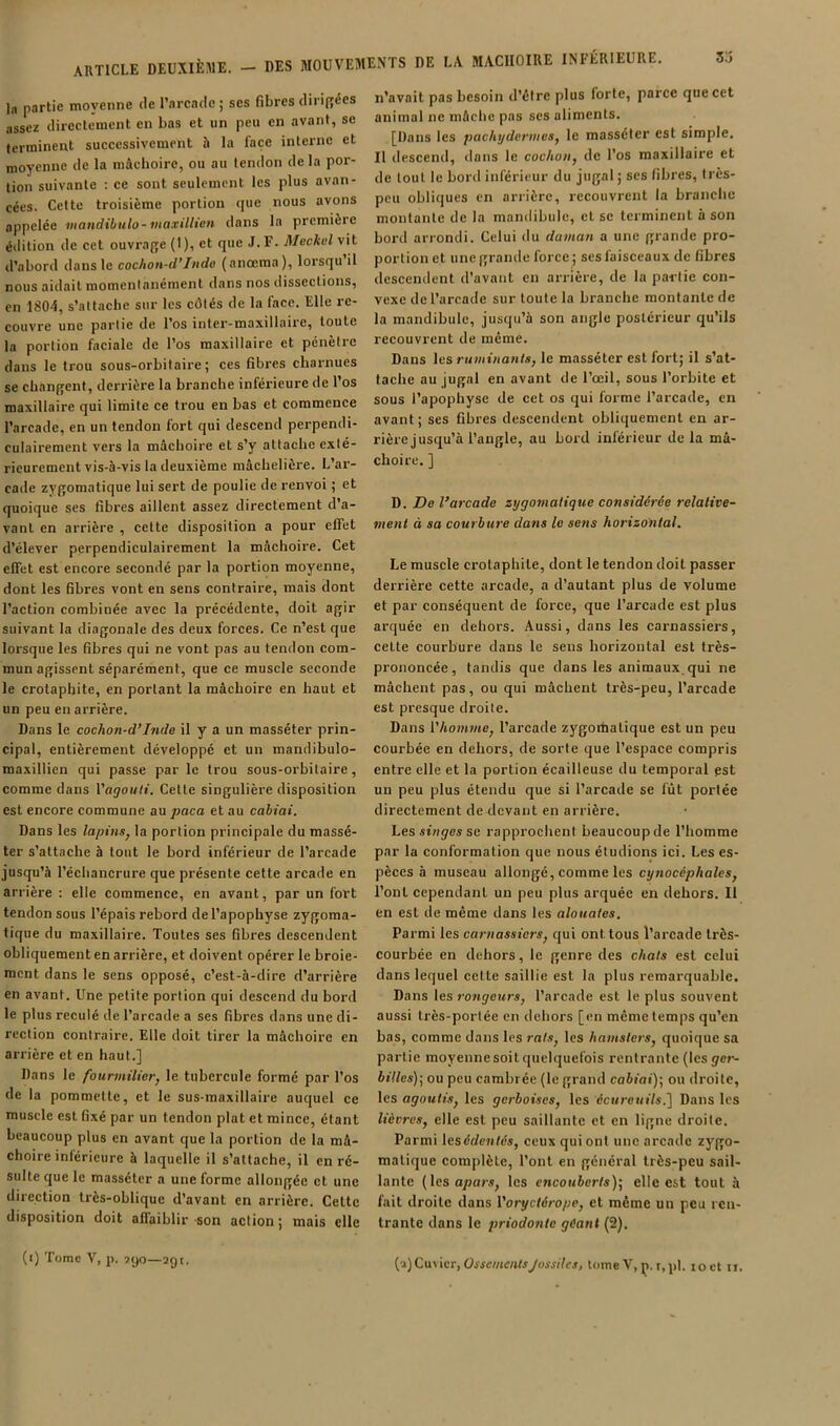 article DEUXIÈME. la partie moyenne <le l’arcaclc; ses fibres dirigées assez (lircctenient en bas et un peu en avant, se terminent successivement h la face interne et moyenne de la mâchoire, ou au tendon delà por- tion suivante : ce sont seulement les plus avan- cées. Cette troisième portion que nous avons appelée mandihulo-maxillien dans la première édition de cet ouvrajje (I), et que J. F. A/eciel vit d’abord dans le cochon-d’Indo (anœma), lorsqu il nous aidait momentanément dans nos dissections, en 1804, s’attache sur les côtés de la face. Elle re- couvre une partie de l’os inter-maxillaire, toute la portion faciale de l’os maxillaire et pénètre dans le trou sous-orbitaire; ces fibres charnues se changent, derrière la branche inférieure de l’os maxillaire qui limite ce trou en bas et commence l’arcade, en un tendon fort qui descend perpendi- culairement vers la mâchoire et s’y attache exté- rieurement vis-à-vis la deuxième mâchelière. L’ar- cade zygomatique lui sert de poulie de renvoi ; et quoique ses fibres aillent assez directement d’a- vant en arrière , cette disposition a pour effet d’élever perpendiculairement la mâchoire. Cet effet est encore secondé par la portion moyenne, dont les fibres vont eu sens contraire, mais dont l’action combinée avec la précédente, doit agir suivant la diagonale des deux forces. Ce n’est que lorsque les fibres qui ne vont pas au tendon com- mun agissent séparément, que ce muscle seconde le crotapbite, en portant la mâchoire en haut et un peu en arrière. Dans le cochon-d’Inde il y a un masséter prin- cipal, entièrement développé et un mandihulo- maxillien qui passe par le trou sous-orbitaire, comme dans l'agouti. Cette singulière disposition est encore commune au paca et au cahiai. Dans les lapinSj la portion principale du massé- ter s’attache à tout le bord inférieur de l’arcade jusqu’à l’échancrure que présente cette arcade en arrière ; elle commence, en avant, par un fort tendon sous l’épais rebord de l’apophyse zygoma- tique du maxillaire. Toutes ses fibres descendent obliquement en arrière, et doivent opérer le broie- ment dans le sens opposé, c’est-à-dire d’arrière en avant. Une petite portion qui descend du bord le plus reculé de l’arcade a ses fibres dans une di- rection contraire. Elle doit tirer la mâchoire en arrière et en haut.] Dans le fourmilier, le tubercule formé par l’os de la pommette, et le sus-maxillaire auquel ce muscle est fixé par un tendon plat et mince, étant beaucoup plus en avant que la portion de la mâ- choire inférieure à laquelle il s’attache, il en ré- sulte que le masséter a une forme allongée et une direction très-oblique d’avant en arrière. Celte disposition doit affaiblir son action; mais elle (i) Tome V, p. 790—agt. n’avait pas besoin d’être plus forte, parce que cet animal ne mâche pas scs aliments. [Dans les pachydermes, le masséter est simple. Il descend, dans le cochon, de l’os maxillaire et de tout le bord inférieur du jugal; scs fibres, très- peu obliques en arrière, recouvrent la branche montante de la mandibule, cl se terminent à son bord arrondi. Celui du daman a une grande pro- portion et une grande force ; ses faisceaux de fibres descendent d’avant en arrière, de la partie con- vexe de l’arcade sur toute la branche montante de la mandibule, jusqu’à son angle postérieur qu’ils recouvrent de même. Dans les ruminants, le masséter est fort; il s’at- tache au jugal en avant de l’œil, sous l’orbite et sous l’apophyse de cet os qui forme l’arcade, en avant; ses fibres descendent obliquement en ar- rière jusqu’à l’angle, au bord inférieur de la mâ- choire. ] D. De l’arcade zygojnatique considérée relative- ment à sa courbure dans le sens horizontal. Le muscle crotaphile, dont le tendon doit passer derrière cette arcade, a d’autant plus de volume et par conséquent de force, que l’arcade est plus arquée en dehors. Aussi, dans les carnassiers, celte courbure dans le sens horizontal est très- prononcée, tandis que dans les animaux, qui ne mâchent pas, ou qui mâchent très-peu, l’arcade est presque droite. Dans l'homme, l’arcade zygomatique est un peu courbée en dehors, de sorte que l’espace compris entre elle et la portion écailleuse du temporal est un peu plus étendu que si l’arcade se fût portée directement de devant en arrière. Les singes sa rapprochent beaucoup de l’homme par la conformation que nous étudions ici. Les es- pèces à museau allongé, comme les cynocéphales, l’ont cependant un peu plus arquée en dehors. 11 en est de même dans les alouates. Parmi les carnassiers, qui ont tous l’arcade Irès- courbée en dehors, le genre des chats est celui dans lequel cette saillie est la plus remarquable. Dans les rowÿeitrs, l’arcade est le plus souvent aussi très-portée en dehors [en même temps qu’en bas, comme dans les rats, les hamsters, quoique sa partie moyennesoit quelquefois rentrante (les ÿcr- billes)-, ou peu cambrée (le grand cabiai)] ou droite, les agoutis, les gerboises, les écureuils.'] Dans les lièvres, elle est peu saillante et en ligne droite. Parmi lesédenlés, ceux qui ont une arcade zygo- matique complète, l’ont en général très-peu sail- lante (les apars, les encouberts)’, elle est tout à fait droite dans l'oryctérope, et même un peu ren- trante dans le priodonte géant (2).