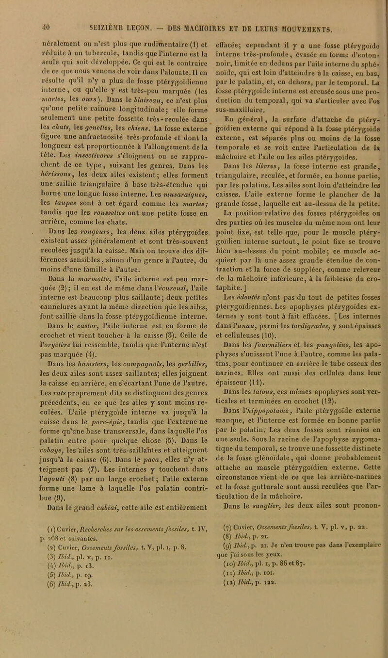 néralcraeiit ou n’est plus que rudimentaire (1) et réiluite à un tubercule, tandis que Tinternc est la seule qui soit développée. Ce qui est le contraire de ce que nous venons de voir dans l’alouatc. 11 en résulte qu’il n’y a plus de l'osse ptérygoïdiennc interne, ou qu’elle y est très-peu marquée (les viarleSj les ours). Dans le blaireau^ ce n’est plus qu une petile l’ainurc lonjjiludinalej elle forme seulement une petite fossette très-reculée dans les chatSj les genettesj les chiens, La fosse externe fi/jure une anfractuosité très-profonde et dont la lonfjueur est proportionnée à l’allongement de la tète. Les insectivores s’éloignent ou se rappro- chent de ce type, suivant les genres. Dans les hérissons, les deux ailes existent; elles forment une saillie triangulaire h base très-étendue qui borne une longue losse interne. Les musaraignes, les taupes sont à cet égard comme les martes; tandis que les roussettes ont une petite fosse en arrière, comme les chats. Dans les rongeurs, les deux ailes ptérygoïdes existent assez généralement et sont très-souvent reculées jusqu’à la caisse. Mais on trouve des dif- férences sensibles, sinon d’un genre à l’autre, du moins d’une famille à l’autre. Dans la marmotte, l’aile interne est peu mar- quée (2); il en est de même dans l’écM?'eMt7, l’aile interne est beaucoup plus saillante; deux petites cannelures ayant la même direction que les ailes, font saillie dans la fosse ptérygoïdienne inteime. Dans le castor, l’aile interne est en forme de crochet et vient toucher à la caisse (3). Celle de Yoryctèro lui ressemble, tandis que l’interne n’est pas marquée (4). Dans les hamsters, les campagnols, les gerbilles, les deux ailes sont assez saillantes; elles joignent la caisse en ai’rière, en s’écartant l’une de l’autre. Les 7-ats proprement dits se distinguent des genres précédents, en ce que les ailes y sont moins re- culées. L’aile plérygoïde interne va jusqu’à la caisse dans le porc-épic, tandis que l’externe ne forme qu’une base transversale, dans laquelle l’os palatin entre pour quelque chose (5). Dans le cobaye, les'ailes sont très-saillantes et atteignent jusqu’à la caisse (6). Dans le paca, elles n’y at- teignent pas (7). Les internes y touchent dans Vagouli (8) par un large crochet; l’aile externe forme une lame à laquelle l’os palatin contri- bue (9). Dans le grand cabiai, cette aile est entièrement ( I ) Cuvier, Recherches sur les ossements fossiles, t. IV, J). îG8 et suivantes. (2) Cuvier, Ossements fossiles, t. V, pl. i, p. 8. (3) Ibid., pl. v, p. II. (\) Ibid., p. i3. (5) Ibid., (). ig. (6) Ibid; p. a3. effacée; cependant il y a une fosse ptérygo'idc interne très-profonde, évasée eu forme d’enton- noir, limitée en dedans par l’aile interne du sphé- no'ide, qui est loin d’atteindre à la caisse, en bas, par le palatin, et, en dehors, par le temporal. La fosse ptérygo'ide interne est ereusée sous une pro- duction du temporal, qui va s’articuler avec l’os sus-maxillaire. En général, la surface d’attache du pléry- go'idien externe qui répond à la fosse ptérygoïde externe, est séparée plus ou moins de la fosse temporale et se voit entre l’artieulation de la mâchoire et l’aile ou les ailes ptérygoïdes. Dans les lièvres, la fosse interne est grande, triangulaire, reculée, et formée, en bonne partie, par les palatins. Les ailes sont loin d’atteindre les caisses. L’aile externe forme le plancher de la grande fosse, laquelle est au-dessus de la petite. La position relative des fosses ptérygo'ides ou des parties où les muscles du même nom ont leur point flxe, est telle que, pour le muscle ptéry- goïdien interne surtout, le point fixe se trouve bien au-dessus du point mobile; ce muscle ac- quiert par là une assez grande étendue de con- tracliom et la force de suppléer, comme releveur de la mâchoire inférieure, à la faiblesse du cro- taphite. ] Les édentés n’ont pas du tout de petites fosses plérygoïdiennes. Les apophyses ptérygoïdes ex- ternes y sont tout à fait effacées. [Les internes dans Vunau, parmi les iardigrades, y sont épaisses et celluleuses (10). Dans les fourmiliers et les pangolins, les apo- physes s’unissent l’une à l’autre, comme les pala- tins, pour continuer en arrière le tube osseux des narines. Elles ont aussi des cellules dans leur épaisseur (11). Dans les tatous, ces mêmes apophyses sont ver- ticales et terminées en crochet (12). Dans l'hippopotame, l’aile ptérygo'ide externe manque, et l’interne est formée en bonne partie par le palatin. Les deux fosses sont réunies en une seule. Sous la racine de l’apophyse zygoma- tique du temporal, se trouve une fossette distincte de la fosse glénoïdalc, qui donne probablement attache au muscle ptérygoïdien externe. Cette circonstance vient de ce que les arrière-narines et la fosse gutturale sont aussi reculées que l’ar- ticulation de la mâchoire. Dans le sanglier, les deux ailes sont pronon- (7) Cuvier, Ossements fossiles, t. V, pl. v, p. aa. (8) Ibid; p. ai. (9) Ibid;i>. ai. Je n’en trouve pas dans Tcxemplairc que j’ai sous les yeux. (10) Ibid; pl. i, p. 86 et 87. (11) Ibid; p. lOt. (la) Ibid; p. laa.