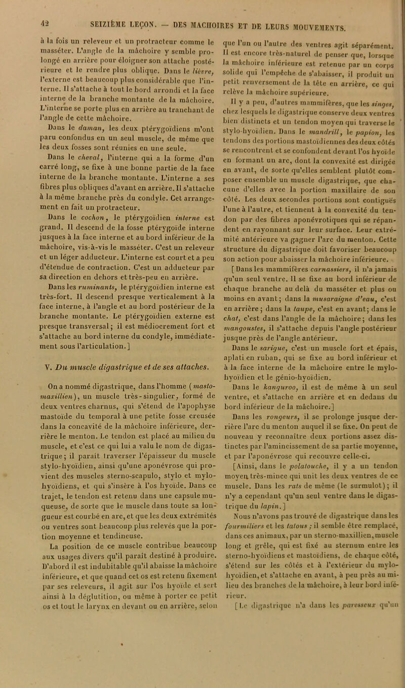 à la fois un releveur et un protractcur comme le massélcr. L’au{»le île la niAchoirc y semble pro- lon(;6 en arrière pour éloi{i;ner son altaclie posté- rieure et le rendre plus oblique. Dans le lièvre, l’exierne est beaucoup plus considérable que Tin- Icrnc. 11 s’attache à tout le bord arrondi et la face interne de la branche montante de la mûcboire. L’iiitci-ne se porte plus en arrière au tranchant de l’anjjle de cette mâchoire. Dans le daman, les deux ptéryijoïdicns m’ont paru confondus en un seul muscle, de même que les deux fosses sont réunies en une seule. Dans le cheval, l’interne qui a la forme, d’un carré lonfj, se fixe à une bonne partie de la face interne de la branche montante. L’interne a ses fibres plus obliques d’avant en arrière. 11 s’attache à la même branche près du condyle. Cet arrange- ment en fait un protracteur. Dans 1e cochon, le ptérygoïdien interne est grand. Il descend de la fosse ptérygoïde interne jusques à la face interne et au bord inférieur de la mâchoire, vis-à-vis le masséter. C’est un releveur et un léger adducteur. L’interne est court et a peu d’étendue de contraction. C’est un adducteur par sa direction en dehors et très-peu en arrière. Dans les ruminants, le ptérygoïdien interne est très-fort. Il descend presque verticalement à la face interne, à l’angle et au bord postérieur de la branche montante. Le ptérygoïdien externe est presque transversal; il est médiocrement fort et s’attache au bord interne du condyle, immédiate- ment sous l’articulation.] V. Du muscle digastrique et de ses attaches. On a nommé digastrique, dans l’homme [maslo- maxillien), un muscle très-singulier, formé de deux ventres charnus, qui s’étend de l’apophyse mastoïde du temporal à une petite fosse creusée dans la concavité de la mâchoire inférieure, der- rière le menton. Le tendon est placé au milieu du muscle, et c’est ce qui lui a valu le nom de digas- trique; il parait traverser l’épaisseur du muscle stylo-hyoïdien, ainsi qu’une aponévrose qui pro- vient des muscles sterno-scapulo, stylo et mylo- byoïdiens, et qui s’insère à l’os hyoïde. Dans ce trajet, le tendon est retenu dans une capsule mu- queuse, de sorte que le muscle dans toute sa lon- gueur est courbé en arc, et que les deux extrémités ou ventres sont beaucoup plus relevés que la por- tion moyenne et tendineuse. La position de ce muscle contribue beaucoup aux usages divers qu’il paraît destiné à produire. D’abord il est indubitable qu’il abaisse la mâchoire inférieure, et que quand cet os est retenu fixement par ses relcveurs, il agit sur l’os hyoïde et sert ainsi à la déglutition, ou même à porter ce petit os et tout le larynx en devant ou en arrière, selon que l’un ou l’autre des ventres agit séparément. Il est encore très-naturel de penser que, lorsque la mâchoire inférieure est retenue par un corps solide qui l’empêche de s’abaisser, il produit un petit renversement de la tête en arrière, ce qui relève 1a mâchoire supérieure. Il y a peu, d’autres mammifères, que les singes, chez lesquels le digastrique conserve deux ventres bien distincts et un tendon moyen qui traverse le stylo-hyoïdien. Dans le mandrill, le papion, les tendons des portions mastoïdiennes des deux côtés SC rencontrent et se confondent devant l’os hyoïde en formant un arc, dont la convexité est dirigée en avant, de sorte qu’elles semblent plutôt com- poser ensemble un muscle digastrique, que cha- cune d’elles avec la portion maxillaire de son côté. Les deux secondes portions sont contiguës l’une à l’autre, et tiennent à la convexité du ten- don par des fibres aponévrotiques qui se répan- dent en rayonnant sur leur surface. Leur extré- mité antérieure va gagner l’arc du menton. Cette structure du digastrique doit favoriser beaucoup son action pour abaisser la mâchoire inférieure. [ Dans les mammifères carnassiers, il n’a jamais qu’un seul ventre. Il se fixe au bord inférieur de chaque branche au delà du masséter et plus ou moins en avant; dans la musaraigne d’eau, c’est en arrière ; dans la taupe, c’est en avant; dans le chat, c’est dans l’angle de la mâchoire; dans les mangoustes, il s’attache depuis l’angle postérieur jusque près de l’angle antérieur. Dans le sarigue, c’est un muscle fort et épais, aplati en ruban, qui se fixe au bord inférieur et à la face interne de la mâchoire entre le mylo- hyoïdien et le génio-hyoïdien. Dans le kanguroo, il est de même à un seul ventre, et s’attache en arrière et en dedans du bord inférieur delà mâchoire.] Dans les rongeurs, il se prolonge jusque der- rière l’arc du menton auquel il se fixe. On peut de nouveau y reconnaître deux portions assez dis- tinctes par l’amincissement de sa partie moyenne, et par l’aponévrose qui recouvre celle-ci. [Ainsi, dans le polatouche, il y a un tendon moyeu très-mince qui unit les deux ventres de ce muscle. Dans les rats de même (le surmulot); il n’y a cependant qu’un seul ventre dans le digas- trique du tapin.'] Nous n’avons pas trouvé de digastrique dans les fourmitiers et les tatous ; il semble être remplacé, dans ces animaux, par un sterno-maxillicn,muscle long et grêle, qui est fixé au sternum entre les sterno-hyoïdiens et mastoïdiens, de chaque côté, s’étend sur les côtés et à l’extérieur du mylo- hyoïdicn,et s’attache en avant, à peu près au mi- lieu des branches de la mâchoire, à leur bord infé- rieur. [Le digastrique n’a dans les paresseux qu’un