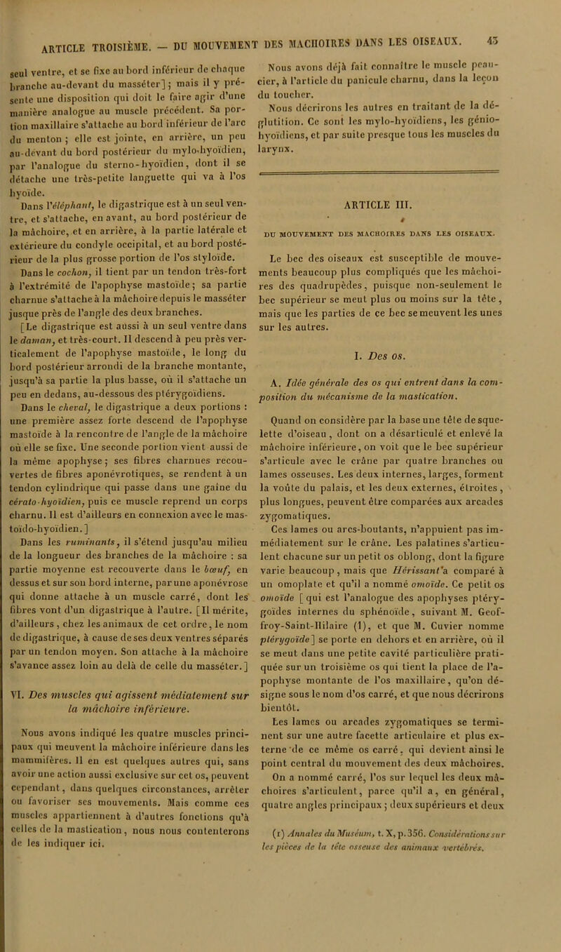 seul ventre, et se fi.ve an bord inférieur de chaque branche au-devant du masséter] j mais il y pré- sente une disposition qui doit le faire agir d’une manière analogue au muscle précédent. Sa por- tion maxillaire s’attache au bord inférieur de l’arc du menton ; elle est jointe, en arrière, un peu au-devant du bord postérieur du mylodiyoïdicn, par l’analogue du sterno-hyoïdien, dont il se détache une très-petite languette qui va à l’os hyoïde. Dans Yéléphaut, le digastrique est à un seul ven- tre, et s’attache, en avant, au bord postérieur de la mâchoire, et en arrière, à la partie latérale et extérieure du condyle occipital, et au bord posté- rieur de la plus grosse portion de l’os slyloïde. Dans le cochon, il tient par un tendon très-fort à l’extrémité de l’apophyse mastoïde; sa partie charnue s’attache à la mâchoire depuis le masséter jusque près de l’angle des deux branches. [Le digastrique est aussi à un seul ventre dans le daman, et très-court. 11 descend à peu près ver- ticalement de l’apophyse mastoïde, le long du bord postérieur arrondi de la branche montante, jusqu’à sa partie la plus basse, où il s’attache un peu en dedans, au-dessous des plérygoïdiens. Dans le cheval, le digastrique a deux portions : une première assez forte descend de l’apophyse mastoïde à la rencontre de l’angle de la mâchoire où elle se fixe. Une seconde portion vient aussi de la même apophyse; ses übres charnues recou- vertes de fibres aponévrotiques, se rendent à un tendon cylindrique qui passe dans une gaine du cérato-hyoïdien, puis ce muscle reprend un corps charnu. 11 est d’ailleurs en connexion avec le mas- toïdo-hyoïdien.] Dans les ruminants, il s’étend jusqu’au milieu de la longueur des branches de la mâchoire : sa partie moyenne est recouverte dans le hœuf, en dessus et sur sou bord interne, par une aponévrose qui donne attache à un muscle carré, dont les fibres vont d’un digastrique à l’autre. [Il mérite, d’ailleurs , chez les animaux de cet ordre, le nom de digastrique, à cause de ses deux ventres séparés par un tendon moyen. Son attache à la mâchoire s’avance assez loin au delà de celle du masséter.] VI. Des muscles qui agissent médialement sur la mâchoire inférieure. Nous avons indiqué les quatre muscles princi- paux qui meuvent la mâchoire inférieure dans les mammilères. Il en est quelques autres qui, sans avoir une action aussi exclusive sur cet os, peuvent cependant, dans quelques circonstances, arrêter ou favoriser scs mouvements, âlais comme ces muscles appartiennent à d’autres fonctions qu’à celles de la mastication, nous nous coulenlcrons de les indiquer ici. Nous avons déjà fait connaître le muscle peau- cicr, à l’article du panicule charnu, dans la leçon du toucher. Nous décrirons les autres en traitant de la dé- glutilion. Ce sont les mylo-hyoïdiens, les génio- hyoïdiens, et par suite presque tous les muscles du larynx. ARTICLE III. t nn MOUVEMENT DES MACHOIRES DANS LES OISEAUX. Le hec des oiseaux est susceptible de mouve- ments beaucoup plus compliqués que les mâchoi- res des quadrupèdes, puisque non-seulement le hec supérieur se meut plus ou moins sur la tête, mais que les parties de ce bec se meuvent les unes sur les autres. I. Des os. A. Idée générale des os qui entrent dans la com- position du mécanisme de la mastication. Quand on eonsidère par la base une télé de sque- lette d’oiseau , dont on a désarticulé et enlevé la mâchoire inférieure, on voit que le bec supérieur s’articule avec le crâne par quatre branches ou lames osseuses. Les deux internes, larges, forment la voûte du palais, et les deux externes, étroites , plus longues, peuvent être comparées aux arcades zygomatiques. Ces lames ou arcs-houtants, n’appuient pas im- médiatement sur le crâne. Les palatines s’articu- lent chacune sur un petit os oblong, dont la figure varie beaucoup , mais que Hérissant’a comparé à un omoplate et qu’il a nommé omo'idc. Ce petit os omoïde [ qui est l’analogue des apophyses ptéry- goïdes internes du sphénoïde, suivant âl. Geof- froy-Saint-llilaire (1), et que Dl. Cuvier nomme ptérygoïde~\ se porte en dehors et en arrière, où il se meut dans une petite cavité particulière prati- quée sur un troisième os qui tient la place de l’a- pophyse montante de l’os maxillaire, qu’on dé- signe sous le nom d’os carré, et que nous décrirons bientôt. Les lames ou arcades zygomatiques se termi- nent sur une autre facette articulaire et plus ex- terne'de ce même os carré, qui devient ainsi le point central du mouvement des deux mâchoires. On a nommé carré, l’os sur lequel les deux mâ- choires s’articulent, parce qu’il a, en général, quatre angles principaux ; deux supérieurs et deux (i) Annales du Muséum, t. X, p.356. Considérations sur les pièces de la tête osseuse des animaux 'vertélnès.