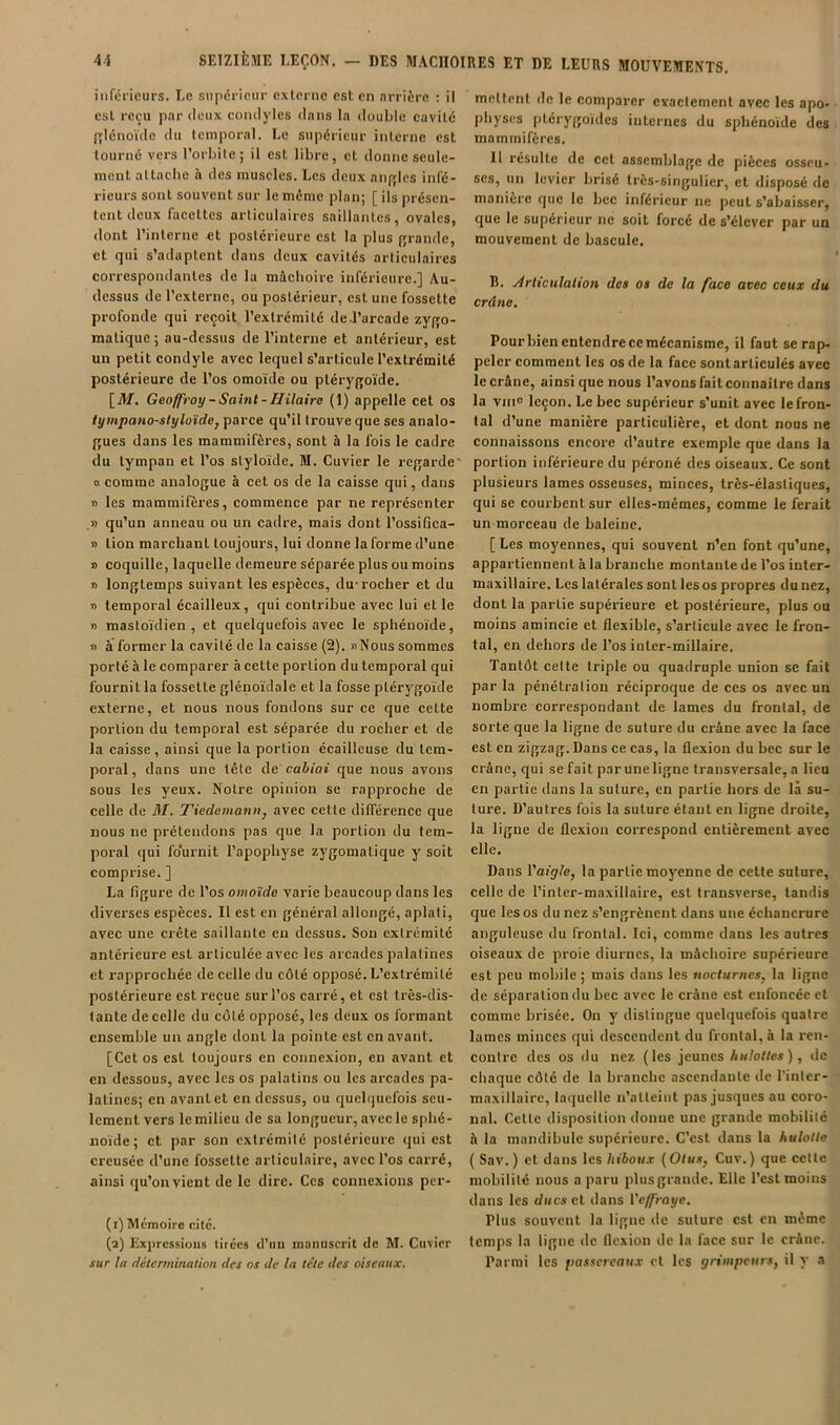 inférieurs. Le supérieur externe est on .irrière ; il est reçu par deux coiidyles dans la double eavilé fiflénoïde du temporal. Le supérieur interne est tourné vers l’orbite; il est libre, et donne seule- ment attache à des muscles. Les deux aiijrles infé- rieurs sont souvent sur le même plan; [ ils présen- tent deux facettes articulaires saillantes, ovales, dont l’interne et postérieure est la plus grande, et qui s’adaptent dans deux cavités articulaires correspondantes de la mâchoire inférieure.] Au- dessus de l’externe, ou postérieur, est une fossette profonde qui reçoit l’extrémité de l’arcade zyfjo- matique ; au-dessus de l’interne et antérieur, est un petit condyle avec lequel s’articule l’extrémité postérieure de l’os omoïde ou ptéryffoïde. \_M, Geoffroy - Saint - Hilaire (1) appelle cet os tympano-shjloïdeJ parce qu’il trouve que ses analo- {»ues dans les mammifères, sont 5 la fois le cadre du tympan et l’os styloïde. M. Cuvier le re^jarde' O comme analogue à cet os de la caisse qui, dans n les mammifères, commence par ne représenter .» qu’un anneau ou un cadre, mais dont l’ossifica- » tion marchant toujours, lui donne la forme d’une » coquille, laquelle demeure séparée plus ou moins ■n longtemps suivant les espèces, du-rocher et du n temporal écailleux, qui contribue avec lui et le n mastoïdien, et quelquefois avec le sphénoïde, » à former la cavité de la caisse (2). «Nous sommes porté à le comparer à cette portion du temporal qui fournit la fossette glénoïdale et la fosse ptérj^goïde externe, et nous nous fondons sur ce que cette portion du temporal est séparée du rocher et de la caisse, ainsi que la portion écailleuse du tem- poral, dans une tête àe'cahiai que nous avons sous les yeux. Notre opinion se rapproche de celle de M. Tiedemannj avec cette différence que nous ne prétendons pas que la portion du tem- poral qui fo'urnit l’apophyse zygomatique y soit comprise. ] La figure de l’os omoïde varie beaucoup dans les diverses espèces. Il est en général allongé, aplati, avec une crête saillante eu dessus. Son extrémité antérieure est articulée avec les arcades palatines et rapprochée de celle du côté opposé. L’extrémité postérieure est reçue sur l’os carré, et est très-dis- tante de celle du côté opposé, les deux os formant ensemble un angle dont la pointe est en avant. [Cet os est toujours en connexion, en avant et en dessous, avec les os palatins ou les arcades pa- latines; en avant et en dessus, ou quelquefois seu- lement vers le milieu de su longueur, avec le sphé- noïde; et par son extrémité postérieure qui est creusée d'une fossette articulaire, avec l’os carré, ainsi qu’on vient de le dire. Ces connexions per- (1) Mémoire cité. (2) Expressions tirées d’iiu manuscrit de M. Cuvier sur la détermination des os de la tète des oiseaux. mettent de le comparer exactement avec les apo- physes ptérygoïdes internes du sphénoïde des mammifères. 11 résulte de cet assemblage de pièces osseu- ses, un levier brisé très-singulier, et disposé de manière que le bec inférieur ne peut s’abaisser, que le supérieur ne soit forcé de s’élever par un mouvement de bascule. B. Àrltculalion des os de la face avec ceux du crâne. Pourbien entendreccmécanisme, il faut se rap- peler comment les os de la face sontarticulés avec le crâne, ainsique nous l’avons fait connaitre dans la viii® leçon. Le bec supérieur s’unit avec lefron- tal d’une manière particulière, et dont nous ne connaissons encore d’autre exemple que dans la portion inférieure du péroné des oiseaux. Ce sont plusieurs lames osseuses, minces, très-élastiques, qui se courbent sur elles-mêmes, comme le ferait un morceau de baleine. [Les moyennes, qui souvent n’en font qu’une, appartiennent à la branche montante de l’os inter- maxillaire. Les latérales sont les os propres du nez, dont la partie supérieure et postérieure, plus ou moins amincie et flexible, s’articule avec le fron- tal, en dehors de l’os inter-millaire. Tantôt celte triple ou quadruple union se fait par la pénétration réciproque de ces os avec un nombre correspondant de lames du frontal, de sorte que la ligne de suture du crâne avec la face est en zigzag. Dans ce cas, la flexion du bec sur le crâne, qui se fait par une ligne transversale, a lieu en partie dans la suture, en partie hors de là su- ture. D’autres fois la suture étant en ligne droite, la ligne de flexion correspond entièrement avec elle. Dans Vaigle, la partie moyenne de cette suture, celle de l’inter-maxillaire, est transverse, tandis que les os du nez s’engrènent dans une échancrure anguleuse du frontal. Ici, comme dans les autres oiseaux de proie diurnes, la mâchoire supérieure est peu mobile ; mais dans les nocturnes, la ligne de séparation du bec avec le crâne est enfoncée et comme brisée. On y distingue quelquefois quatre lames minces qui descendent du frontal, à la ren- contre des os «lu nez (les jeunes hulottes), de chaque côté de la branche ascendante de l’intcr- maxillairc, laquelle n’atteint pasjusquesau coro- nal. Cette disposition donne une grande mobilité à la mandibule supérieure. C’est dans la hulotte ( Sav.) et dans les hiboux (Otus, Cuv.) que cette mobilité nous a paru plusgrandc. Elle Test moins dans les ducs et dans Yeffrayc. Plus souvent la ligne ilc suture est en meme temps la ligne de flexion de la face sur le crâne. Parmi les fiasscrcaux et les giimpetirs, il y a