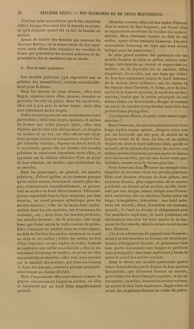 C’est sur celle arliculalion que le bec supérieur s’élève lorsque l’os carré lait la bascule en avant, et qu’il s’abaisse quand cct os fait la bascule en arrière. Avant de traiter des muscles qui meuvent les diverses parties, ou la masse totale du bec supé- rieur, nous allons faire connaîlrc les variétés de forme que présentent les arcaclos palatines et zi/- gomatiques, les os omoïdes et les os carrés, C. Des arcades palatines. Les arcades palatines [qui répondent aux os palatins des mammifères] varient considérable- ment pour la forme. Dans les oiseaux de proie diurnes, elles sont larjTcs, séparées entre elles, minces, creusées en gouttière du côté du palais. Dans les nyclériens, elles ont à peu près la même forme, mais elles sont infiniment moins larges. Celles des perroquets ont une conformation toute particulière; elles sont larges, épaisses, et au lieu de former une voûte presque plate, elles sont déjelées sur le côté très-obliquement, et dirigées en arrière et en bas, où elles offrent une large lame presque carrée ou triangulaire, et jdont l’an- gle inférieur fourchu , dépasse en bas le bord de la mandibule, quand elle est fermée. Ces arcades palatines se réunissent eependanl entre elles, et appuient sur la cloison orbitaire. C’est au point de leur réunion, en arrière, que s’articulent les os omoïdes. Dans les passereaux, en général, les arcades palatines, d’abord grêles, et ne formant presque qu’un stylet osseux, deviennent ensuite plus lar- ges, s’amincissent considérablement, et présen- tent en arrière un bord libre échancré. Elles com- posent cependant dans la ligne moyenne, par leur réunion , un canal presque cylindrique pour les arrière-narines; [telle est du moins leur confor- mation dans les pies-grièches, les étourneaux, les corbeaux, etc.; mais dans les martins-pêcheurs, ces arcades forment, dès le principe, une large lame, qui ferme mieux la voûte osseuse du palais. Elles s’unissent en arrière dans un court espace, au delà de l’orifice des arrière-narines et en avant en deçà de cet orifice.] Celles des calaos, au lieu d’être disposées en une espèce de voûte, forment au contraire une saillie considérable; elles se ré- trécissent beaucoup en arrière, au point où elles reçoivent les os omoïdes; elles sont aussi percées par le conduit des narines, qui dans ces oiseaux cl dans les toucans, remonte presque perpendi- culairement au-dessus de l’œil. Dans l'engoulevent clics sont minces comme du papier, excessivement larges en arrière, où elles se terminent par un bord libre singulièrement arrondi. [Dans les coucous, elles ont une espèce d’éperon dans le milieu de leur longueur, par lequel elles se rapprochent au-devant de l’orifice des arrière- narines. Elles s’unissent ensuite au delà de cct orifice, après s’êire amincies beaucoup. Les pics ressemblent beaucoup au type que nous avons indiqué pour les passereaux.] Le plus grand nombre des gallinacés ont ces arcades formées de lieux os grêles, minces, très- longs, Irès-écarlés en devant et rapprochés en arrière, où ils reçoivent les os omoïdes. Elles s’appuient, de ce côté, par une lame qui s’élève de leur face supérieure conire le bord inférieur de la cloison inler-orbilaire, qui les sépare et les dépasse dans l'outarde, et forme, avec la con- cavité de la lame en question, le canal des arrière- narines; tandis que la partie principale de ces mêmes lames est horizontale, élargie et creusée en canal, de manière à représenter assez bien les petites fosses ptérygoïdes. [Les /j/jeonsoffrent, en petit, cette même orga- nisation. ] Dans l'autruche, les arcades palatines sont deux longs stylets osseux aplatis, éloignés entre eux par un intervalle qui fait près de moitié de la largeur totale de la base du bec, et au milieu duquel est situé le bord inférieur libre, gonflé et arrondi, de la cloison des orbites. En arrière, ces mêmes arcades s’unissent par une espèce de biseau avec les os omoïdes, qui ont une forme toute par- ticulière, comme nous le dirons plus bas. Nous trouvons dans ^casoar un exemple très- singulier de structure dans les arcades palatines. Elles sont formées chacune de deux pièces, une moyenne étroite, plus rapprochée de sa corres- pondante en devant qu’en arrière, où elle s’arti- cule par une longue suture oblique avec l’extré- mité antérieure des os omoïdes; l’autre pièce est large, triangulaire, très-mince : son bord anté- rieur est dentelé, libre, l’extérieur est convexe, arrondi; il s’unit en devant et obliquement avec l’os maxillaire supérieur ; le bord postérieur est entièrement uni avec les trois quarts de la lon- gueur de l’os omoïde, mais la suture en est encore bien distincte. [ La grue a beaucoup de rapport avec l'outarde; minces et Irès-écartées en devant, ses arcades pa- latines s’élargissent bientôt, et présentent dans leur partie horizontale une longue et profonde fosse plérygoïde : leur lame supérieure y forme de même le canal des arrière-narines. Dans le héron, ces arcades présentent quatre lames descendantes par la flexion de leur portion horizontale, qui s’écartent d’avant en arrière, pour former les deux fosses ptérygoïdes, et qui in- terceptent, au milieu, Iccanaldcsarrièrc-narines, au moyen de leur lame supérieure. Rapprochés en avant, les os palatins forment la voûte du palais.