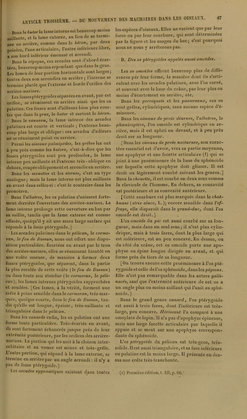 ÎDaiis le hutorU Inmeinterncesl beaucoup moins saillante, et la lame externe, au lieu île se termi- ner en arrière, comme dans le héron, par deux ;( pointes, l’une articulaire, l’aulre inférieure libre, a son bord inférieur émoussé et arrondi. I Dans la cigogne, ces arcades sont d abord écar- 9 tées, beaucoupmoins cependant ipiedans la jjrue. Les lames de leur portion horizontale sont laifjes j toutes deux son arrondies en arrière; 1 interne se termine plutôt que rexterne et borde l’oriCce des arrière-narines. Les fossespléry.qoïdes séparées en avant, par cet orifice, se réunissent en arrière ainsi que les os palatins. Ces fosses sont d’ailleurs bien plus cour- tes que dans la grue, le butor et surtout le héron. Dans le vanneau, la lame interne des arcades palatines est courte et verticale ; l’externe beau- coup plus large et oblique : ces arcades d ailleurs ne se réunissent point en arrière. Parmi les oiscn«.r/ja/wn'/jcdos, les ÿ/-é6es les ont à peu près comme les butors, c’est-à-dire que les fosses plérygoides sont peu profondes, la lame interne peu saillante et l’externe très-oblique en dehors, coupée obliquement et aiTondieen arrière. Dans les mouettes et les sternes, c’est un type analogue; mais la lame interne est plus saillante en avant dans celles-ci : c’est le contraire dans les premières. Dans l'albatros, les os palatins s’unissent forte- ment derrière l’ouverture des arrière-narines. La lame interne prolonge cette ouverture en bas par sa saillie, tandis que la lame externe est comme efiacéc, quoiqu’il y ait une assez large surface qui réponde à la fosse ptérygoïde.] Les arcades palatines dans le pélican, le cormo- ran, le fou de Bassan, nous ont offert une dispo- sition particulière. Écartées en avant par le trou des arrière-narines, elles se réunissent bientôt en une voûte osseuse, de manière à former deux fosses plérygoides, que séparent, dans la partie la plus reculée de cette voûte (le fou do Bassan) ou dans toute son étendue (le cormoran, le péli- can), les lames internes ptérygoïdes rapprochées et soudées. [Ces lames, à la vérité, forment une crête à peine sensible dans le cormoran, très-mar- quée, quoique courte, dans le fou de Bassan, tan- dis qu’elle est longue, épaisse, très-saillante et triangulaire dans le pélican. Dans les canards enfin, les os palatins ont une forme toute particulière. Très-écartés en avant, ils sont lorlemenl échancrés jusque près de leur extrémité postérieure, parles orifices des arrière- narines. La portion qui les unit à la cloison inter- orbitaire et au vomer est mince et très-grêle. L’aulre portion, qui répond à la lame e,xterne, se termine en arrière par un angle arrondi : il n’y a pas de fosse ptérygoïde.] Les arcades zygomatiques existent dans toutes les espèces d’oiseaux. Elles ne varient que par leur force ou par leur courbure, qui sont déterminées par la figure et les usages du bec; c’est pourquoi nous ne nous y arrêterons pas. D. Des os ptérygoïdes appelés aussi omoïdes. Les os omoïdes offrent beaucoup plus de diffé- rences par leur forme, la manière dont ils s’arti- culent avec les arcades palatines, avec l’os carré, et souvent avec la base du crâne, par leur plus ou moins d’écartement en arrière, etc. Dans les perroquets et les jiassereatix, ces os sont grêles, cylindriques, sans aucune espèce d’é- minence. Dans les oiseaux de proie diurnes, l'albatros, le phœnicoptùre, l’os omoïde est cylindrique en ar- rière, mais il est aplati eu devant, et à peu près droit sur sa longueur. [Dans les oiseaux de proio nocturnes, son carac- tère essentiel est d’avoir, vers sa partie moyenne^ une apophyse et une facette articulaire (1) qui se joint à une proéminence de la base du sphénoïde sur laquelle cette apophyse doit glisser. Il est droit ou légèrement courbé suivant les genres.] Dans la chouette, il est courbé en deux sens comme la clavicule de l’homme. En dehors, sa concavité est postérieure et sa convexité antérieure. [Cetté courbure est plus marquée dans le chat- huant {strix aluco, L.); encore sensible dans l'cf- fraye, elle disparaît dans le grand-duc, dont l’os omoïefe est droit.] L’os omoïde du pic est aussi courbé sur sa lon- gueur, mais dans un seul sens ; il n’est plus cylin- drique, mais à trois faces, dont la plus large qui est inférieure, est un peu concave. En dessus, ou du côté du crâne, cet os omoïde porte une apo- physe ou épine longue dirigée eu avant, et qui forme près du tiers de sa longueur. [On trouve encore celte proéminence à l’os pté- rygoïde et celle de l’os sphénoïde, dans les pigeons. Elle n’est pas remarquable dans les autres galli- nacés, sauf que l’extrémité antérieure de cet os a un angle plus ou moins saillant qui l’unit au sphé- noïde. ] Dans le grand genre canard, l’os ptérygoïde est aussi à trois faces, dont l’inférieure est très- large, peu concave. Hérissant l’a comparé à une omoplate de lapin. Il n’a pas d’apophj'se épineuse, mais une large facette articulaire par laquelle il appuie et se meut sur une apophyse correspon- dante du sphénoïde. L’os ptérygoïde du pélican est très-gros, très- solide. Il est aussi triangulaire, et sa face inférieure ou palatine est la moins large. 11 présente eu des- sus une crête Irès-lranchantc. (i) Première édition, l. 111, p. 6G.*