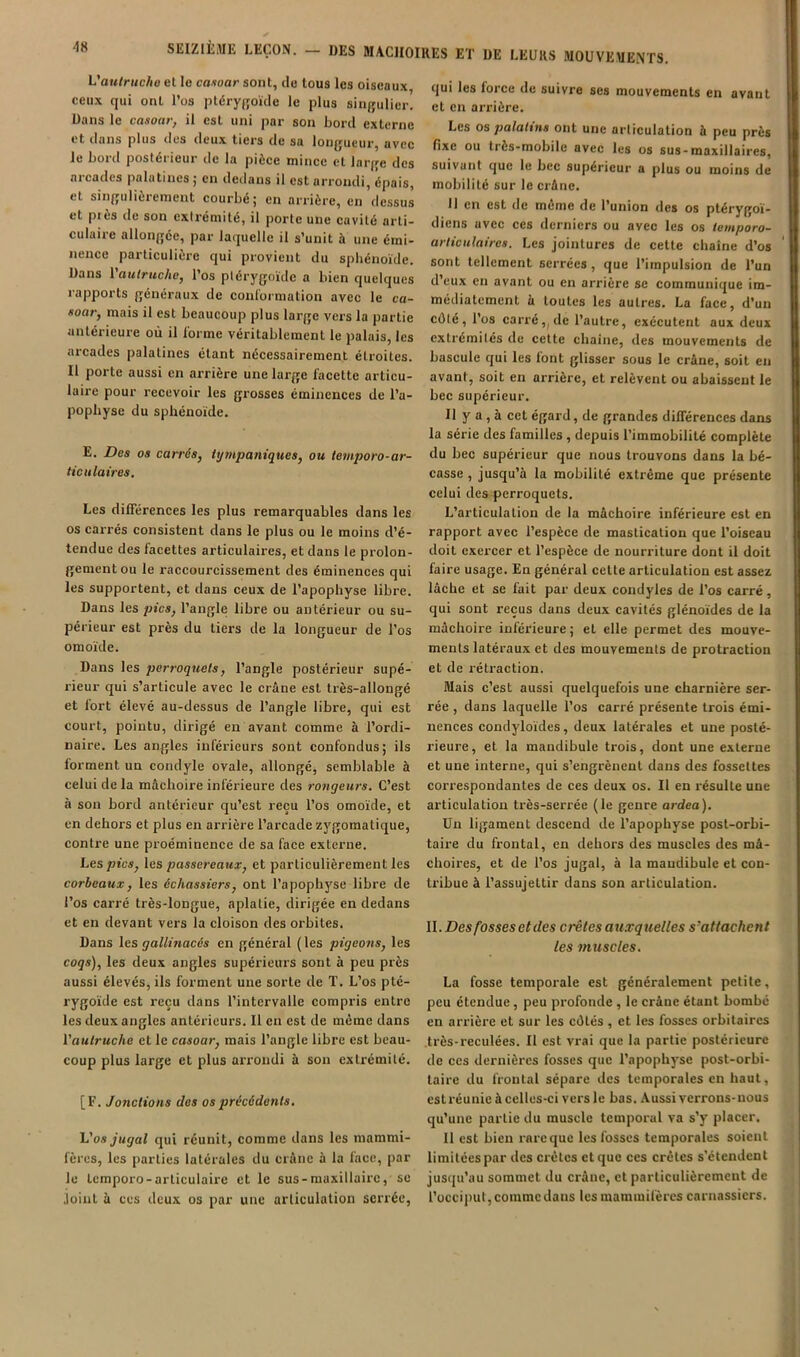 L autruche et lo canoar sont, cio tous les oiseaux ceux qui ont l’os ptéryjîoïcle le plus siiijîulicr. Dans le casoar, il est uni par son bord externe et dans plus clos deux tiers de sa longueur, avec le bord postérieur de la pièce mince et large des arcades palatines ; en dedans il est arrondi, épais, et singulièrement courbé; en arrière, en dessus et près de son extrémité, il porte une cavité arti- culaire allongée, par laquelle il s’unit à une émi- nence particulière qui provient du sphénoïde. Dans l'autruche, l’os plérygoïde a bien quelques rapports généraux de conl'oimation avec le ca- soar, mais il est beaucoup plus large vers la partie antérieure où il forme véritablement le palais, les arcades palatines étant nécessairement étroites. Il porte aussi en arrière une large facette articu- laire pour recevoir les grosses éminences de l’a- pophyse du sphénoïde. E. Des os carrés, tympaniques, ou iemporo-ar- ticulaires. Les différences les plus remarquables dans les os carrés consistent dans le plus ou le moins d’é- tendue des facettes articulaires, et dans le prolon- gement ou le raccourcissement des éminences qui les supportent, et dans ceux de l’apophyse libre. Dans les pics, l’angle libre ou antérieur ou su- périeur est près du tiers de la longueur de Tos omoïde. Dans les jjerroquels, l’angle postérieur supé- rieur qui s’articule avec le crâne est très-allongé et fort élevé au-dessus de l’angle libre, qui est court, pointu, dirigé en avant comme à l’ordi- naire. Les angles inférieurs sont confondus; ils forment un condyle ovale, allongé, semblable à celui delà mâchoire inférieure des rongeurs. C’est à son bord antérieur qu’est reçu l’os omoïde, et en dehors et plus en arrière l’arcade zygomatique, contre une proéminence de sa face externe. Les pics, les passereaux, et particulièrement les corbeaux, les échassiers, ont l’apophyse libre de l’os carré très-longue, aplatie, dirigée en dedans et en devant vers la cloison des orbites. Dans les gallinacés en général (les pigeons, les coqs), les deux angles supérieurs sont à peu près aussi élevés, ils forment une sorte de T. L’os pté- rygoïde est reçu dans l’intervalle compris entre les deux angles antérieurs. Il en est de même dans l'autruche et le casoar, mais l’angle libre est beau- coup plus large et plus arrondi à son extrémité. [F. Jonctions des os précédents. L'osjugal qui réunit, comme dans les mammi- fères, les parties latérales du crâne à la face, par le Icmporo - articulaire et le sus-maxillaire, se Joint à ces deux os par une articulation serrée. qui les force de suivre ses mouvements en avant et en arrière. Les os palatins ont une articulation à peu près fixe ou très-mobile avec les os sus-maxillaires, suivant que le bec supérieur a plus ou moins de mobilité sur le crâne, 11 en est de même de l’union des os ptérygoï- diens uvee ces derniers ou avec les os temporo- articulaires. Les jointures de cette chaîne d’os sont tellement serrées, que l’impulsion de l’un d’eux en avant ou en arrière se communique im- médiatement â toutes les autres. La face, d’un cdlé, l’os carré,J de l’autre, exécutent aux deux extrémités de cette chaîne, des mouvements de bascule qui les font glisser sous le crâne, soit en avant, soit en arrière, et relèvent ou abaissent le bec supérieur. Il y a, à cet égard, de grandes différences dans la série des familles, depuis l’immobilité complète du bec supérieur que nous trouvons dans la bé- casse , jusqu’à la mobilité exti'éme que présente celui des perroquets. L’articulation de la mâchoire inférieure est en rapport avec l’espèce de mastication que l’oiseau doit exercer et l’espèce de nourriture dont il doit faire usage. En général cette articulation est assez lâche et se fait par deux condyles de Tos carré, qui sont reçus dans deux cavités glénoïdes de la mâchoire inférieure ; et elle permet des mouve- ments latéraux et des mouvements de protraction et de rétraction. Mais c’est aussi quelquefois une charnière ser- rée , dans laquelle Tos carré présente trois émi- nences condyloïdes, deux latérales et une posté- rieure, et la mandibule trois, dont une externe et une interne, qui s’engrènent dans des fossettes correspondantes de ces deux os. Il en résulte une articulation très-serrée (le genre ardea). Un ligament descend de l’apophyse post-orbi- taire du frontal, en dehors des muscles des mâ- choires, et de Tos jugal, à la mandibule et con- tribue à l’assujettir dans son articulation. II. Des fosses et des d'étés auxquelles s’attachent les muscles. La fosse temporale est généralement petite, peu étendue, peu profonde , le crâne étant bombé en arrière et sur les côtés , et les fosses orbitaires .très-reculées. Il est vrai que la partie postérieure de ces dernières fosses que l’apophyse post-orbi- taire du frontal sépare des temporales en haut, est réunie à celles-ci vers le bas. Aussi verrons-nous qu’une partie du muscle temporal va s’y placer. Il est bien rare que les fosses temporales soient limitées par des crêtes et que ces crêtes s’étendent jusiju’au sommet du crâne, et particulièrement de l’occiput,commedans les mammifères carnassiers.