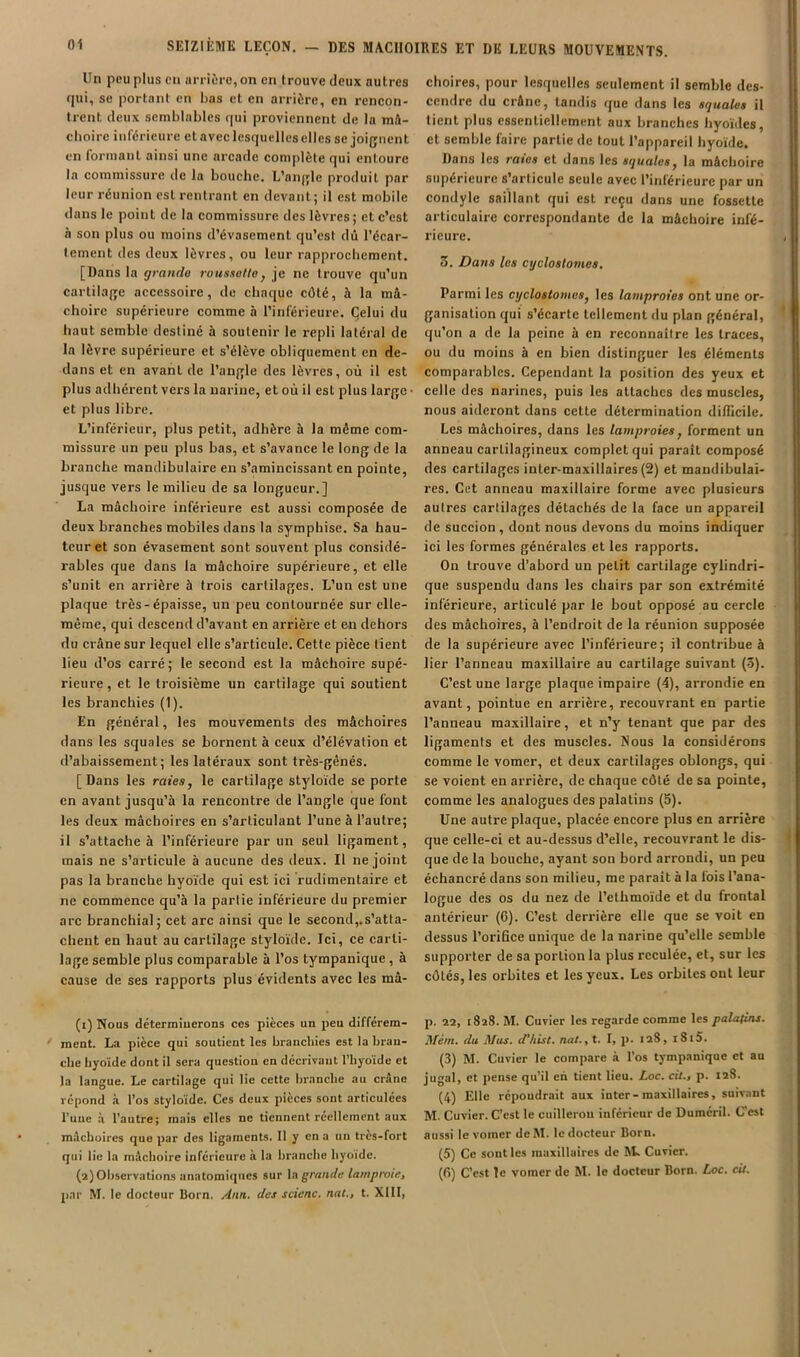 Un peu plus eu unièro,on en trouve deux autres qui, se portant en bas et en arrière, en reneon- Irent deux semblables qui proviennent de la mâ- choire inférieure et avec lesquelles elles se joignent en formant ainsi une arcade complète qui entoure la commissure de la bouche. L’angle produit par leur réunion est rentrant en devant ; il est mobile dans le point de la commissure des lèvres; et c’est à son plus ou moins d’évasement qu’est dû Técar- lement des deux lèvres, ou leur rapprochement. [Dans la grande roussette, je ne trouve qu’un cartilage accessoire, de chaque côté, à la mâ- choire supérieure comme à l’inférieure. Çelui du haut semble destiné à soutenir le repli latéral de la lèvre supérieure et s’élève obliquement en de- dans et en avant de l’angle des lèvres, où il est plus adhérent vers la narine, et où il est plus large • et plus libre. L’inférieur, plus petit, adhère à la même com- missure un peu plus bas, et s’avance le long de la branche mandibulaire en s’amincissant en pointe, jusque vers le milieu de sa longueur.] La mâchoire inférieure est aussi composée de deux branches mobiles dans la symphise. Sa hau- teur et son évasement sont souvent plus considé- rables que dans la mâchoire supérieure, et elle s’unit en arrière à trois cartilages. L’un est une plaque très-épaisse, un peu contournée sur elle- même, qui descend d’avant en arrière et en dehors du crâne sur lequel elle s’articule. Cette pièce tient lieu d’os carré; le second est la mâchoire supé- rieure , et le troisième un cartilage qui soutient les branchies (1). En général, les mouvements des mâchoires dans les squales se bornent à ceux d’élévation et d’abaissement; les latéraux sont très-gênés. [Dans les raies, le cartilage styloïde se porte en avant jusqu’à la rencontre de l’angle que font les deux mâchoires en s’articulant l’une à l’autre; il s’attache à l’inférieure par un seul ligament, mais ne s’articule à aucune des deux. Il ne joint pas la branche hyoïde qui est ici rudimentaire et ne commence qu’à la partie inférieure du premier arc branchial; cet arc ainsi que le second,.s’atta- chent en haut au cartilage styloïde. Ici, ce carti- lage semble plus comparable à l’os tympanique, à cause de ses rapports plus évidents avec les mâ- (1) Nous determiuerons ces pièces un peu différem- ment. La pièce qui soutient les branchies est la bran- che hyoïde dont il sera question en décrivant l’hyoïde et la langue. Le cartilage qui lie cette hranche au cr.âne répond à Tos styloïde. Ces deux pièces sont articulées l’une à l’autre; mais elles ne tiennent réellement aux mâchoires que par des ligaments. Il y en a un très-fort qui lie la mâchoire inférieure à la branche hyoïde. (2) Observations anatomiques sur \a grande lamproie, par M. le docteur Uorn. Ann. des scienc. nat„ t. XIII, choires, pour lesquelles seulement il semble des- ;i cendre du crâne, tandis que dans les squales il tient plus essentiellement aux branches hyoïdes, et semble faire partie de tout l’appareil hyoïde. i! Dans les raies et dans les squales, la mâchoire ;! supérieure s’articule seule avec l’inférieure par un ^ condyle saillant qui est reçu dans une fossette | articulaire correspondante de la mâchoire infé- | rieure. , | 3. Dans les cycloslomes. Parmi les cycloslomes, les lamproies ont une or- . ganisation qui s’écarte tellement du plan général, J qu’on a de la peine à en reconnaître les traces, ou du moins à en bien distinguer les éléments j'; comparables. Cependant la position des yeux et j| celle des narines, puis les attaches des muscles, |; nous aideront dans cette détermination diflicile. Les mâchoires, dans les lamproies, forment un !! anneau cartilagineux complet qui paraît composé j[ des cartilages inter-maxillaires (2) et mandibulai- rcs. Cet anneau maxillaire forme avec plusieurs jl autres cartilages détachés de la face un appareil 1, de succion, dont nous devons du moins indiquer i! ici les formes générales et les rapports. ij; On trouve d’abord un petit cartilage cylindri- I que suspendu dans les chairs par son extrémité | inférieure, articulé par le bout opposé au cercle | des mâchoires, à l’endroit de la réunion supposée î de la supérieure avec l’inférieure; il contribue à || lier l’anneau maxillaire au cartilage suivant (-5). jj C’est une large plaque impaire (4), arrondie en j avant, pointue en arrière, recouvrant en partie j l’anneau maxillaire, et n’y tenant que par des ligaments et des muscles. Nous la considérons comme le vomer, et deux cartilages oblongs, qui se voient en arrière, de chaque côté de sa pointe, comme les analogues des palatins (5). Une autre plaque, placée encore plus en arrière que celle-ci et au-dessus d’elle, recouvrant le dis- ' que de la bouche, ayant son bord arrondi, un peu échancré dans son milieu, me paraît à la fois l’ana- logue des os du nez de l’ethmoïde et du frontal antérieur (C). C’est derrière elle que se voit en dessus l’orifice unique de la narine qu’elle semble supporter de sa portion la plus reculée, et, sur les côtés, les orbites et les yeux. Les orbites ont leur p. 22, 1828. M. Cuvier les regarde comme les palatins. Mém. du Mus. d’/iisl. nat., t. I, p. 128, i8i5. (3) M. Cuvier le compare à l’os tympanique et au jugal, et pense qu’il en tient lieu. Loc. cil., p. 128. (4) Elle repoudrait aux inter-maxillaires, suiv.int M. Cuvier. C’est le cuillerou inferieur de Dumcril. C’est aussi le vomer de M. le docteur Born. (5) Ce sont les maxillaires de RL Cuvier. (fi) C’est le vomer de M. le docteur Born. Loc. cil.
