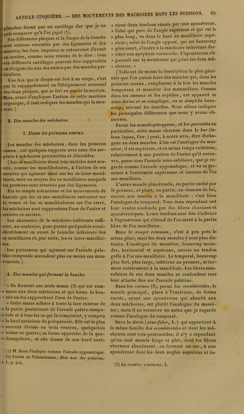 plancher formé par un cartilage dur que je ne puis comparer qu’à l’os jugal (1). Ces dillérentes plaques et le disque de la bouche sont retenus ensemble par des ligaments et des muscles; les deux impaires se recouvrent d’avant en arrière, comme nous venons de le dire : tous ces différents cartilages peuvent être rapprochés ou éloignés les uns des autres par des muscles par- ticuliers. Une fois que le disque est fixé à un corps , c est par le rapprochement ou l’éloignement successif des deux plaques, que se fait en partie la succion. Mais, avant d’expliquer l’action de cette machine organique, il faut indiquer les muscles qui la meu- vent. ] B. Des muscles dos mâchoires. I. Dans les poissons osseux. tes muscles des mâchoires, dans les poissons osseux, ont quelques rapports avec ceux des ser- pents à mâchoires protractiles et dilatables. [Les os maxillaires étant très-mobiles sont sou- mis, comme les mandibulaires, à l’action de ces muscles qui agissent aussi sur les os inter-maxil- laires, mais au moyen des os maxillaires auxquels les premiers sont attachés par des ligaments. Par ce simple mécanisme et les mouvements de bascule que les os sus-maxillaires exécutent sur le vomer et les os mandibulaires sur l’os carré, les mâchoires sont rapprochées l’une de l’autre et retirées en arrière. Les abaisseurs de la mâchoire inférieure suffi- sent, au contraire, pour porter quelquefois consi- dérablement en avant la branche inférieure des os maxillaires et, par suite, les os inter-maxillai- res. Les puissances qui agissent sur l’arcade pala- tino-temporale secondent plus ou moins ces mou- vements.] A. Des muscles qui ferment la bouche. U Ils forment une seule masse (2) qui est com- » mune aux deux mâchoires et qui ferme la bou- » che en les rapprochant l’une de l’autre. » Cette masse adhère à toute la face externe de 1) la partie postérieure de l’arcade palato-tempo- » raie et à tous les os qui la composent, y compris » le bord antérieur du préopercule. Elle est le plus » souvent divisée en trois ventres, quelquefois * même en quatre; sa forme approche de la qua- » drangulaire, et elle donne de son bord anté- (i) M. Born l’indique comme l’arcade zygomatique, (a) Cuvier et Valenciennes, Hist. nat. des poissons, t. I, p. 4o4. » rieur deux tendons réunis par une aponévrose. » Celui qui part de l’angle supérieur et qui est le » plus long, va dans le haut au maxillaire supé- » rieur; celui de l’angle opposé, qui est beaucoup » plus court, s’insère à la mâchoire inférieure der- » rière son apophyse coronoïde. L’aponévrose s’é- 1) panouit sur la membrane qui joint les deux mâ- » choires. » [Telle est du moins la description la plus géné- rale que l’on puisse faire des muscles qui, dans les poissons osseux, remplacent à la lois les muscles temporaux et masséter des mammifères. Comme dans les oiseaux et les reptiles, cet appareil se sous-divise et se complique, ou se simplifie beau- coup, suivant les familles. Nous allons indiquer les principales différences que nous y avons ob- servées. Parmi les acanthoplérygiens, et les percotdes en particulier, cette masse charnue dans le bar {la~ brax lupus, Cuv.) peut, à notre avis, être distin- guée en deux muscles. L’un est l’analogue du mas- séter; il est supérieur, et en même temps extérieur, relativement à une portion de l’autre qu’il recou- vre, passe sous l’arcade sous-orbitaire, que je re- garde comme l’arcade zygomatique, et va se Jer- miner à l’extrémité supérieure et interne de l’os sus-maxillaire. L’autre muscle plus étendu, en partie caebé par le premier, et placé, en partie, au-dessous de lui, envoie son tendon à la mandibule : c’est bien l’analogue du temporal. Tous deux cependant ont leur ventre confondu par des fibres charnues et aponévrotiques. Leurs tendons sont liés d’ailleurs à l’aponévrose qui s’étend de l’os carré à la partie libre de l’os maxillaire. Dans le rouget commun, c’est à peu près le même plan ; mais les deux muscles y sont plus dis- tincts. L’analogue du masséter, beaucoup moin- dre, horizontal et supérieur, envoie un tendon grêle à l’os sus-maxillaire. Le temporal, beaucoup plus fort, plus large, inférieur au premier, se ter- mine entièrement à la mandibule. Les fibres mus- culaires de ces deux muscles se confondent vers leur attache fixe sur l’arcade palatine. Dans les caranx (3), parmi les scoinbérotdes, le muscle principal, placé à l’extérieur, de forme carrée, ayant une aponévrose qui aboutit aux deux mâchoires, est plutôt l’analogue du massé- ter; mais il en recouvre un autre que je regarde comme l’analogue du temporal. Dans la dorée (seus faber, L.) qui appartient à la même famille des scoinbérotdes et dont les mâ- choires sont très-protractiles, il n’y a cependant qu’un seul muscle large et plat, dont les fibres charnues aboutissent, en formant un arc , à une aponévrose dont les deux angles supérieur et in- (3) Le scamber trachums, L.