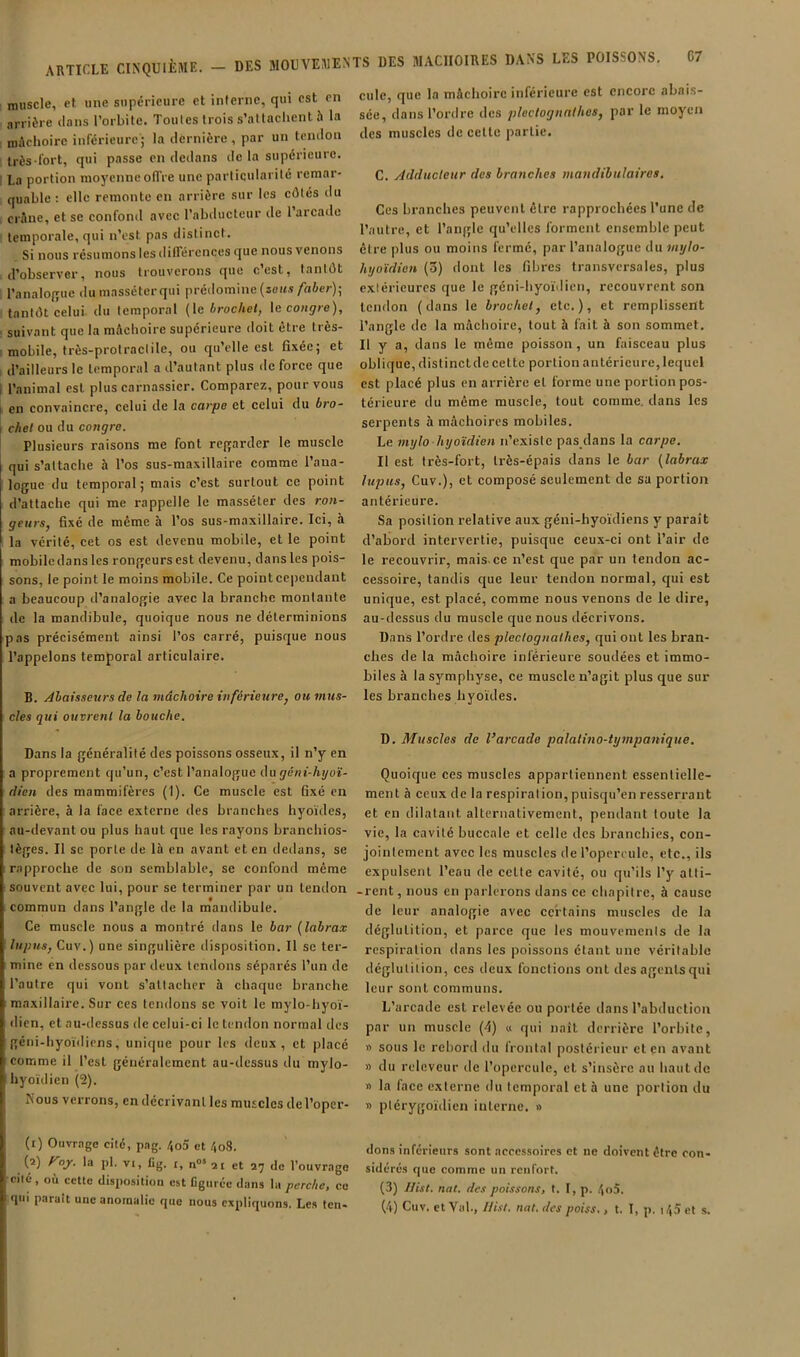 muscle, et une supérieure et interne, qui est en arrière dans l’orbite. Toutes trois s’attachent h la mAclioire inférieure ; la dernière, par un tendon très fort, qui passe en dedans de la supérieure. I La portion moyenne offre une particularité remar- quable : elle remonte en arrière sur les côtés du crâne, et se confond avec l’abducteur de 1 arcade temporale, qui n’est pas distinct. Si nous résumons les différences que nous venons d’observer, nous trouverons que c’est, tantôt l’analofTue du masséterqui prédomine (soiw/aier); tantôt celui du temporal (le brochet, \e congre), suivant que la mâchoire supérieure doit être très- mobile, très-protraclile, ou qu’elle est fixée; et d’ailleurs le temporal a d’autant plus de force que i l’animal est plus carnassier. Comparez, pour vous I en convaincre, celui de la carpe et celui du bro- \ chef ou du congre. Plusieurs raisons me font rct^arder le muscle qui s’attache à l’os sus-maxillaire comme l’ana- logue du temporal; mais c’est surtout ce point d’attache qui me rappelle le masséter des ron- geurs, fixé de même à l’os sus-ma.\illaire. Ici, à la vérité, cet os est devenu mobile, et le point mobile dans les rongeurs est devenu, dans les pois- sons, le point le moins mobile. Ce point cependant a beaucoup d’analogie avec la branche montante de la mandibule, quoique nous ne déterminions pas précisément ainsi l’os carré, puisque nous l’appelons temporal articulaire. B. j4baisseurs de la mâchoire inférieure, ou mus- cles qui ouvrent la bouche. Dans la généralité des poissons osseux, il n’y en a proprement qu’un, c’est l’analogue dugéni-hijot- dien des mammifères (1). Ce muscle est fixé en arrière, à la face externe des branches hyoïdes, au-devant ou plus haut que les rayons branchios- tèges. Il se porte de là en avant et en dedans, se rapproche de son semblable, se confond même souvent avec lui, pour se terminer par un tendon commun dans l’angle de la mandibule. Ce muscle nous a montré dans le bar {labrax lupus, Cuv.) une singulière disposition. Il se ter- mine en dessous par deux tendons séparés l’un de l’autre qui vont s’attacher à chaque branche maxillaire. Sur ces tendons se voit le mylo-liyoï- dicn, et au-dessus de celui-ci le tendon normal des géni-hyoïdiens, unique pour les deux, et placé comme il l’est généralement au-dessus du mylo- hyoïdien (2). Nous verrons, en décrivant les muscles del’oper- (t) Ouvrage cité, pag. /,o5 et 4o8. (2) roy. la pl. VI, Cg. I, n« ai et 27 de l’ouvrage cité, où cette disposition est figurée dans la perche, ce qui parait une anomalie que nous expliquons. Les ten- ciile, que la mâchoire inférieure est encore abais- sée, dans l’ordre des pleclognnlhcs, par le moyen des muscles de celle partie. C. Adducleur des branches mandibulaires. Ces branches peuvent être rapprochées l’une de l’autre, et l’angle qu’elles forment ensemble peut être plus ou moins fermé, par l’analogue du mylo- hyo'idien (3) dont les fibres transversales, plus extérieures que le géni-hyoïilien, recouvrent son tendon (dans le brochet, etc.), et remplissent l’angle de la mâchoire, tout à fait à son sommet. Il y a, dans le même poisson, un faisceau plus oblique, distinctde celte portion antérieure, lequel est placé plus en arrière et forme une portion pos- térieure du même muscle, tout comme, dans les serpents à mâchoires mobiles. Le mylo hyoïdien n’existe pas dans la carpe. Il est très-fort, très-épais dans le bar (labrax lupus, Cuv.), et composé seulement de sa portion antérieure. Sa position relative aux géni-hyoïdiens y parait d’abord intervertie, puisque ceux-ci ont l’air de le recouvrir, mais-ce n’est que par un tendon ac- cessoire, tandis que leur tendon normal, qui est unique, est placé, comme nous venons de le dire, au-dessus du muscle que nous décrivons. Dans l’ordre des pleclognalhes, qui ont les bran- ches de la mâchoire inférieure soudées et immo- biles à la symphyse, ce muscle n’agit plus que sur les branches hyoïdes. D. Muscles de Varcade palalino-tympanique. Quoique ces muscles appartiennent essentielle- ment à ceux de la respiration,puisqu’enresserrant et en dilatant alternativement, pendant toute la vie, la cavité buccale et celle des branchies, con- jointement avec les muscles de l’opercule, etc., ils expulsent l’eau de celte cavité, ou qu’ils l’y alti- -rent,nous en parlerons dans ce chapitre, à cause de leur analogie avec certains muscles de la déglutition, et parce que les mouvements de la respiration dans les poissons étant une véritable déglutition, ces deux fonctions ont des agents qui leur sont communs. L’arcade est relevée ou portée dans l’abduction par un muscle (ê) « qui naît derrière l’orbite, » sous le rebord du frontal postérieur et en avant » du rcicveur île l’opercule, et s’insère au haut de » la face externe du temporal et à une portion du » ptérygoïdien interne. « dons inférieurs sont accessoires et ne doivent être con- sidérés que comme un renfort. (3) Ilist. nat. des poissons, t. I, p. /,o5.
