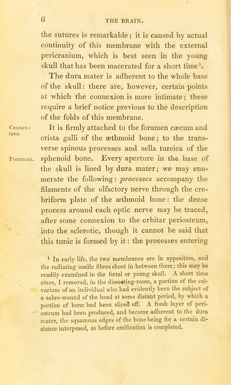 Connex- ions. Processes. b THE BRAIN. the sutures is remarkable; it is caused by actual continuity of this membrane with the external pericranium, which is best seen in the young skull that has been macerated for a short time1. The dura mater is adherent to the whole base of the skull: there are, however, certain points at which the connexion is more intimate; these require a brief notice previous to the description of the folds of this membrane. It is firmly attached to the foramen caecum and crista galli of the aethmoid bone; to the trans- verse spinous processes and sella turcica of the sphenoid bone. Every aperture in the base of the skull is lined by dura mater; we may enu- merate the following: processes accompany the filaments of the olfactory nerve through the cre- briform plate of the aethmoid bone: the dense process around each optic nerve may be traced, after some connexion to the orbital* periosteum, into the sclerotic, though it cannot be said that this tunic is formed by it: the processes entering 1 In early life, the two membranes are in apposition, and the radiating ossific fibres shoot in between them; this may be readily examined in the foetal or young skull. A short time since, I removed, in the disseeting-room, a portion of the cal- varium of an individual who had evidently been the subject of a sabre-wound of the head at some distant period, by which a portion of bone had been sliced off. A fresh layer of peri- osteum had been produced, and become adherent to the dura mater, the squamous edges of the bone being for a certain di- stance interposed, as before ossification is completed.