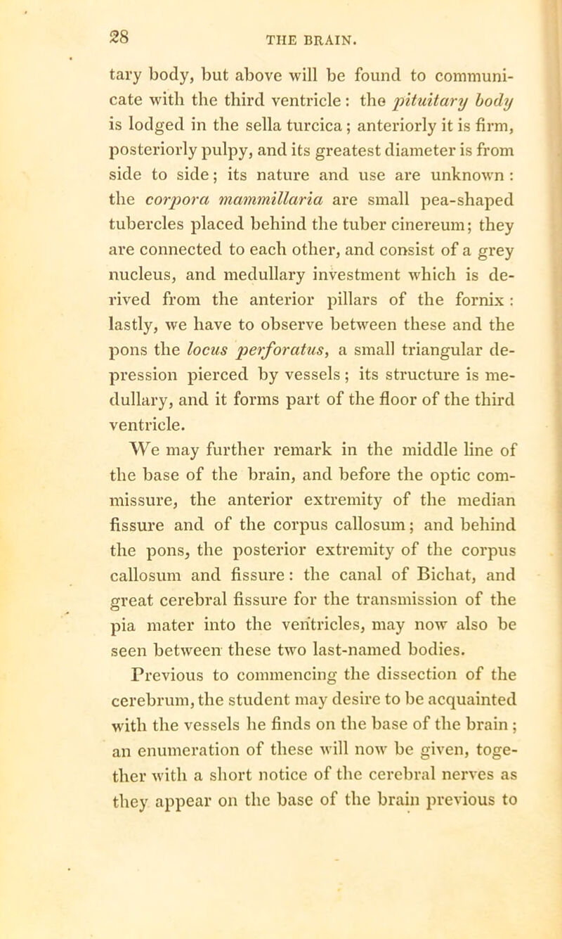 tary body, but above will be found to communi- cate with the third ventricle : the pituitary body is lodged in the sella turcica; anteriorly it is firm, posteriorly pulpy, and its greatest diameter is from side to side; its nature and use are unknown : the corpora mammillaria are small pea-shaped tubercles placed behind the tuber cinereum; they are connected to each other, and consist of a grey nucleus, and medullary investment which is de- rived from the anterior pillars of the fornix : lastly, we have to observe between these and the pons the locus perforatus, a small triangular de- pression pierced by vessels ; its structure is me- dullary, and it forms part of the floor of the third ventricle. We may further remark in the middle line of the base of the brain, and before the optic com- missure, the anterior extremity of the median fissure and of the corpus callosum; and behind the pons, the posterior extremity of the corpus callosum and fissure: the canal of Bichat, and great cerebral fissure for the transmission of the pia mater into the ventricles, may now also be seen between these two last-named bodies. Previous to commencing the dissection of the cerebrum, the student may desire to be acquainted with the vessels he finds on the base of the brain ; an enumeration of these will now be given, toge- ther with a short notice of the cerebral nerves as they appear on the base of the brain previous to