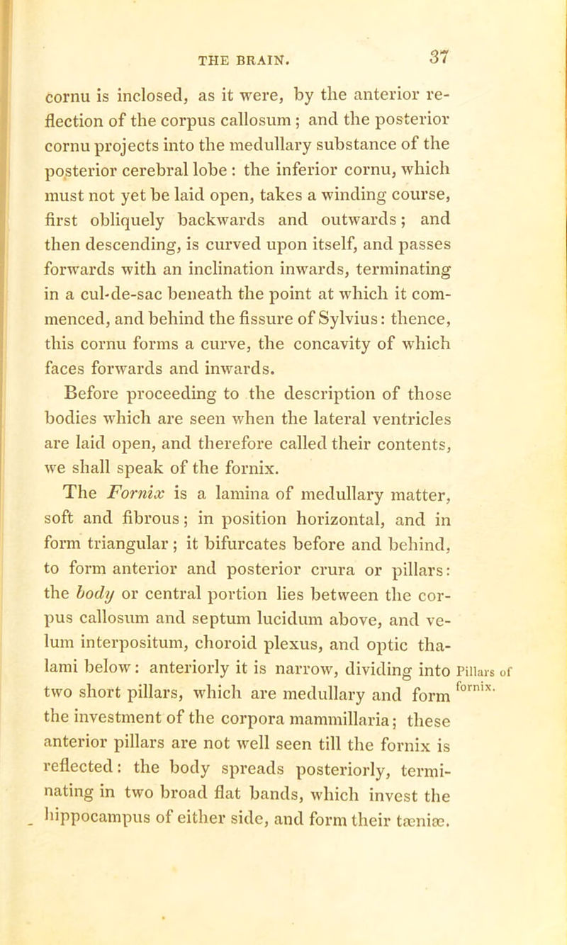 cornu is inclosed, as it were, by the anterior re- flection of the corpus callosum ; and the posterior cornu projects into the medullary substance of the posterior cerebral lobe : the inferior cornu, which must not yet be laid open, takes a winding course, first obliquely backwards and outwards; and then descending, is curved upon itself, and passes forwards with an inclination inwards, terminating in a cul-de-sac beneath the point at which it com- menced, and behind the fissure of Sylvius: thence, this cornu forms a curve, the concavity of which faces forwards and inwards. Before proceeding to the description of those bodies which are seen when the lateral ventricles are laid open, and therefore called their contents, we shall speak of the fornix. The Fornix is a lamina of medullary matter, soft and fibrous; in position horizontal, and in form triangular ; it bifurcates before and behind, to form anterior and posterior crura or pillars: the body or central portion lies between the cor- pus callosum and septum lucidum above, and ve- lum interpositum, choroid plexus, and optic tha- lami below: anteriorly it is narrow, dividing into Pillars of two short pillars, which are medullary and form lornlx' the investment of the corpora mammillaria; these anterior pillars are not well seen till the fornix is reflected: the body spreads posteriorly, termi- nating in two broad flat bands, which invest the _ hippocampus of either side, and form their taeniae.