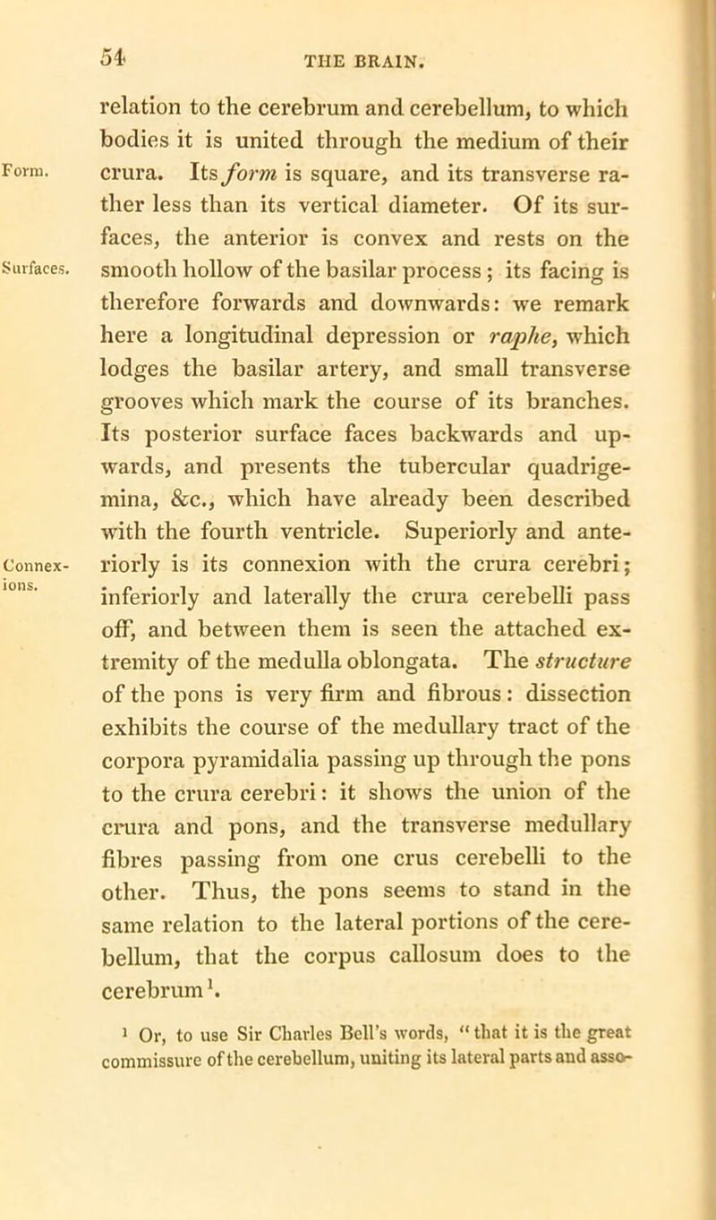 Form. Surfaces. Connex- ions. relation to the cerebrum and cerebellum, to which bodies it is united through the medium of their crura. Its form is square, and its transverse ra- ther less than its vertical diameter. Of its sur- faces, the anterior is convex and rests on the smooth hollow of the basilar process ; its facing is therefore forwards and downwards: we remark here a longitudinal depression or raphe, which lodges the basilar artery, and small transverse grooves which mark the course of its branches. Its posterior surface faces backwards and up- wards, and presents the tubercular quadrige- mina, &c., which have already been described with the fourth ventricle. Superiorly and ante- riorly is its connexion with the crura cerebri; inferiorly and laterally the crura cerebelli pass off, and between them is seen the attached ex- tremity of the medulla oblongata. The structure of the pons is very firm and fibrous: dissection exhibits the course of the medullary tract of the corpora pyramidalia passing up through the pons to the crura cerebri: it shows the union of the crura and pons, and the transverse medullary fibres passing from one crus cerebelli to the other. Thus, the pons seems to stand in the same relation to the lateral portions of the cere- bellum, that the corpus callosum does to the cerebrum h 1 Or, to use Sir Charles Bell’s words, “ that it is the great commissure of the cerebellum, uniting its lateral parts and assor-