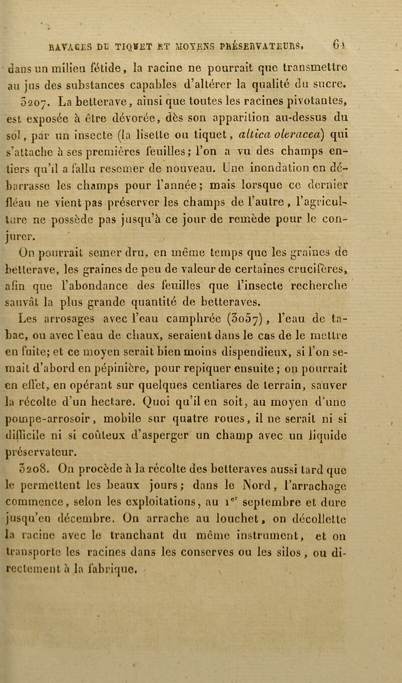 dans un milieu fétide, la racine ne pourrait que transmettre au jus des substances capables d’altérer la qualité du sucre. 0207. La betterave, ainsi que toutes les racines pivotantes, est exposée h être dévorée, dès son apparition au-dessus du sol, par un insecte (la lisette ou tiquet, allica oleracea) qui s’attache h ses premières feuilles; l’on a vu des champs en- tiers qu’il a fallu resemer de nouveau. Une inondation en dé- barrasse les champs pour l’année; mais lorsque ce dernier fléau ne vient pas préserver les champs de l’autre, l’agricul- ture ne possède pas jusqu’à ce jour de remède pour le con- jurer. On pourrait semer dru, en même temps que les graines de betterave, les graines de peu de valeur de certaines crucifères, afin que l’abondance des feuilles que l’insecte recherche sauvât la plus grande quantité de betteraves. Les arrosages avec l’eau camphrée (3o57), l’eau de ta- bac, ou avec l’eau de chaux, seraient dans le cas de le mettre en fuite; et ce moyen serait bien moins dispendieux, si l’on se- mait d’abord en pépinière, pour repiquer ensuite ; on pourrait en effet, en opérant sur quelques centiares de terrain, sauver la récolte d’un hectare. Quoi qu’il en soit, au moyen d'une pompe-arrosoir, mobile sur quatre roues, il ne serait ni si difficile ni si coûteux d’asperger un champ avec un liquide préservateur. 0208. On procède à la récolte des betteraves aussi tard que le permettent les beaux jours; dans le Nord, l’arrachage commence, selon les exploitations, au icr septembre et dure jusqu’en décembre. On arrache au louchct, on décollette la racine avec le tranchant du meme instrument, et on transporte les racines dans les conserves ou les silos, ou di- rectement à la fabrique. >