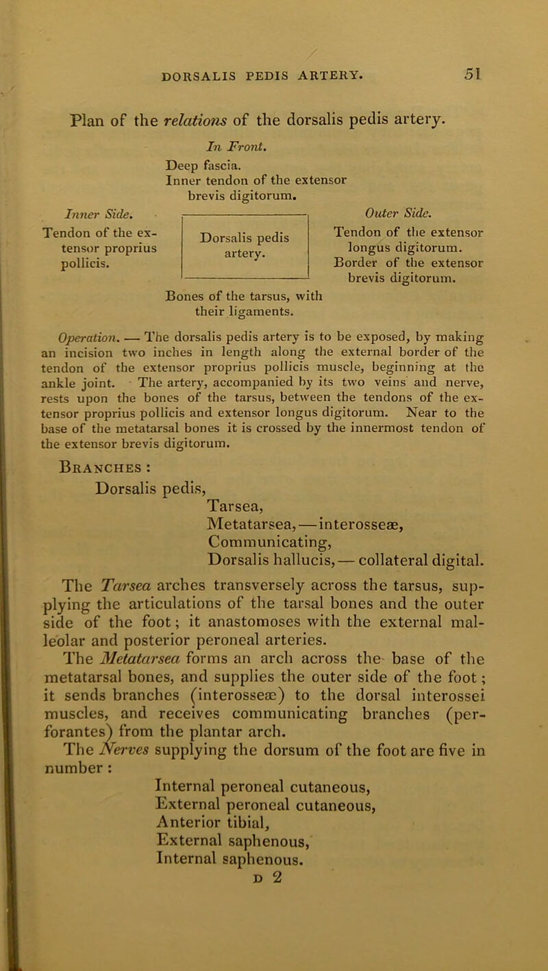 Plan of the relations of the dorsalis pedis artery. In Front. Inner Side. Tendon of the ex- tensor proprius pollicis. Deep fascia. Inner tendon of the extensor brevis digitorum. Outer Side. Tendon of the extensor iongus digitorum. Border of the extensor brevis digitorum. Bones of the tarsus, with their ligaments. Dorsalis pedis artery. Operation. — The dorsalis pedis artery is to be exposed, by making an incision two inches in length along the external border of the tendon of the extensor proprius pollicis muscle, beginning at the ankle joint. The artery, accompanied by its two veins and nerve, rests upon the bones of the tarsus, between the tendons of the ex- tensor proprius pollicis and extensor Iongus digitorum. Near to the base of the metatarsal bones it is crossed by the innermost tendon of the extensor brevis digitorum. Branches : Dorsalis pedis, Tarsea, Metatarsea, — interosseae, Communicating, Dorsalis hallucis,— collateral digital. The Tarsea arches transversely across the tai'sus, sup- plying the articulations of the tarsal bones and the outer side of the foot; it anastomoses with the external mal- leolar and posterior peroneal arteries. The Metatarsea forms an arch across the base of the metatarsal bones, and supplies the outer side of the foot; it sends branches (interossem) to the dorsal interossei muscles, and receives communicating branches (per- forantes) from the plantar arch. The Nerves supplying the dorsum of the foot are five in number : Internal peroneal cutaneous, External peroneal cutaneous, Anterior tibial. External saphenous, Internal saphenous.