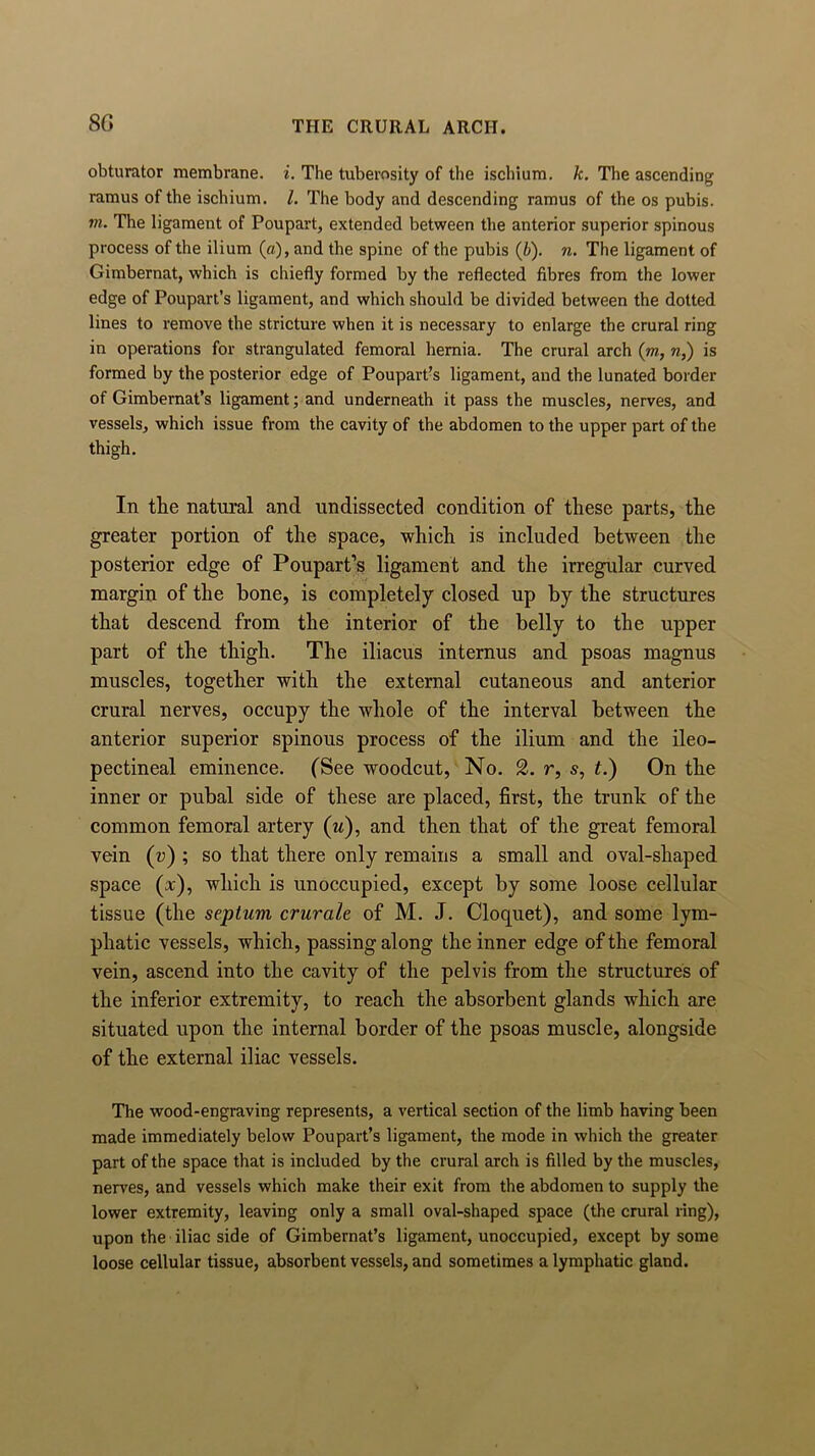 obturator membrane, i. The tuberosity of the ischium, k. The ascending ramus of the ischium. 1. The body and descending ramus of the os pubis. vi. The ligament of Poupart, extended between the anterior superior spinous process of the ilium (a), and the spine of the pubis (b). n. The ligament of Gimbernat, which is chiefly formed by the reflected fibres from the lower edge of Poupart’s ligament, and which should be divided between the dotted lines to remove the stricture when it is necessary to enlarge the crural ring in operations for strangulated femoral hernia. The crural arch (m., n,) is formed by the posterior edge of Poupart’s ligament, and the lunated border of Gimbernat’s ligament; and underneath it pass the muscles, nerves, and vessels, which issue from the cavity of the abdomen to the upper part of the thigh. In the natural and undissected condition of these parts, the greater portion of the space, which is included between the posterior edge of Poupart’s ligament and the irregular curved margin of the bone, is completely closed up by the structures that descend from the interior of the belly to the upper part of the thigh. The iliacus internus and psoas magnus muscles, together with the external cutaneous and anterior crural nerves, occupy the whole of the interval between the anterior superior spinous process of the ilium and the ileo- pectineal eminence. (See woodcut, No. 2. r, s, t.) On the inner or pubal side of these are placed, first, the trunk of the common femoral artery (u), and then that of the great femoral vein (t;) ; so that there only remains a small and oval-shaped space (x), which is unoccupied, except by some loose cellular tissue (the septum crurale of M. J. Cloquet), and some lym- phatic vessels, which, passing along the inner edge of the femoral vein, ascend into the cavity of the pelvis from the structures of the inferior extremity, to reach the absorbent glands which are situated upon the internal border of the psoas muscle, alongside of the external iliac vessels. The wood-engraving represents, a vertical section of the limb having been made immediately below Poupart’s ligament, the mode in which the greater part of the space that is included by the crural arch is filled by the muscles, nerves, and vessels which make their exit from the abdomen to supply the lower extremity, leaving only a small oval-shaped space (the crural ring), upon the iliac side of Gimbernat’s ligament, unoccupied, except by some loose cellular tissue, absorbent vessels, and sometimes a lymphatic gland.