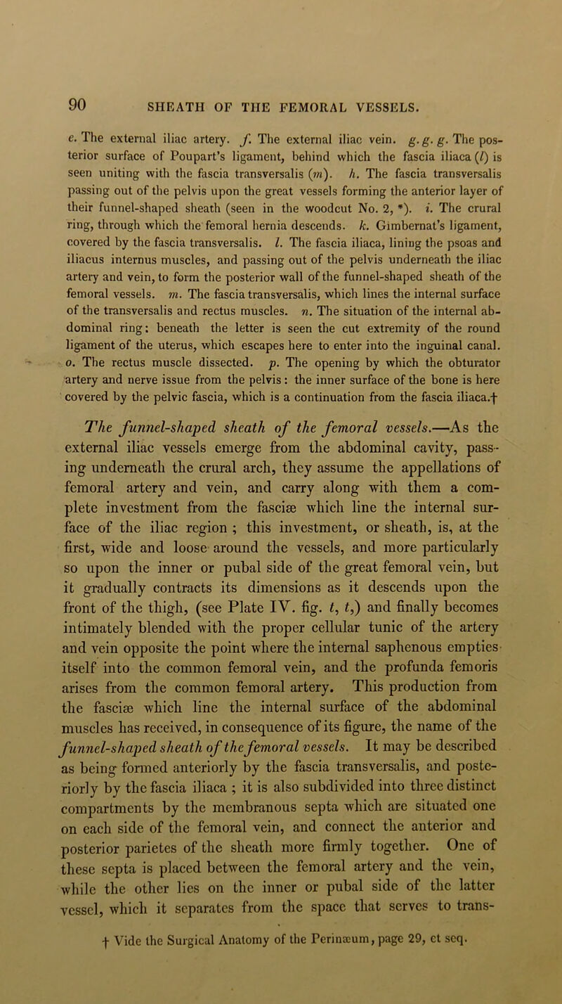 e. The external iliac artery, f. The external iliac vein. g.g. g. The pos- terior surface of Poupart’s ligament, behind which the fascia iliaca (l) is seen uniting with the fascia transversalis (m). h. The fascia transversalis passing out of the pelvis upon the great vessels forming the anterior layer of their funnel-shaped sheath (seen in the woodcut No. 2, *). i. The crural ring, through which the femoral hernia descends, k. Gimbernat’s ligament, covered by the fascia transversalis. 1. The fascia iliaca, lining the psoas and iliacus internus muscles, and passing out of the pelvis underneath the iliac artery and vein, to form the posterior wall of the funnel-shaped sheath of the femoral vessels, m. The fascia transversalis, which lines the internal surface of the transversalis and rectus muscles, n. The situation of the internal ab- dominal ring: beneath the letter is seen the cut extremity of the round ligament of the uterus, which escapes here to enter into the inguinal canal, o. The rectus muscle dissected, p. The opening by which the obturator artery and nerve issue from the pelvis : the inner surface of the bone is here covered by the pelvic fascia, which is a continuation from the fascia iliaca.f The funnel-shaped sheath of the femoral vessels.—As the external iliac vessels emerge from the abdominal cavity, pass- ing underneath the crural arch, they assume the appellations of femoral artery and vein, and carry along with them a com- plete investment from the fasciae which line the internal sur- face of the iliac region ; this investment, or sheath, is, at the first, wide and loose around the vessels, and more particularly so upon the inner or pubal side of the great femoral vein, but it gradually contracts its dimensions as it descends upon the front of the thigh, (see Plate IV. fig. t, t,) and finally becomes intimately blended with the proper cellular tunic of the artery and vein opposite the point where the internal saphenous empties itself into the common femoral vein, and the profunda femoris arises from the common femoral artery. This production from the fascise which line the internal surface of the abdominal muscles has received, in consequence of its figure, the name of the funnel-shaped sheath of the femoral vessels. It may be described as being formed anteriorly by the fascia transversalis, and poste- riorly by the fascia iliaca ; it is also subdivided into three distinct compartments by the membranous septa which are situated one on each side of the femoral vein, and connect the anterior and posterior parietes of the sheath more firmly together. One of these septa is placed between the femoral artery and the vein, while the other lies on the inner or pubal side of the latter vessel, which it separates from the space that serves to trans- f Vide the Surgical Anatomy of the Perinacum, page 29, ct scq.