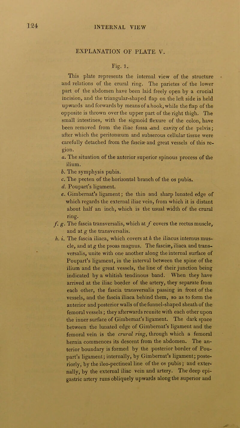 EXPLANATION OF PLATE V. Fig.1. This plate represents the internal view of the structure and relations of the crural ring. The parietes of the lower part of the abdomen have been laid freely open by a crucial incision, and the triangular-shaped flap on the left side is held upwards and forwards by means of a hook, while the flap of the opposite is thrown over the upper part of the right thigh. The small intestines, with the sigmoid flexure of the colon, have been removed from the iliac fossa -and cavity of the pelvis; after which the peritoneum and subserous cellular tissue were carefully detached from the fasciae and great vessels of this re- gion. a. The situation of the anterior superior spinous process of the ilium. b. The symphysis pubis. c. The pecten of the horizontal branch of the os pubis. d. Poupart’s ligament. e. Gimbernat’s ligament; the thin and sharp lunated edge of which regards the external iliac vein, from which it is distant about half an inch, which is the usual width of the crural ring. f. g. The fascia transversalis, which at f covers the rectus muscle, and at g the transversalis. h. i. The fascia iliaca, which covers at h the iliacus internus mus- cle, and atg the psoas magnus. The fasciae, iliaca and trans- versalis, unite with one another along the internal surface of Poupart’s ligament, in the interval between the spine of the ilium and the great vessels, the line of their junction being indicated by a whitish tendinous band. When they have arrived at the iliac border of the artery, they separate from each other, the fascia transversalis passing in front of the vessels, and the fascia iliaca behind them, so as to form the anterior and posterior walls of the funnel-shaped sheath of the femoral vessels; they afterwards reunite with each other upon the inner surface of Gimbemat’s ligament. The dark space between the lunated edge of Gimbernat’s ligament and the femoral vein is the crural ring, through which a femoral hernia commences its descent from the abdomen. The an- terior boundary is formed by the posterior border of Pou- part’s ligament; internally, by Gimbernat’s ligament; poste- riorly, by the ileo-pectineal line of the os pubis; and exter- nally, by the external iliac vein and artery. The deep epi- gastric artery runs obliquely upwards along the superior and