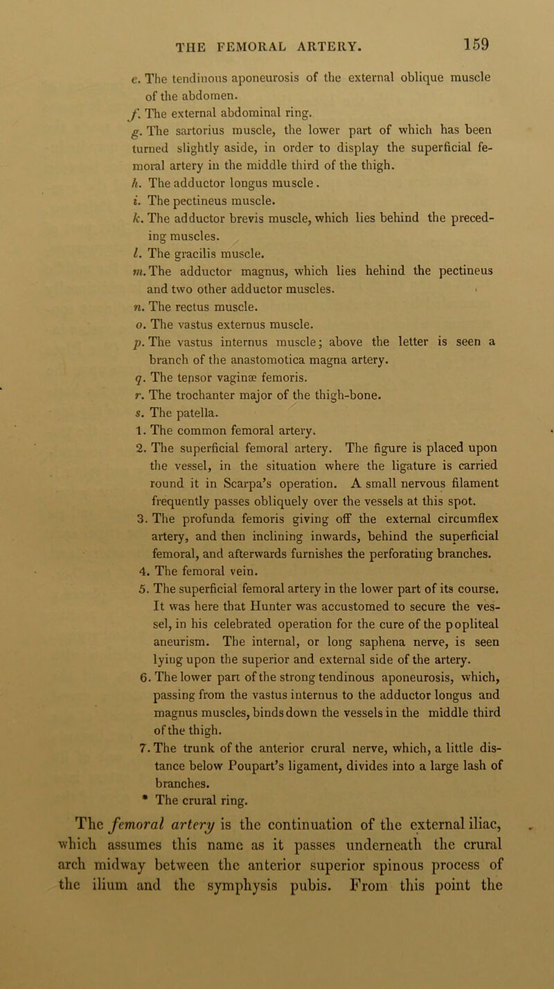 e. The tendinous aponeurosis of the external oblique muscle of the abdomen. The external abdominal ring. g. The sartorius muscle, the lower part of which has been turned slightly aside, in order to display the superficial fe- moral artery in the middle third of the thigh. h. The adductor longus muscle. i. The pectineus muscle. k. The adductor brevis muscle, which lies behind the preced- ing muscles. L The gracilis muscle. tn. The adductor magnus, which lies hehind the pectineus and two other adductor muscles. n. The rectus muscle. o. The vastus externus muscle. p. The vastus internus muscle; above the letter is seen a branch of the anastomotica magna artery. q. The tepsor vaginae femoris. r. The trochanter major of the thigh-bone. s. The patella. l. The common femoral artery. 2. The superficial femoral artery. The figure is placed upon the vessel, in the situation where the ligature is carried round it in Scarpa’s operation. A small nervous filament frequently passes obliquely over the vessels at this spot. 3. The profunda femoris giving off the external circumflex artery, and then inclining inwards, behind the superficial femoral, and afterwards furnishes the perforating branches. 4. The femoral vein. 5. The superficial femoral artery in the lower part of its course. It was here that Hunter was accustomed to secure the ves- sel, in his celebrated operation for the cure of the popliteal aneurism. The internal, or long saphena nerve, is seen lying upon the superior and external side of the artery. 6. The lower part of the strong tendinous aponeurosis, which, passing from the vastus internus to the adductor longus and magnus muscles, binds down the vessels in the middle third of the thigh. 7. The trunk of the anterior crural nerve, which, a little dis- tance below Poupart’s ligament, divides into a large lash of branches. * The crural ring. The femoral artery is the continuation of the external iliac, which assumes this name as it passes underneath the crural arch midway between the anterior superior spinous process of the ilium and the symphysis pubis. From this point the