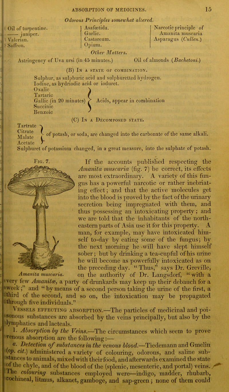 Odorous Principles somewhat altered. Oil of turpentine. juniper. Valerian. Saffron. Narcotic principle of Amanita muscaria Asparagus (Cullen.) Asafoetida. Garlic. Castoreum. Opium. Other Matters. Astring’ency of Uva ursi (in 45 minutes.) Oil of almonds (Bachetoni.) (B) In a state of combination. Sulphur, as sulphuric acid and sulphuretted hydrogen. Iodine, as hydriodic acid or ioduret. Oxalic Tartaric f Gallic (in 20 minutes) Acids, appear in combination Succinic \ Benzoic ■' (C) In a Decomposed state. Tartrate x Malate I P0^8'1) or soda, are changed into the carbonate of the same alkali. Acetate )* Sulpburet of potassium changed, in a great measure, into the sulphate of potash. Fig. 7. If the accounts published respecting the Amanita muscaria (lig. 7) be correct, its effects are most extraordinary. A variety of this fun- gus has a powerful narcotic or rather inebriat- ing effect; and that the active molecules get into the blood is proved by the fact of the urinary secretion being impregnated with them, and thus possessing an intoxicating property; and we are told that the inhabitants of the north- eastern parts of Asia use it for this property. A man, for example, may have intoxicated him- self to-day by eating some of the fungus; by the next morning he .will have slept himself sober; but by drinking a tea-cupful of his urine he will become as powerfully intoxicated as on the preceding day. “ Thus,” says Dr. Greville, Amanita muscaria. on the authority of Dr. Langsdorf, “ with a very few Amanita;, a party of drunkards may keep up their debauch for a ' week and “ by means of a second person taking the urine of the first, a ‘ third of the second, and so on, the intoxication may be propagated through five individuals.” Vessels effecting absorption.—The particles of medicinal and poi- FSonous substances are absorbed by the veins principally, but also by the lymphatics and lacteals. 1. Absorption by the Veins.—The circumstances which seem to prove venous absorption are the following:— a. Detection of substances in the venous blood.—Tiedemann and Gmelin (op. cit.) administered a variety of colouring, odorous, and saline sub- stances to animals, mixed with their food, and afterwards examined the state of the chyle, and of the blood of the (splenic, mesenteric, and portal) veins.. ‘ The colouring substances employed were—indigo, madder, rhubarb, cochineal, litmus, alkanet, gamboge, and sap-green; none of them could