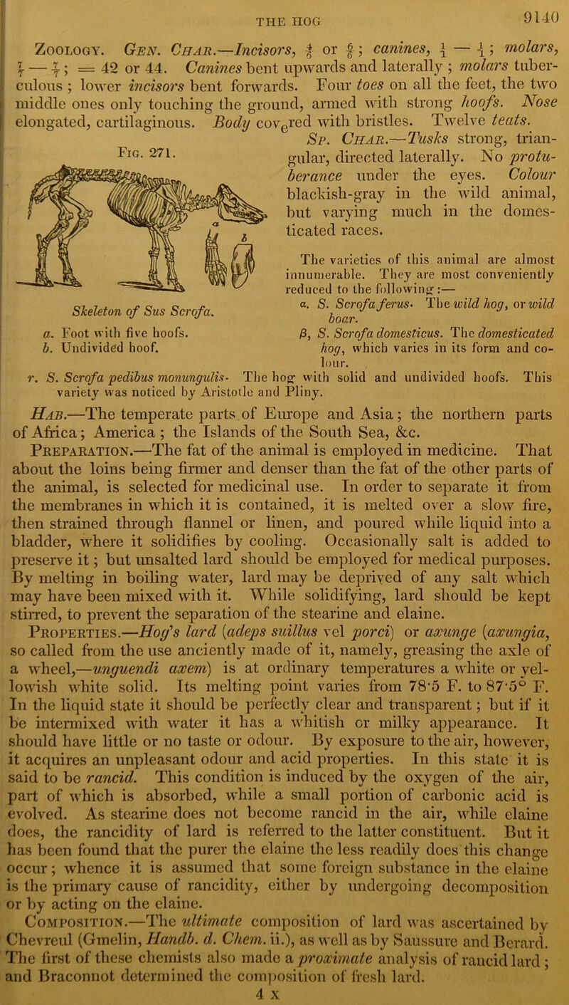 THE HOG 9140 Zoology. Gen. Char.—Incisors, £ or £; canines, \ — £ ; molars, \ — £; = 42 or 44. Canines bent upwards and laterally ; molars tuber- i colons ; lower incisors bent forwards. Four toes on all the feet, the two middle ones only touching the ground, armed with strong hoofs. Nose I elongated, cartilaginous. Body covered with bristles. Twelve teats. Sp. Char.—Tusks strong, trian- gular, directed laterally. No 'protu- berance under the eyes. Colour blackish-gray in the wild animal, but varying much in the domes- ticated races. The varieties of this animal are almost innumerable. They are most conveniently reduced to the following:— a. S. Scrofa ferus• The wild hog, or wild boar. P, S. Scrofa domesticus. The domesticated hog, which varies in its form and co- lour. r. S. Scrofa pedibus monungulis- The hog- with solid and undivided hoofs. This variety was noticed by Aristotle and Pliny. Hab.—The temperate parts of Europe and Asia; the northern parts of Africa; America ; the Islands of the South Sea, &c. Preparation.—The fat of the animal is employed in medicine. That about the loins being firmer and denser than the fat of the other parts of the animal, is selected for medicinal use. In order to separate it from the membranes in which it is contained, it is melted over a slow fire, then strained through flannel or linen, and poured while liquid into a bladder, where it solidifies by cooling. Occasionally salt is added to preserve it; but unsalted lard should be employed for medical purposes. By melting in boiling water, lard may be deprived of any salt which may have been mixed with it. While solidifying, lard should be kept stirred, to prevent the separation of the stearine and elaine. Properties.—Hoy’s lard (adeps suillus vel porci) or axunge (axungia, so called from the use anciently made of it, namely, greasing the axle of a wheel,—unguendi axem) is at ordinary temperatures a white or yel- lowish white solid. Its melting point varies from 78’5 F. to 87-5° F. In the liquid state it should be perfectly clear and transparent; but if it be intermixed with water it has a whitish or milky appearance. It should have little or no taste or odour. By exposure to the air, however, it acquires an unpleasant odour and acid properties. In this state it is said to be rancid. This condition is induced by the oxygen of the air, part of which is absorbed, while a small portion of carbonic acid is evolved. As stearine does not become rancid in the air, while elaine does, the rancidity of lard is referred to the latter constituent. But it has been found that the purer the elaine the less readily does this change occur; whence it is assumed that some foreign substance in the elaine is the primary cause of rancidity, either by undergoing decomposition or by acting on the elaine. Composition.—The ultimate composition of lard was ascertained by Chevreul (Gmelin, Ilandb. d. Chem. ii.), as well as by Saussure and Bcrard. The first of these chemists also made a proximate analysis of rancid lard; and Braconnot determined the composition of fresh lard. 4 x Fig. 271. Skeleton of Sus Scrofa. a. Foot with five hoofs. b. Undivided hoof.