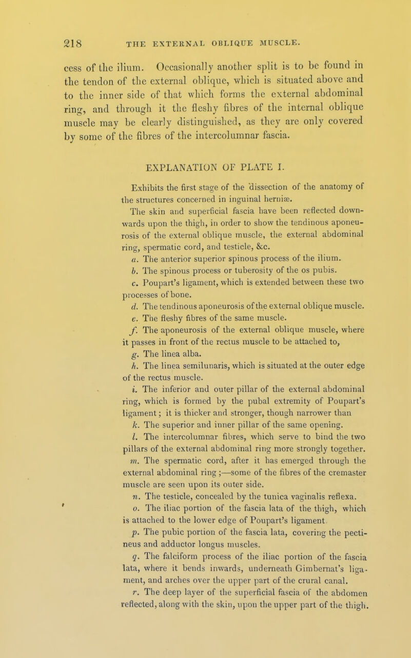 ccss of tlic ilium. Occasionally another split is to be found in the tendon of the external oblique, which is situated above and to the inner side of that which forms the external abdominal ring, and through it the fleshy fibres of the internal oblique muscle may be clearly distinguished, as they are only covered by some of the fibres of the intercolumnar fascia. EXPLANATION OF PLATE I. Exhibits the first stage of the dissection of the anatomy of the structures concerned in inguinal hernias. Tlie skin and superficial fascia have been reflected down- wards upon the thigh, in order to show the tendinous aponeu- rosis of the external oblique muscle, the external abdominal ring, spermatic cord, and testicle, &c. a. The anterior superior spinous process of the ilium. b. The spinous process or tuberosity of the os pubis. c. Poupart’s ligament, which is extended between these two processes of bone. d. The tendinous aponeurosis of the external oblique muscle. e. The fleshy fibres of the same muscle. f. The aponeurosis of the external oblique muscle, where it passes in front of the rectus muscle to be attached to, g. The linea alba. h. The linea semilunaris, which is situated at the outer edge of the rectus muscle. i. The inferior and outer pillar of the external abdominal ring, which is formed by the pubal extremity of Poupart’s ligament; it is thicker and stronger, though narrower than k. The superior and inner pillar of the same opening. l. The intercolumnar fibres, which serve to bind the two pillars of the external abdominal ring more strongly together. m. The spermatic cord, after it has emerged through the external abdominal ring ;—some of the fibres of the cremaster muscle are seen upon its outer side. n. The testicle, concealed by the tunica vaginalis reflexa. ’ 0. The iliac portion of the fascia lata of the thigh, which is attached to the lower edge of Poupart’s ligament, p. The pubic portion of the fascia lata, covering the pecti- neus and adductor longus muscles. q. The falciform process of the iliac portion of the fascia lata, where it bends inwards, underneath Gimbernat’s liga- ment, and arches over the upper part of the crural canal. r. The deep layer of the superficial fascia of the abdomen reflected, along with the skin, upon the upper part of the thigh.