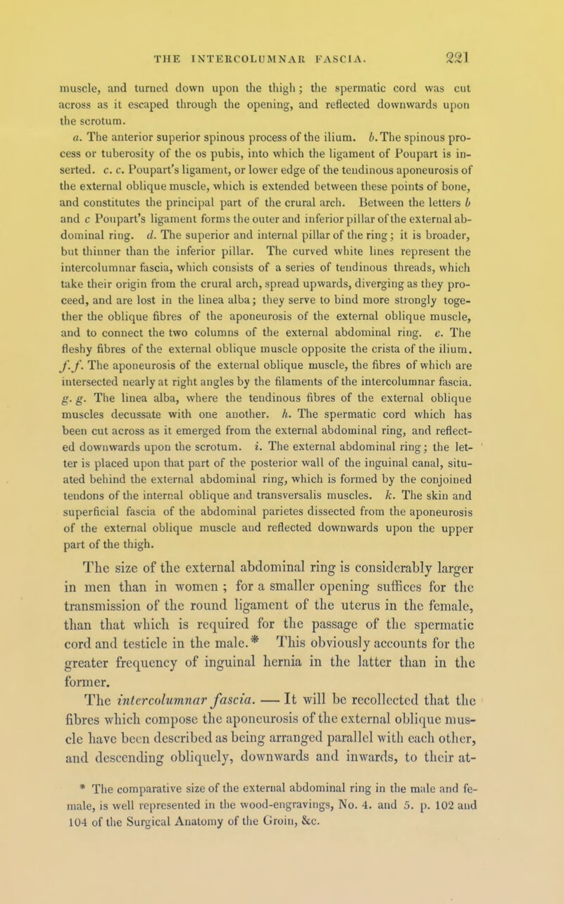 muscle, and turned down upon the thigh ; the spermatic cord was cut across as it escaped through the opening, and reflected downwards upon tlie scrotum. a. The anterior superior spinous process of the ilium. i.The spinous pro- cess or tuberosity of the os pubis, into which the ligament of Poupart is in- serted. c. c. Poupart’s ligament, or lower edge of the tendinous aponeurosis of the external oblique muscle, which is extended between these points of bone, and constitutes the principal part of the crural arch. Between the letters b and c Poupart’s ligament forms the outer and inferiorpillar of the external ab- dominal ring. d. The superior and internal pillar of the ring; it is broader, but thinner than the inferior pillar. The curved white lines represent the intercolumnar fascia, which consists of a series of tendinous threads, whicli take their origin from the crural arch, spread upwards, diverging as they pro- ceed, and are lost in the linea alba; tliey serve to bind more strongly toge- ther the oblique fibres of the aponeurosis of the external oblique muscle, and to connect the two columns of the external abdominal ring. e. The fleshy fibres of the external oblique muscle opposite the crista of the ilium. J'.J\ The aponeurosis of the external oblique muscle, the fibres of which are intersected nearly at right angles by the filaments of the intercolumnar fascia. g. g. The linea alba, where the tendinous fibres of the external oblique muscles decussate with one another, h. The spermatic cord which has been cut across as it emerged from the external abdominal ring, and reflect- ed downwards upon the scrotum, i. The external abdominal ring; the let- ' ter is placed upon that part of the posterior wall of the inguinal canal, situ- ated behind the external abdominal ring, which is formed by the conjoined tendons of the internal oblique and transversalis muscles, k. The skin and superficial fascia of the abdominal parietes dissected from the aponeurosis of the external oblique musele and reflected downwards upon the upper part of the thigh. The size of the external abdominal ring is considerably larger in men than in women ; for a smaller opening suffices for the transmission of the round ligament of the uterus in the female, than that which is required for the passage of the spermatic cord and testicle in the male.* This obviously accounts for the greater frequency of inguinal hernia in the latter than in the former. The intercolumnar fascia. — It will be recollected that the fibres wdiich compose the aponeurosis of the external oblique mus- cle have been described as being arranged parallel with each other, and descending obliquely, downwards and inw'ards, to their at- * The comparative size of the external abdominal ring in the male and fe- male, is well represented in tlie wood-engravings, No. 4. and 5. p. 102 and 104 of the Surgical Anatomy of the Groin, &c.