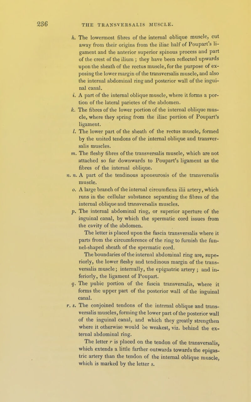 h. The lowermost fibres of the internal oblique muscle, cut away from their origins from the iliac half of Poupart s li- gament and the anterior superior spinous process and part of the crest of the ilium ; they have been reflected upwards upon the sheath of the rectus muscle, for the purpose of ex- posing the lower margin of the transversalis muscle, and also the internal abdominal ring and posterior wall of the ingui- nal canal. i. A part of the internal oblique muscle, where it forms a por- tion of the lateral parietes of the abdomen. k. The fibres of the lower portion of the internal oblique mus- cle, where they spring from the iliac portion of Poupart’s ligament. L The lower part of the sheath of the rectus muscle, formed by the united tendons of the internal oblique and transver- salis muscles. m. The fleshy fibres of the transversalis muscle, which are not attached so far downwards to Poupart’s ligament as the fibres of the internal oblique. n. n. A part of the tendinous aponeurosis of the transversalis muscle. 0. A large branch of the internal circumflexa ilii artery, which runs in the cellular substance separating the fibres of the internal oblique and transversalis muscles. p. The internal abdominal ring, or superior aperture of the inguinal canal, by which the spermatic cord issues from the cavity of the abdomen. The letter is placed upon the fascia transversalis where it parts from the circumference of the ring to furnish the fun- nel-shaped sheath of the spermatic cord. The boundaries of the internal abdominal ring are, supe- riorly, the lower fleshy and tendinous margin of the trans- versalis muscle; internally, the epigastric artery ; and in- feriorly, the ligament of Poupart. q. The pubic portion of the fascia ti-ansversalis, where it forms the upper part of the posterior wall of the inguinal canal. r. s. The conjoined tendons of the internal oblique and trans- versalis muscles, forming the lower part of the posterior wall of the inguinal canal, and which they greatly strengthen where it otherwise would be weakest, viz. behind the ex- ternal abdominal ring. The letter r is placed on the tendon of the transversalis, which extends a little farther outwards towards the epigas- tric artery than the tendon of the internal oblique muscle, which is marked by the letter s.
