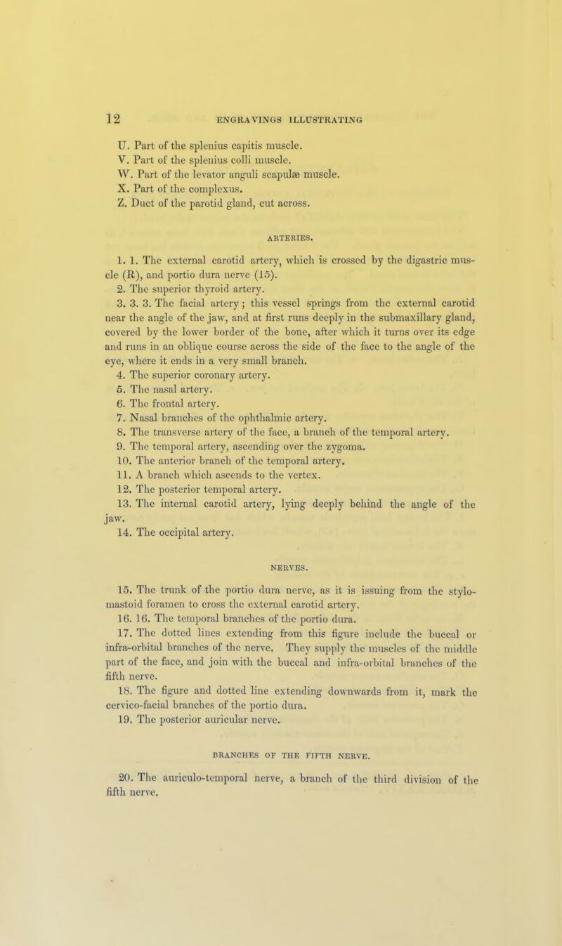 U. Part of the splenius capitis muscle. V. Part of the splenius colli muscle. W. Part of the levator anguli scapulae muscle. X. Part of the complexus. Z. Duet of the parotid gland, cut across. ARTERIES. I. 1. The external carotid artery, which is crossed by the digastric mus- cle (R), and portio dura nerve (15). 2. The superior thyroid artery. 3. 3. 3. The facial artery; this vessel springs from the external carotid near the angle of the jaw, and at first runs deeply in the submaxillary gland, covered by the lower border of the bone, after which it turns over its edge and runs in an oblique course across the side of the face to the angle of the eye, where it ends in a very small branch. 4. The superior coronary artery. 5. The nasal artery. 6. The frontal artery. 7. Nasal branches of the ophthalmic artery. 8. The transverse artery of the face, a branch of the temporal artery. 9. The temporal artery, ascending over the zygoma. 10. The anterior branch of the temporal artery. II. A branch which ascends to the vertex. 12. The posterior temporal artery. 13. The internal carotid artery, lying deeply behind the angle of the jaw. 14. The occipital artery. NERVES. 15. The trunk of the portio dura nerve, as it is issuing from the stylo- mastoid foramen to cross the external carotid artery. 16. 16. The temporal branches of the portio dura. 17. The dotted lines extending from this figure include the buccal or infra-orbital branches of the nerve. They supply the muscles of the middle part of the face, and join with the buccal and infra-orbital branches of the fifth nerve. 18. The figure and dotted line extending downwards from it, mark the cervico-facial branches of the portio dura. 19. The posterior auricular nerve. BRANCHES OF THE FIFTH NERVE. 20. The auriculo-temporal nerve, a branch of the third division of the fifth nerve.