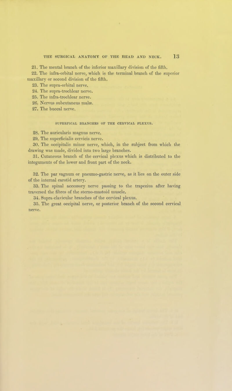 21. The mental branch of the inferior maxillary division of the fifth, 22. The infra-orbital nerve, which is the terminal branch of the superior maxillary or second division of the fifth. 23. The supra-orbital nerve. 24. The supra-trochlear nerve. 25. The mfra-trochlcar nerve. 26. Nervus subcutaneus malse. 27. The buccal nerve. SUPERF1CAL BRANCHES OF THE CERVICAL PLEXUS. 28. The auricularis magnus nerve. 29. The superficialis cervieis nerve. 30. The occipitalis minor nerve, which, in the subject from which the drawing was made, divided into two large branches. 31. Cutaneous branch of the cervical plexus which is distributed to the integuments of the lower and front part of the neck. 32. The par vagnum or pneumo-gastric nerve, as it lies on the outer side of the internal carotid artery. 33. The spinal accessory nerve passing to the trapezius after having- traversed the fibres of the sterno-mastoid muscle. 34. Supra-clavicular branches of the cervical plexus. 35. The great occipital nerve, or posterior branch of the second cervical nerve.