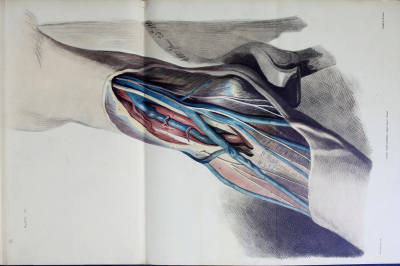 london. Taylor & Waldo tv. Upper Gower Sbre&b