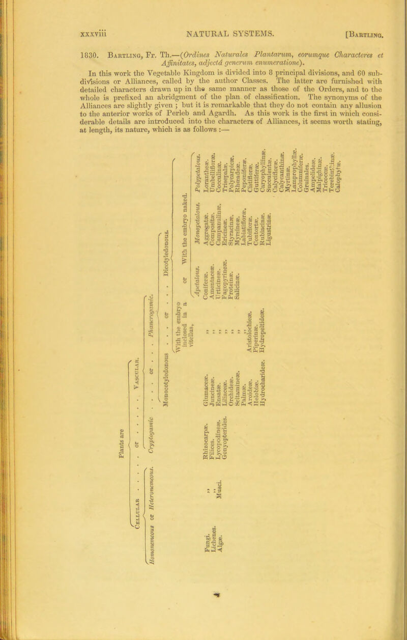 1830. Bartling, Fr. Th.—(Ordinea Naturalcs Plantarum, eorumque Characters ct Affinitates, adjccld generum enumerations). In this work the Vegetable Kingdom is divided into 8 principal divisions, and 60 sub- divisions or Alliances, called by the author Classes. The latter are furnished with detailed characters drawn up in the same manner as those of the Order’s, and to the whole is prefixed an abridgment of the plan of classification. The synonyms of the Alliances are slightly given ; but it is remarkable that they do not contain any allusion to the anterior works of Perleb and Agardh. As this work is the first in which consi- derable details are introduced into the characters of Alliances, it seems worth stating, at length, its nature, which is as follows :— 1/ 8 £ g| i a-l si S', all gj J .11 „• j I .1 8 12 3 g-sl §|f pa i g.a s.a giggs-g. o s g’Cofl §\s 3 a 3-a-a >■« o c £ «-c i ^CH38P,Kf<00OaiooSr)o0<iSHi «■ las II si I gj fr, JO s' 8 S jl «l all a of g I jy g « .5 fij • p « a H i fj ■— Z a >» P 2 o - a.-? o f-3 i|a £ *3 8 .ti C r Q> to 0) a> T3 .f 8 2 ~r=i a 04 or o .£ S/S '3 n > 3 \ s 8 <u • . 8 c oj « . . a lldSjf HUiJJilf rHlCni!hnCiHa)'>> O ^ k J O £ Ch < 5 3 5 8 8> / A < A D A a v W So rs « <y •- e* I I * .'g'S, .2 w O a 23 &S PlfetjO a . £j= 8 Iff «**