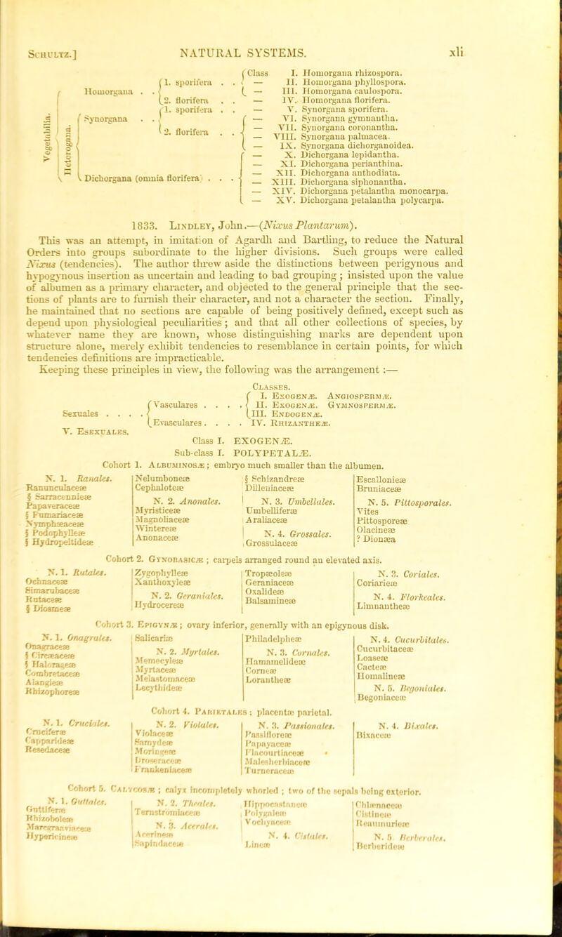 Homorgana ' Synorgana (1. spori/era (.2. florifera 11. sporifera I 2. florifera \ Dichorgana (omnia florifera . ( Class I. Ifomorgaua lhizospora. . ' — II. Homorgana phyllospora. (^ — 111. Homorgana caulospora. . — IV. Ilomorgana florifera. . — V. Synorgana sporifera. I ■— VI. Synorgana gymnautha. ) — VII. Synorgana coronantha. * ) — VIII. Synorgana palmacea. ( — IX. Synorgana dichorganoidea. ' — X. Dichorgana lepidantha. — XI. Dichorgana perianthina. — XII. Dichorgana anthodiata. * — XIII. Dichorgana siphonantha. — XIV. Dichorgana petalantha monocarpa. . — XV. Dichorgana petalantha polycarpa. 1833. Ljndley, John.—(Nixus Plantarum). This was an attempt, in imitation of Agardli and Bartling, to reduce the Natural Orders into groups subordinate to the higher divisions. Such groups were called Nixus (tendencies). The author tlu*ew aside the distinctions between perigynous and hypogynous insertion as uncertain and leading to bad grouping; insisted upon the value of albumen as a primary character, and objected to the general principle that the sec- tions of plants are to furnish their character, and not a character the section. Finally, he maintained that no sections are capable of being positively defined, except such as depend upon physiological peculiarities; and that all other collections of species, by whatever name they are known, whose distinguishing marks are dependent upon structure alone, merely exhibit tendencies to resemblance in certain points, for which tendencies definitions are impracticable. Keeping these principles in view, the following was the arrangement :— Classes. ( I. Exogen^e. Angiosperriai. fVasculares . . . .<11. Exogenab. Gymnosperri.e. Sexuales . . . . < (_III. Endogen^. CEvasculares.... IV. Rhizaxthe^. V. Esexuales. Class I. EXOGENA2. Sub class I. POLYPETALJE. Cohort 1. Albuminosjs ; embryo much smaller than the albumen. N. L Ranales. Ranunculaceae § Sarracennie«e Papaveraceie J Fumariaceae Xymphseacese f Podophyllfece $ Hydropeltide<e Nelumboneie Cephaloteie N. 2. A nonales. Myristicese Magnoliaceae Wintereae Anonaceae § Schizandreae Dilleniacese 1 N. 3. Umbellales. Umbellifene Araliaceae N. 4. Grossalcs. , Grossulacem Escalloniese Bruniaceae N. 5. Pittosporales. Vites Pittosporeae Olacineae ? Dionrea Cohort 2. Gvn'obasic/e ; carpels arranged round au elevated axis. X. 1. Rotates. Ochnacese Simarubace^e Rataceae § Diosmeae ! Zygophyllese i Xanthoxylese N. 2. Geraniales. Hydrocerese Tropjeoleie ■ Geraniacem j Oxalidea? Balsamineie I N. 3. Conales. Corioriea? N. 4. Florkeales. Limuantliea? Cohort 3. Epigysat; ovary inferior, generally with an epigynous disk. N. 1. Onagrales. Onasrraceas I Circa>aee?e j Haloragese Combretaeese Alangi eae Rbizophorese Salicarke N. 2. Mgr tales. Memecylea? MyrtacesB IMelastomncea? Lecythirlea: Philadelpheai N. 3. Cor nates. Hamninelidece Comen? Loraiithese N. 4. Cucurlitales. Cucurbitacea? Loasete Cactea? Homnlineoe N. 5. BegoniaUs. j Begoniaceu? N. 1. Cruelties. Crucifer* Cappnrideae Resedacese Cohort 4. Parjktalks ; placenta? parietal. N. 2. Violates. Viola©ete Samydea Morin gere Broseracese • rrankeoiacea N. 3. Passionales. Passiflorerc I'npayacen? Plncourtiacoa? • .Mnlesherhinccfc Turneracea? N. 4. Bi.vales. Bixacuie Cohort 5. Calycosjb ; calyx incompletely whorled ; two of the sepals being exterior. N'. 1. Gu>tales. Onttifenw Rhizohotea? MarearaaTiflceso IIjpericinesD N. 2. Thealn. T ernstromiacea? N. 3* Acer ales. Arerinem Sapindace* Ifippocastanefe , Polygatao 5 Vochyacea? N. 4. Cl stales. Line* Chhrnnceaj Clstlnei*? flemiuiurieie N. 5 Berber ales. HerberidetB