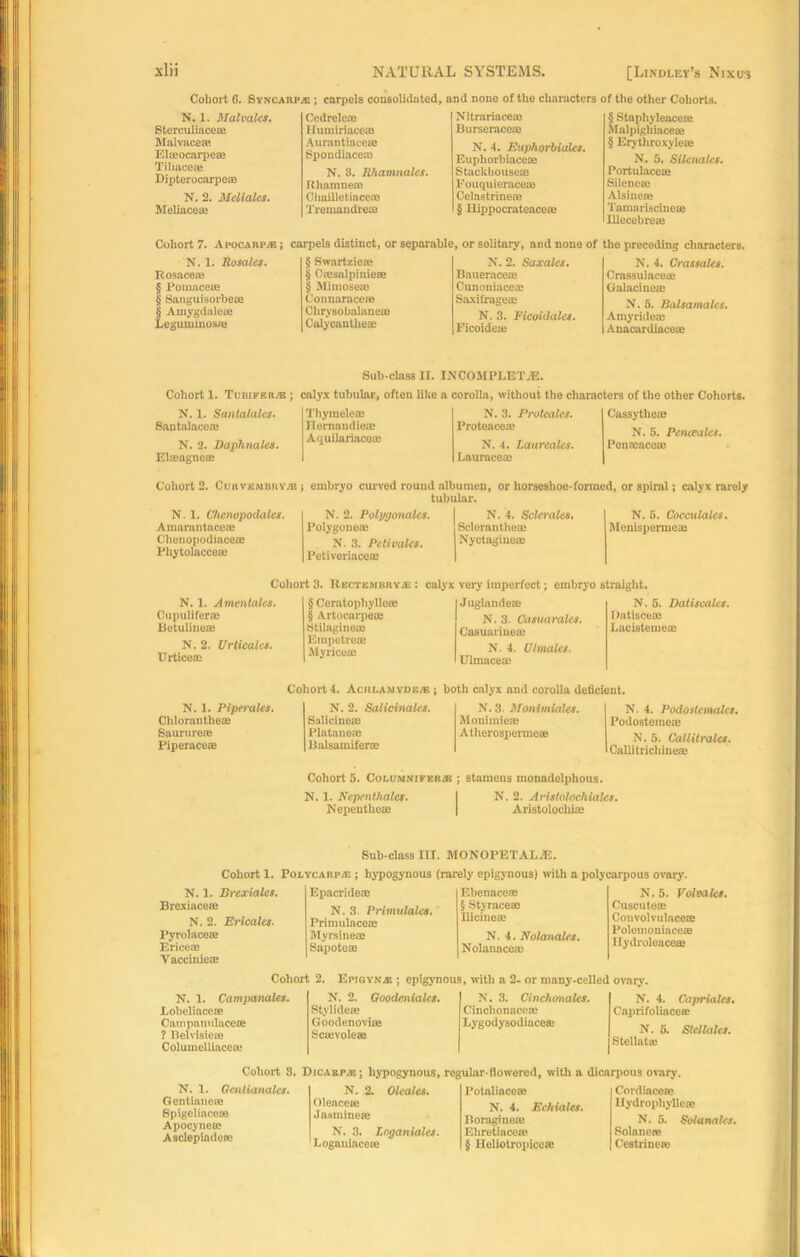 NATURAL SYSTEMS. [Lindley’s Nixui Cohort 6. Syncarpaj ; carpels consolidated, and none of the characters of the other Cohorts. N. 1. Malvaks. Sterculiace® Malvaceae Elmocarpe® Tiliace® Dipterocarpem N. 2. Meliales. Meliace® Cedrele® Humiriacem Aurantiace® Spondiace® N. 8. Rhamnales. Bhamne® Chnilletiace® Tremandre® Nitrariace® Burserace® N. 4. Euphorbiaks. Euphorbiace® StackhouseiB Fouquierace® Celastrine® § Ilippocrateace® § Staphyleace® Malpfghface® § Erythroxyle® N. 5. Silenaks. Portulace® Silenea! Alsine® Tamariscine® Illecebreae Cohort 7. Apocarp® j carpels distinct, or separable, or solitary, and none of the preceding characters. N. 1. Rosales. § Swartzieaj N. 2. Saxaks. Rosaceas ij Cnesalpinieae Bauerace® § Ponmceie § Sanguisorbeue § Mimosea3 Cunoniace® Connaraceje Saxifrage® | Amygdaleie Leguuiinosai Clirysobalaueae Calycantheas N. 3. Ficoidales. Ficoide® N. 4. Crassaks. Crassulace® Galacine® N. 5. Balsamaks. Amyrideae Anacardiaee® Sub-class II. INCOMPLETjE. Cohort 1. Tubiker®; calyx tubular, often like a corolla, without the characters of the other Cohorts. N. 1. Simtalaks. Thymele® N. 3. Proteales. Santalace® Hernandie® Proteace® N. 2. Daphnales. A quilariace® N. 4. Laureates. El®agne® Laurace® Cassytheae N. 5. Penceales. Penmace® Cohort 2. Curvembby® ; embryo curved round albumen, or horseshoe-formed, or spiral; calyx rarely tubular. N. 1. Chcnopodales. Amarantace® Chenopodiace® Phytolacce® N. 2. Polygonales. Polygoueae N. 8. Pelivales. Petiveriace® N. 4. Sclerales. Scleranthe® Nyctagine® N. 6. Cocculales. Menisperme® Cohort 3. Bectembry® : calyx very imperfect; embryo straight. N. 1. Amentales. Cupulifer® Betuline® N. 2. Urticales. Urtice® § Ceratophylle® Juglande® § Artocarpe® N. 3- Casuarales. Stilagine® Casuariue® Empetre® Myrice® N. 4. Utmales. Ulmace® N. 5. Datiscales. Datisce® Lacisteme® Cohort 4. Achi-anyde®; both calyx and corolla deficient. N. 1. Piperales. Chloranthe® Saurure® Piperace® N. 2. Salicinaks. Salicine® Platane® Balsatnifer® N. 3. Monimiaks. Monimie® Atherospermeas N. 4. Podostemaks. Podosteme® N. 5. Callitrales. CaMtrichine® Cohort 5. CoL.OMXrFKB.'E ; stamens monadclphous. N. 1. Ncpenthales. I N. 2. Arislolnchiales. Nepenthe® | Aristolochi® Sub-class III. MONOPETALA3. Cohort 1. Polycarp® ; hypogynous (rarely epigynous) with a polycarpous ovary. N. 5. Volvaks. Cuscute® Convolvulace® Polemoniace® Ilydroleace® N. 4. Caprtales. Caprifoliace® N. 5. Slellaks. Stellat® N. 1. Brexiaks. Epacrideae Ebenace® Brexiace® N. 3. Primulales. § Styrace® N. 2. Ericales. Primulaceae Ilicine® Pyrolace® Myrsineaj N. 4. Nolanalcs. Erice® Vaccinie® Sapoteee Nolanace® Cohort 2. EpiGYNiE ; epigynous, with a 2. or many-celled N. 1. Campanales. N. 2. Goodeniales. N. 3. Cinchonaks. Lobeliacese Stylide® Cinclionace® Campanulaceie ? Helvisicte Columelliacea* Goodenovi® Sc®vole® Lygodysodiace® Cohort 8. Dicarp®; hypogynous, regular-flowered, with a dicarpous ovary. N. 1. Gcntianaks. Gentiane® Spigeliace® Apocyne® Asclepiade® N. 2. Oleales. Oleace® Jasmine® N. 3. Loganiales. Loganiacere Potaliace® N. 4. Echiales. Boragine® Eliretiace® § Heliotropicere Cordiace® llydrophylle® N. 5. Solanaks. Solnne* C'estrinere