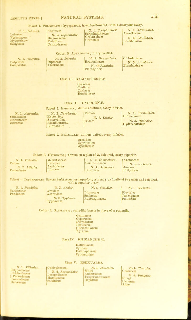 Lindley’s Nixus.] Cohort 4. Person at.*; hypogynous, irregular-flowered, with a dicarpous ovary. N. 1. Lab inks. Labiatte Verbenacese Myoporinese Selagiiieee Stilbiueie N. 2. Bignonialcs. Bignonlaceaj Pedalinese Cyrtandraceee N. 3. Scrophulales: Scrophulariaceai Orobnncheue Gesnerete N. 4. Acanthales. Acanthaceae N. 5. Lentibalcs. Lentibulariaj Cohort 5. Agoregata: ; ovary 1-celled. N. 1. Aster ales. N. 2. Dips ales. N. 3. Branonialcs. Globularineie Calyeerese Dipsaceee Brunoniacese N. 5. Plumbales. Composite Valerianeie N. 4. Plantales. Plantaginese Plumbagineae Class II. GYMNOSPERMiE. Cycadete Coniferse Taxinese Equisetacese Class III. ENDOGENjE. Cohort 1. Epigyna: ; stamens distinct, ovary inferior. N. 1. Amomales. Scitamineae Marantacece ilusaceae N. 2. Narcis sales. Hypoxidece Amaryllidese Heemodoracete BurmannicE Taccese N. 3. Ixiales. Iridese N. 4. Bromeliales. Bromeliacese N. 5. Hy dr ales. Hydrocharideae Cohort 2. Gynandr.®; anthers united, ovary'inferior. Orchidese Cypripedieae Apostasieoe Cohort 3. Hypogyx^ ; flowers on a plan of 3, coloured, ovary superior. N. L Palmales. Palma* 2. Liltales. Fontedere«e Cohort 4. iMPERPZCTiE; X. 1. Pandales. Cjdanthese Pandaneae Melanthaceae GiUiesieze Asphodeleae Liliaceae N. 2. Aralcs. Aroiderc Acoroideae N. 3. Typhales. Typhace ac N. 3. Commelales. Commelinaceae N. 4. Alismales. Butomeae N. 4. Smilalcs. Dioscoreae Smilaceae Roxburghiaceae Alismaceae N. 5. Juncales. .Tunceae Philydreae N. 5. Fluviales. Fluviales Juncagineae Pistiaceae flowers herbaceous, or imperfect, or none ; or finally of two parts and coloured, with a superior ovary. Cohort 5. Glumace.e ; scale-like bracts in place of a perianth. Grainineae Cyperaceae Desvauxieae Hestiaceac $ Kriocaulone.c Xyrideac Class IV. RIJIZANTIIE/K. Rafliesiaceac Cytinen Balanophoreic Cynouioriom Class V. E8EXUALE8. N. 1. Pilicales. Polypod iace^e Gleicheniacese I Parkeriareas Osmundaeeae Banseacese Ophioglosseae, N. 2. Lycopotlaks. Lvcopodiaceae Marsileacex ^alvinieae I N. 3. Muse ales. Muscl Andrseocese . I u (i ge r i nn n n ince w Ifepaticw N. 4. Chorales. Chamcero N. 6. Pungulcs. Fungi Mrhenes Algae