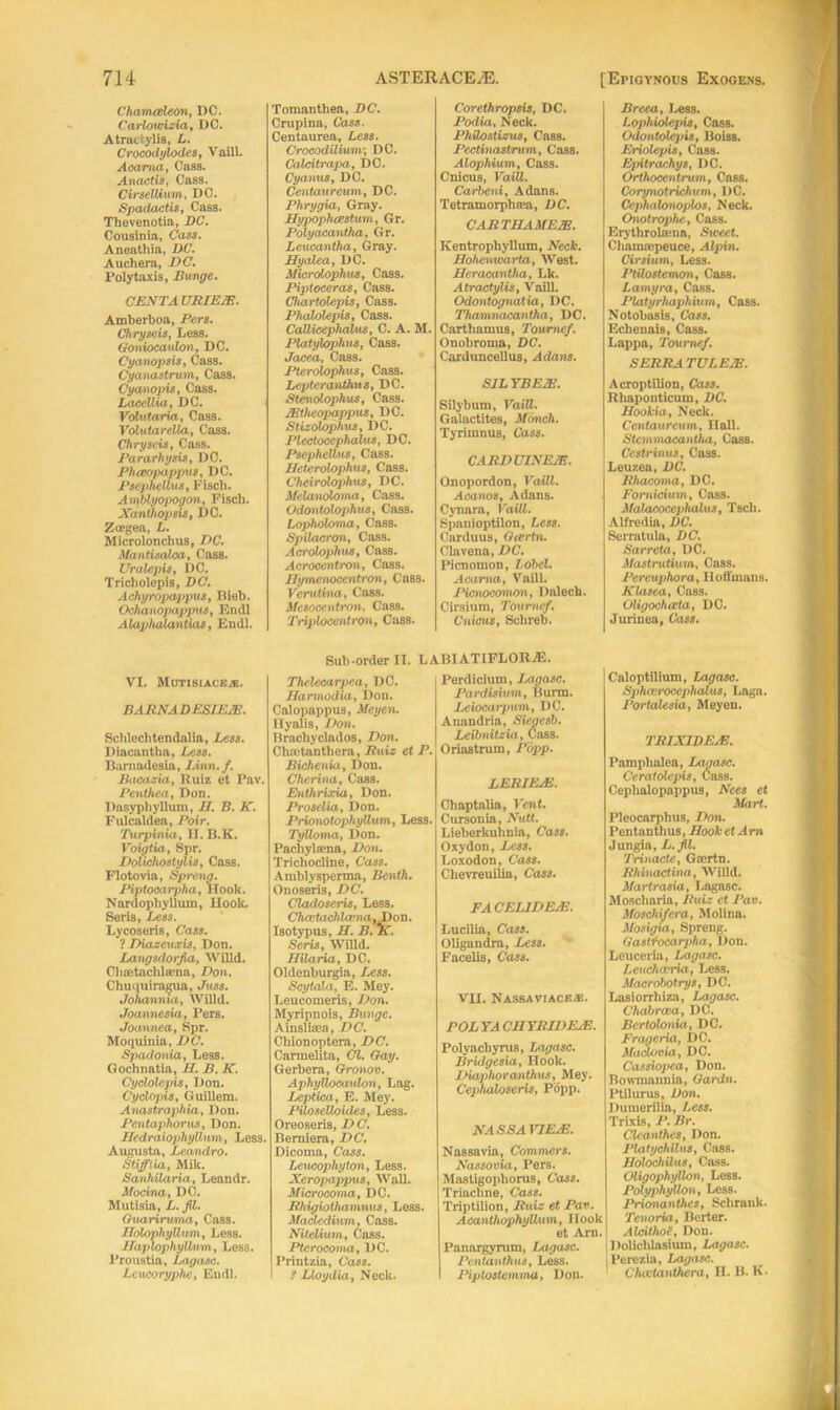 Chamceleon, DC. Carlotoizia, DC. Atractylia, L. Crocodylodes, Vaill. Aoarna, Cass. Anactis, Cass. Cirsellium, DC. Spadactis, Cass. Thevenotia, DC. Cousinia, Cass. Aneathia, DC. Auchera, DC. Poly taxis, Bunge. CENT A URIEJE. Amberboa, Pers. Chryseis, Less. Goniocaulon, DC. Cyanopsis, Cass. Cyanastrum, Cass. Cyanopis, Cass. Lacellia, DC. Po^Hfaria, Cass. PoZutareZZa, Cass. Chryseis, Cass. Pararhysis, DC. Plueopappus, DC. Psephellus, Fiscli. Ainblyojyogon, Fiscli. Xanthops'is, DC. Zcegea, L. Microlonchus, DC. Mantisalca, Cass. Uralepis, DC. Tricholepis, DC. .1 chyropappus, Rieb. Ochanopappus, Endl yliap/taiaatias, Endl. VI. Mutisiace/e. BARNADESIE7E. Schlechtendalia, Less. Diacantha, Less. Barnadesia, Linn.f. Bacazia, Ruiz et Pav. Penthea, Don. Rasyphyllum, H. B. K. Fulcaldea, Potr. Turpinia, II. R.K. Portia, Spr. Dolichostylis, Cass. Flotovia, Spreng. Piptooarpha, Hook. Nardophyllum, Hook. Seris, Less. Lycoseris, Cass. ? Diazcuxis, Don. Langsdorfia, Willd. Ohastachlama, Am. Chuquira^ua, Juss. Johannia, Willd. Joannesia, Pers. Joannea, Spr. Moquinia, DC. Spadonia, Less. Gochnatia, LL D. AT. Cyololepis, Don. Cyclopia, Guillem. Anastraphia, Don. Pentaphorus, Don. Jledraiophyllum, Less. Augusta, Leandro. Stifflia, Mik. Sanhilaria, Leandr. Mo etna, DC. Mutisia, L. /Z. Guarirwma, Cass. JTolophyllnm, Less. Jfaplophyllum, Less. Proustia, Lagasc. Leucoryphc, Endl. Tomantliea, DC. Crupina, 6Tass. Centaurea, Less. Grocodiliunv, DC. Calcitrapa, DC. Cyanus, DC. Centaur eunt, DC. Phrygia, Gray. Lfypophcestum, Gr. Polyacantha, Gr. Leucantha, Gray. Hyalea, DC. Microloplms, Cass. Piptoceras, Cass. Chartolepis, Cass. Phalolepis, Cass. CaUiceplialus, C. A. M. Platylophus, Cass. Jacea, Cass. l*terolophus, Cass. Lepteranthus, DC. Stenolophus, Cass. JEtheopappus, DC. Stizolophus, DC. Plectocephalus, DC. PsepheUus, Cass. Ifeterolophus, Cass. Cheirdophus, DC. Melanoloma, Cass. Odontolophus, Cass. Lopholoma, Cass. Spilacron, Cass. Acrolophus, Cass. Aeroccntron, Cass. Ilymcnocentron, Cass. Ferutina, Cass. Mcsocentron, Cass. Triplocentron, Cass. Corethropsis, DC. Podia, Neck. PhUostizus, Cass. Pectinastrum, Cass. Alophiurriy Cass. Cnicus, FaiZZ. Carbeni, Adans. Tetramorpha?a, DC. CARTHAME2E. Kentrophyllum, iVeefc. Hohenwarta, West. Heracantha, Lk. AtraetyZis, Vaill. Odontognatia, DC. Thamnacantha, DC. Carthamus, Tournef. Onobroma, DC. Carduncellus, Adans. SILYBE2E. Silybum, FaiZZ. Galactites, Monch. Tyrimnus, Cass. CARDUINEJE. Onopordon, FaiZZ. Aoanos, Adans. Cynara, Paid. Spanioptilon, Less. Carduus, Ocertn. Clavena, DC. Picnomon, LobeZ. Aoarna, Vaill. Picnocomon, Dalech. Cirsium, Tournef. Cnicus, Schreb. Breea, Less. Lophxolepis, Cass. Odontole))is, Roiss. Eriolepis, Cass. Epitrachys, I)C. Orthocentrum, Cass. Corjpiotrichum, DC. Cephalonoplos, Neck. Onotroplie, Cass. Erythrokena, Sweet. Chammpeuce, Alpin. Cirsium, Less. Ptilostemoiiy Cass. Lamyra, Cass. Platyrhaphium, Cass. Notobasis, Cass. Echenais, Cass. Lappa, Tournef. SERRA TULE2E. Acroptilion, Cass. Rhaponticum, DC. Hookia, Neck. Centaureum, Ilall. Stanmacantha, Cass. Ccstrimis, Cass. Leuzea, DC. Rhacoma, DC. Fomicium, Cass. Malacocephalus, Tscli. Alfredia, DC. Serratula, DC. Sarreta, DC. J/astriftium, Cass. Pereuphora, Hoffmans. Klasea, Cass. Oligocha’ta, DC. Juriiiea, Cass. Caloptilium, Lagasc. Spha.roccphalus, Laga. Portalesia, Meyen. TRIXIDEAS. Pamphalea, Lagasc. Ccratolepis, Cass. Cephalopappus, Arecs et 3/arf. Pleocarphus, Don. Pentanthus, Hooket Am Jungia, L./Z. Trinacte, Gsertn. Rhinactina, Willd. Martrasia, Lagasc. Moscharia, PuLr et Paw. Moschifera, Molina. Mosigia, Spreng. Gastfocarpha, Don. Leuceria, Lagasc. Leuchceria, Less. MacrobotrySy DC. Lasiorrhiza, Lagasc. ChaJjrcvay DC. Bertolonia, DC. Progeria, DC. Maclocia, DC. Cassiopea, Don. Rowmanuia, Gardn. Ptilurus, Don. Dumerilia, Less. Trixls, P. Dr. Cleanthes, Don. Platychilus, Cass. JlolochiluSy Cass. Oligophyllon, Less. PolyphyUon, Less. PrionanthcSy Scbrank. Tenoria, Rerter. Alcitho'c, Don. Dolichlnsium, Lagasc. Perezia, Lagasc. Chatanthcra, II. R. K- Sub-order II. L ARIATIFLORiE. Thelecarpea, DC. JTarmodia, Don. Calopappus, Meyen. Hyalis, Don. Rracliyclados, Don. Chfctantliera, Puis et P. Bicheniay Don. Cherina, Cass. Enthrixia, Don. Proselia, Don. Pidonotophyllum, Less. Tylloma, Don. Pacliylama, Don. Trichocline, Cass. Amblysperma, Benth. Onoseris, DC. Cladoseris, Less. ChcctachlcenatJ) on. Isotypus, LT. D. TiT. Seris, Willd. Hilaria, DC. Oldenburgia, .Less. Scytala, E. Mey. Leucomeris, Don. Myripnois, Bunge. Ainsliasa, DC. Cbionoptera, DC. Carmelita, CZ. Cay. Gerbera, G-ronov. AphyUocaulon, Lag. Leptica, E. Mey. Piloselloides, Less. Oreoseris, DC. Rerniera, DC. Dicoma, Cass. Leucophyton, Less. Xeropappus, Wall. Microcoma, DC. Rhigiothamnus, Less. Macledium, Cass. Nitelium, Cass. Pterocoma, DC. Printzia, Cass. I .? Lloydia, Neck. Perdicium, Ixigasc. Pardi-sium, Bunn. Leiocarpuniy DC. Annndria, Siegcsb. Leibnitzia, Cass. Oriastrum, Popp. LERIEjE. Chaptalia, Pent. Cursonia, ATutf. Lieberkuhuia, Cass. Oxydon, Less. Loxodon, Cass. Chevreuilia, Cass. FACEL1DEJE. Lucilia, Cass. Oligandra, Less. Facelis, Cass. VII. NASSAVIACF.Ai. POL YA CD YRIDEuE. Polyacbyrus, Lagasc. Brulgesia, Hook. Diaphoranthus, Mey. Cephaloseris, Popp. jVADDA VIEjE. Nassavia, Commers. Nassovia, Pers. Mastigopborus, Cass. Triucbne, Cass. Triptilion, Puizr et Pati. Acanthophyllum, Hook et Am. Panargyrum, Lagasc. Pentanthus, Less. Piptostemma, Don.