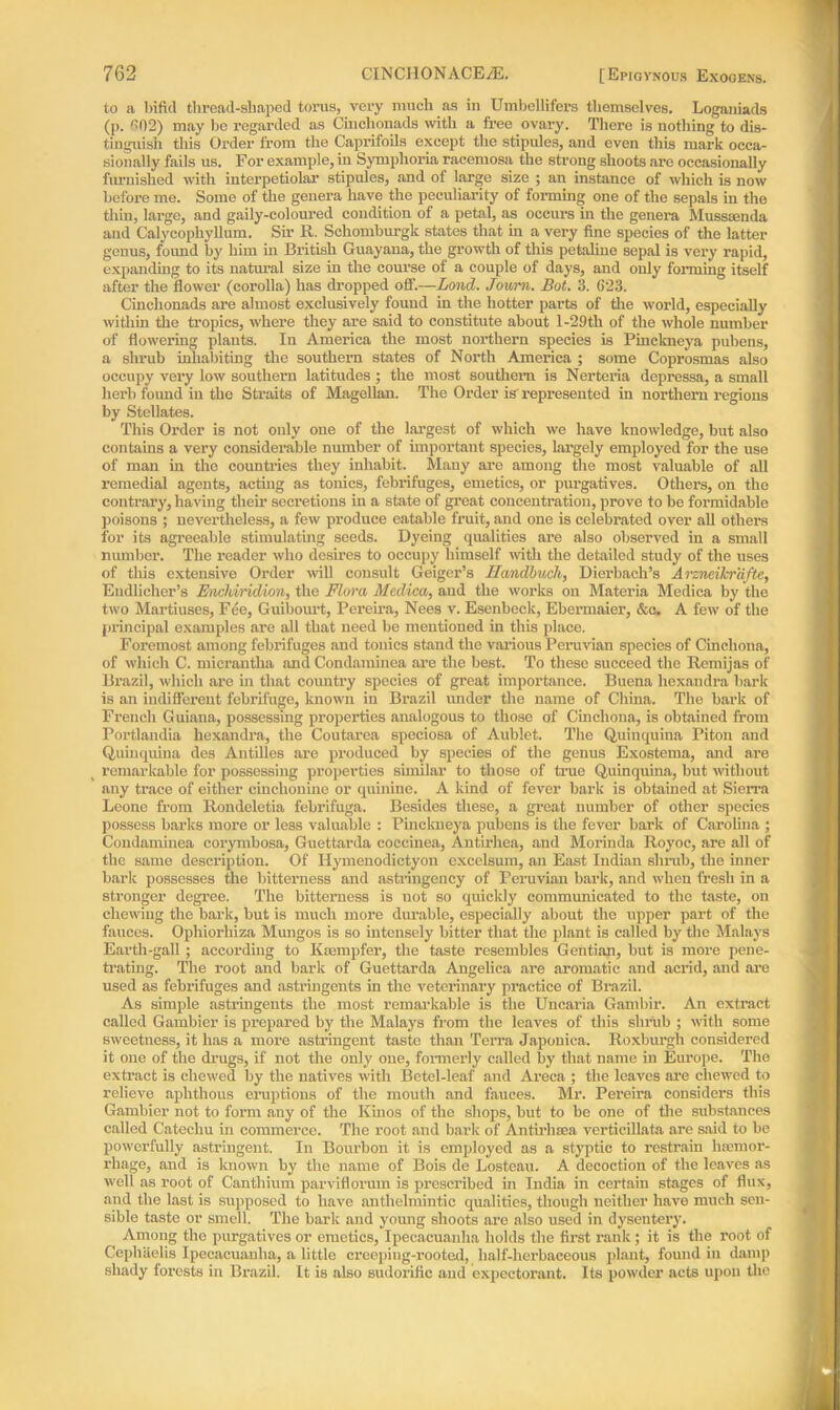 to a bifid thread-shaped torus, very much as in Umbellifers themselves. Loganiads (p. 602) may bo regarded as Cinchonads with a free ovary. There is nothing to dis- tinguish this Order from the Caprifoils except the stipules, and even this mark occa- sionally fails us. For example, in Symphoria raeemosa the strong shoots are occasionally furnished with interpetiolar stipules, and of large size ; an instance of which is now before me. Some of the genera have the peculiarity of forming one of the sepals in the thin, large, and gaily-coloured condition of a petal, as occurs in the genera Musssenda and Calycophyllum. Sir R. Schomburgk states that in a very fine species of the latter genus, found by him hi British Guayaua, the growth of this petaline sepal is very rapid, expanding to its natural size in the course of a couple of days, and only forming itself after the flower (corolla) has dropped off.—Lond. Jowm. Bot. 3. 623. Cinchonads are almost exclusively fouud in the hotter parts of the world, especially within the tropics, where they are said to constitute about l-29tli of the whole number of flowering plants. In America the most northern species is Pinckneya pubcns, a shrub inhabiting the southern states of North America ; some Coprosmas also occupy very low southern latitudes ; the most southern is Nerteria depressa, a small herb found in the Straits of Magellan. The Order is represented in northern regions by Stellates. This Order is not only one of the largest of which we have knowledge, but also contains a very considerable number of important species, largely employed for the use of man in the countries they inhabit. Many are among the most valuable of all remedial agents, acting as tonics, febrifuges, emetics, or purgatives. Others, on the contrary, having then’ secretions iu a state of great concentration, prove to be formidable poisons ; nevertheless, a few produce eatable fruit, and one is celebrated over all others for its agreeable stimulating seeds. Dyeing qualities are also observed in a small number. The reader who desires to occupy himself noth the detailed study of the uses of this extensive Order will consult Geiger’s Handbuch, Dierbach’s Arzncikrafte, Eudlicher’s Enchiridion, the Flora Medica, aud the works on Materia Medica by the two Martiuses, Fee, Guibourt, Pereira, Nees v. Esenbeck, Ebermaicr, &c. A few of the principal examples are all that need be mentioned in this place. Foremost among febrifuges and tonics stand the various Peruvian species of Cinchona, of which C. micrantha and Condaminea are the best. To these succeed the Remijas of Brazil, which are in that country species of great importance. Buena hcxandra bark is an indifferent febrifuge, known in Brazil under the name of China. The bark of French Guiana, possessing properties analogous to those of Cinchona, is obtained from Portlandia hexandra, the Coutarea speciosa of Aublet. The Quinquina Piton and Quinquina des Antilles are produced by species of the genus Exostema, and are remarkable for possessing properties similar to those of true Quinquina, but without any trace of either cinchouine or quinine. A kind of fever bark is obtained at Sierra Leone from Rondeletia febrifuga. Besides these, a great number of other species possess barks more or less valuable : Pinckneya pubens is the fever bark of Carolina ; Condaminea corymbosa, Guettarda coccinea, Antirhea, and Morinda Royoc, are all of the same description. Of Ilymenodictyon excelsum, an East Indian slirub, the inner bark possesses the bitterness and astringency of Peruvian bark, and when fresh in a stronger degree. The bitterness is not so quickly communicated to the taste, on chewing the bark, but is much more durable, especially about the upper part of the fauces. Ophiorhiza Mungos is so intensely bitter that the plant is called by the Malays Earth-gall; according to Ksempfer, the taste resembles Gentian, but is more pene- trating. The root and bark of Guettarda Angelica are aromatic and acrid, and are used as febrifuges and astringents in the veterinary practice of Brazil. As simple astringents the most remarkable is the Uncaria Gambir. An extract called Gambier is prepai'ed by the Malays from the leaves of this shrub ; with some sweetness, it has a more astringent taste than Terra Japonica. Roxburgh considered it one of the drugs, if not the only one, formerly called by that name in Europe. The extract is chewed by the natives with Betel-leaf and Areea ; the leaves are chewed to relieve aphthous eruptions of the mouth and fauces. Mr. Pereira considers this Gambior not to form any of the Kinos of the shops, but to be one of the substances called Catechu in commerce. The root and bark of Antirhsea verticillata are said to be powerfully astringent. In Bourbon it is employed as a styptic to restrain haemor- rhage, and is known by the name of Bois de Losteau. A decoction of the leaves as well as root of Canthium parviflorum is prescribed in India in certain stages of flux, and the last is supposed to have anthelmintic qualities, though neither havo much sen- sible taste or smell. The bark and young shoots are also used in dysentery. Among the purgatives or emetics, Ipecacuanha holds the first rank ; it is the root of Cephaelis Ipecacuanha, a little creeping-rooted, half-herbaceous plant, found in damp shady forests in Brazil. It is also sudorific aud expectorant. Its powder acts upon the