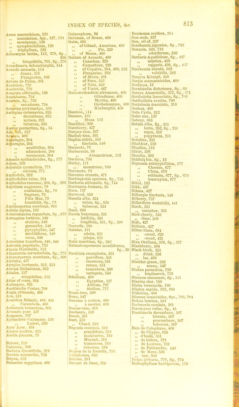 Arum macrorhizon, 129 ,, macula turn, tigs., 127, 128 ,, montanum, 129 ,, nymphaufoiium, 128 ,, triphyllum, 128 Artocarpus incisa, 112, 270, fig., 269 ,, integrifolia, 791, fig., 270 Anmdinaria Scbomburgkii, 114 Anmdo arenaria, 114 ,, donax, 111 ,, Phragmites, 108 Arvore de Paina, 361 Asadulcis, 776 Asafcetida, 776 Asagrcea officinalis, 199 Asarabacca, 794 Asarom, fig., 793 ,, canadense, 794 Ascarina polystachya, 520 Asdepias curassavica, 625 ,, decumbens, 625 ,, syriaca, 623 ,, tuberosa, 625 Aseroe pentactina, fig., 34 Ash, ^16, 617 406 Asparagin, 204 Asparagus, 204 ,, acutifolius, 204 „ adscendens, 204 „ racemosus, 204 Aspasi3 epidendroides, fig., 173 Aspen, 255 Asperula cynanchica, 771 ,, odorata, 771 Asphodels, 202 Asphodeline lutea, 204 Asphodelusramosus, 204, fig., 200 Aspidium augescens, 76 „ exaltatum, fig., 78 „ fragrans, 79 ,, Filix Mas, 79 ,, Lonchitis, fig., 78 Aspidosperma excelsum, 601 Astelia alpina, 192 A-.terostemma repandum, fig , 623 Astragalus bceticus, 549 „ creticu3,548 ,, gummifer, 548 ,, glycyphyllus. 547 ,, stro'bihferus, 548 ,, verus, 548 Astroloma humifusa, 448, 449 A3tronia papetaria, 733 Ataxia Horsfleldii, 113 Athamanta cervaria-folia, fig., 773 Atherosperma moschata, fig., 300 Ativiafca, 427 Atriplex hortensis, 512, 513 Atropa Belladonna, 619 Attalea, 137 „ amygdalina, 135 Attar of rotes, 664 Aabergine, 621 Aacklandia Costas, 70S Aagia chinensia, 466 Ava, 518 ArerThoa Bilhnbi, 488. 489 ,, Carambola, 488 J Avicennia tomentosa, 665 I Avocado pear. 537 ' Ajapana, 707 I Aydendron Cnjnmary. 536 „ Laurel, 536 ! Ayer Ayer, 464 Azalea pontica, 455 Azolla pinnata, 73 | Babeer, 118 i Pabouny, 706 Badiera diveraffolla, r/78 Ba*clcia micrantha, 735 Bajree, 113 Balanites Kgyptiaca, 460 llalanophorn, 84 Hnlesson, of Bruce, 460 Balm, 661 ,, of Gilead, American, 460 „ ,, Fir, 229 ,, of .Mecca, 460 Balsam of Acouchi, 460 ,, Canadian. 229 ,, Carpathian, 229 „ of Copaiva, 394, 460, 552 ,, Hungarian, 228 ,, of Maria, 401 ,, of Peru, 552 ,, of Tolu, 552 „ of Urniri, 447 Balsa modendron africanum, 460 ,, Gileadense, 460 ,, Myrrha, 460 ,, Opobalsamum, 460 ,, Roxburghii, 460 Bamboo, 114 Banana, 163 „ Musa 112 Bandikai, 369 Baneberry, 427 Banyan-tree, 267 Baobab-tree, 361 Baphia nitida, 550 ,, tinctoria, 548 Baranetz, 76 Barbacenia, 99 ,, Alexandrinac, 152 Bardana, 708 Barley, 111 ,, monstrous, 109 Barometz, 76 Barosma crenata, 471 Barringtonia speciosa, fig., 755 Bartonia albicaulis, fig., 744 Bartramia fontana, 55 Bara, 137 Barwood, 550 Basella alba, 524 „ rubra, fig., 524 ,, tuberosa, 524 Basil, 660 Bassia butyracea, 591 ,, latifolia, 591 „ longifolia, 591, fig., 590 Bassorin, 180 Batatas, 111 ,, edulis, 631 ,, jalapa, 631 Batis maritima, fig., 286 Batrachospermum moniliforme, fig., 20 Bauhinia emarginata, 551 ,, parviflora, 551 ,, racemosa,551 ,, retusa, 551 ,, tomentosa, 550 ,, variegata, 550 Bdellium, 460 ,, Egyptian, 137 ,, African, 707 ,, Sicilian, 777 Beam-tree, 560 Bean, 547 Beaurne h cochon, 460 ,, <i sucrier, 460 Beaver-tree, 418 Beebeeru, 536 Beech, 291 Beet, 513 M Chard, 513 Begonia coccinea, 319 ,, grandiflom, 319 ,, malabaricn, 319 ,, Meyenii, 319 „ tornentowi. 319 ., tuberosa. 319 IV juca de la Estrella, 793 I elladonna, 620 Belotes, 291 Ben too de I)eos, 369 Benincasa cerifera, 314 Ben-nuts, 337 Ben, oil of, 337 Benthamiajaponica, fig., 782 Benzoin, 593, 718 ,, odoriferum, 636 Berberis Aquifolium, fig., 437 ,, asiatica, 438 ,, vulgaris, 438, fig., 437 Berchemia lmeata, 582 ,, volubilis, 582 Bergera Konigii, 458 Bergia ammannioides, 480 Berkleya, 12 Bernhardia dichotoma, fig., 69 Berrya Ammonilla, 372, fig., 371 Berthelotia lanceolata, fig., 704 Bertholletia excelsa, 740 Bertolonia maculata, 31S Beshan, 460 Beta Cycla, 512 Betel-nut, 137 Betony, 661 Betula alba, fig., 251 ,, lenta, 252, fig., 251 ,, nigra, 252 ,, papyracea, 251 Betuline, 251 Bhabhur, 119 Bhadlee, 113 Bibiri, 536 Bicuiba, 302 Biddulphia, fig., 12 Bignonia antisyphilitica, 677 ,, Cherere, 677 ,, Chica, 676 ,, echinata, 677, fig., 676 ,, leucoxylon, 677 Bihai, 163 Bikh, 427 Bikma, 427 Bilbergia tinctoria, 148 Bilberry, 757 Billardiera mutabilis, 441 Birch, 251 ,, camphor, 251 Bird-cherry, 558 „ -lime, 598 Bish, 427 Bishma, 427 Bitter-blain, 684 ,, -sweet, 620 ,, -wood, 421 Bixa Orellana, 328, fig., 327 Blackberry, 564 Black birch, 251 ,, drink, 598 ,, lac, 466 Bladder-green, 582 ,, senna, 547 Blakea parasitica, 733 ,, triplinervis, 733 Blancoa canescens, fig., 151 Blazing star, 199 Bletia verecunda, 180 Blighia sapida, 383, 384 Blimbing, 488 Blumea senecioides, figs., 703, 704 Bobna laurina, 593 Bahmeria caudata, 261 Bccomyces rufus, fig., 45 Boerhaavla decumbens, 507 ,, hirsuta, 507 ,, procumbens, 507 ,, tuberosa, 607 Bois de Colopbnne, 460 I ,, de Chypre, 628 ,, d’huile, 391 ,, do lettres, 271 ,, do Lostenu, 762 ,, de I’alixandre, 548 ,, do Hose, 536 , ,, -tnn, 390 Bolax glebarin, 776, fig., 774 Bolbophyllum barbigenim, 179